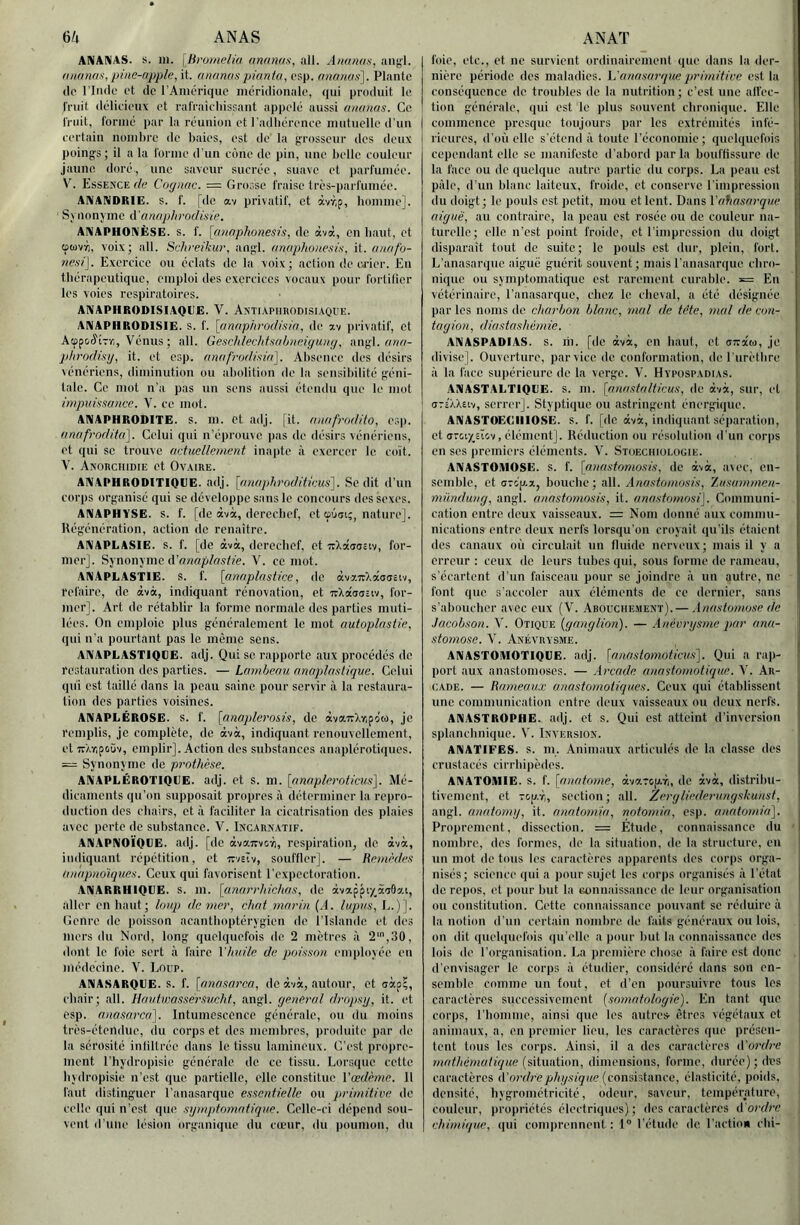 ANANAS, s. ni. [lirumelia unowix, ail. Anandu, aiigl. pine-npple, it. ananas piunia, csp. a7ianas]. Plante (le l'Inde et de l’Amérique méridionale, qui produit le l'riiit délicieux et ral'raicliissant appelé aussi anatias. Ce l'riiit, formé par la réunion et l’adliérence mutuelle d'un certain nombre de baies, est de la jrrosseur des deux poings; il a la forme d'un cône de pin, une belle couleur jaune doré, une saveur sucrée, suave et parfumée. V. Esse>xe de Cognac. = Grosse fraise très-parfumée. ANANDRIE. S. f. [de av privatif, et àvr.p, bomme]. S y no n J m e d'n w ie. ANAPHONÈSE. s. f. [annphonesis, de àvà, en liant, et tptüVY), voix; ail, Scltreikur. angi. anaphonesis, it. anafo- nesi\. Exercice ou éclats de la voix; action de u-ier. En thérapeutique, emploi des exercices vocaux pour fortilicr les voies respiratoires. ANAPHRODISIAQEE. V. ÂNTIAPimODISIAQUE. ANAPHRODISIE. s. f. [crnnpiü'odisin, de xv privatif, et Aeppoefirr,, Vénus ; ail. Geschlechtsabneigwig. angl. onc/- plti'odisg, it. et csp. anafrudisia], Alisencc des désirs vénériens, diminution ou abolition de la sensiliilité géni- tale. Ce mot n’a pas un sens aussi étendu que le mot inipidssance. V. ce mot. ANAPHRODITE. S. m. et adj. (it. nnafrodito, erq). anap'odita]. Celui qui n'éprouve pas de désirs vénériens, et qui SC trouve actuellement inapte ii exercer le coït. V. ÀKoncHiDiE et Ovaire. ANAPHRODITIQEE. adj. [anapliroditicus'\. Se dit d’un corps organisé qui se développe sans le concours des sexes. ANAPHYSE. s. f. [de àvà, dcrccbef, et ©ôai;, nature]. Régénération, action de renaître. ANAPEASIE. s. f. [de àvà, dcrecbef, et TtXàtrosiv, for- mer]. Synonyme V. ce mot. ANAPLASTIE. S. f. [annplastice, de àvxTrXàaaêiv, refaire, de àvà, indiquant rénovation, et TrXàddîiv, for- mer]. Art de rétablir la forme normale des parties muti- lées. On emploie plus généralement le mot autoplastie, qui n’a pourtant pas le même sens. ANAPLASTIQUE, adj. Qui se rapporte aux procédés de restauration des parties. — Lambeau nnoplnstique. Celui qui est taillé dans la peau saine pour servir à la restaura- tion des parties voisines. ANAPEÉROSE. s. f. [anoplei'osis, de àvaivXripo(i), je remplis, je complète, de àvà, indiquant rcnouvelleincnt, et-irXnpoùv, emplir]. Action dos substances anaplérotiqucs. — Synonyme de prothèse. ANAPLÉROTIQUE. adj. et s. m. [anaplcroticus^. Mé- dicaments qu’on supposait propres à déterminer la repro- duction des chairs, et à faciliter la cicatrisation des plaies avec perte de substance. V. Iaxarnatif. AN.APNOÏQUE. adj. [de àvœTrvoïi, respiration, de àvà, indiquant répétition, et irvstv, souffler]. — Remèdes anopnoïques. Ceux qui favorisent l’expectoration. ANARRHIQUE. S. m. [anarrhichas, de àvappixàaOat, aller en haut; kmp de tner, chat marin {A. lupus, E.)]. Genre de |)oisson acantboptérygicn de l'Islande et des mers du Nord, long quelquefois de 2 mètres à 2',30, dont le foie sert à faire l'huile de poisson einplovée en médecine. V. Loup. ANASARQUE. S. f. [anasai'ca, de àvà, .autour, et iràp?, chair; .ail. Hautwassersucht, angi. general dropisp, it. et esp. anasai’Ca]. Intumescence générale, ou du moins très-étendue, du corps et des membres, produite par de la sérosité inliltrée dans le tissu lamineux. C'est propre- ment l’hydropisie générale de ce tissu. Lorsque cette bvdropisie n’est que partielle, elle constitue Vœdèt7ie. 11 faut distinguer l’anasarque essentielle ou primitive de celle qui n’est que sijmptomatique. Celle-ci dépend sou- vent d’une lésion organique du cœur, du poumon, du foie, etc., et ne survient ordinairement que dans la der- nière période des maladies, h'anasarque qirimitive est la ! conséciuence de troubles de la nutrition; c’est une allée- | tion générale, qui est le plus souvent chronique. Elle commence presque toujours par les extrémités infé- rieures, d’où elle s’étend à toute l’économie; quelquefois | cependant elle se manifeste d’abord par la bouffissure de ! la face ou de quelque autre partie du corps. La peau est ! pâle, d’un blanc laiteux, froide, et conserve l’impression 1 du doigt; le pouls est petit, mou et lent. Dans l'ahasnrque aiguë, au contraire, la peau est rosée ou de couleur na- turelle; elle n’est point froide, et l'impression du doigt ! disparaît tout de suite; le pouls est dur, plein, fort. L’anasarque aigue guérit souvent; mais l’anasarque. chro- nique ou symptomatique est rarement curable. *= En vétérinaire, l’anasarque, chez le cheval, a été désignée par les noms de charbon blanc, mal de tête, mal de con- tagion, diastashèmie. ANASPADIAS. S. lii. [de àvà, en haut, et aniin, je divise]. Ouverture, par vice de confornndion, de l'urètbre à la face supérieure de la verge. V. Hvpüspadias. ANASTALTIQUE. s. m. [anastalticus, de àvà, sur, et (jTc'XXeiv, serrer]. Styptique ou astringent énergique. ; ANASTOEEIIIOSE. s. f. [de àvà, indiquant scqiaratioll, et crTGixsïov, élément]. Réduction ou résolution d'un corps en ses premiers éléments. V. Stoeciuüi.ogie. ANASTOMOSE. S. f. \anastomosis, de àvà, avec, en- j semble, et ctrop-x, bouche; ait. Anastomosis, Zusammen- ; 77iündung, angi. a/iasto77iosis, it. 7/7iasto77iosi\. Communi- cation entre deux vaisse.aux. = Nom donné aux commu- nications entre deux nerfs lorsqu'on croyait qu’ils étaient des canaux où circulait un fluide nerveux; mais il y a erreur ; ceux de leurs tubes qui, sous forme de rameau, s’écartent d’nn faisceau pour se joindre à un autre, ne font que s’accoler aux éléments de ce dernier, sans | s’aboucher avec eux (V. Abouchement).— .lnasto777ose de Jacobson. V. Otique (ganglion). — Aïiévi'gsme par ana- .( stor7iose. V. Anévrysme. ^ ANASTOMOTIQUE, adj. [n7insto77ioticus']. Qui a rap- port aux anastomoses. — A7'cade a7iasto77iolique. V. Ar- cade. — Rameaux a7xasto77iotiques. Ceux qui établissent une communication entre deux vaisseaux ou deux nerfs. 1 ANASTROPHE. adj. et s. Qui est atteint d’inversion splanchnique. V. Inversion. ANATIEES. s. m. Animaux articulés de la classe des crustacés cirrbipèdes. I ANATOMIE, s. f. [anadmxe, àvaT0[/.7;, de àvà, distribu- ! tivement, et -cp.r,, section; ail. Zergliialexamgsbwist, i angi. anatomg, it. anatoxxiia, notomi//, esp. a7into77ii(7). | Proprement, dissection. = Etude, connaissance du I nombre, des formes, de la situation, de la structure, en j un mot de tous les caractères apparents des corps orga- nisés; science qui a pour sujet les corps organisés à l’état de repos, et pour but la «onnaissance de leur organisation | ou constitution. Cette connaissance pouvant se réduire à la notion d’un certain nombre de faits généraux ou lois, on dit quebiuefois qu elle a pour but la connaissance des lois de l’organisation. La première chose à faire est donc d’envisager le corps à étudier, considéré dans son en- semble comme un tout, et d’en poursuivre tous les caractères successivement (so777atolngie). En tant que j corps, l’homme, ainsi que les autres, êtres végétaux et j animaux, a, en premier lieu, les caractères que présen- tent tous les corps. Ainsi, il a des caractères R'ox'dx-e mathématique (situation, dimensions, forme, durée) ; des caractères d'o)-d/'ephgsique {connhUinvc, élasticité, poids, densité, hygrométricité, odeur, saveur, température, couleur, propriétés électriques); des caractères d'o/'d/’C chixnique, qui comprennent : 1“ l'étude de l’action ebi-