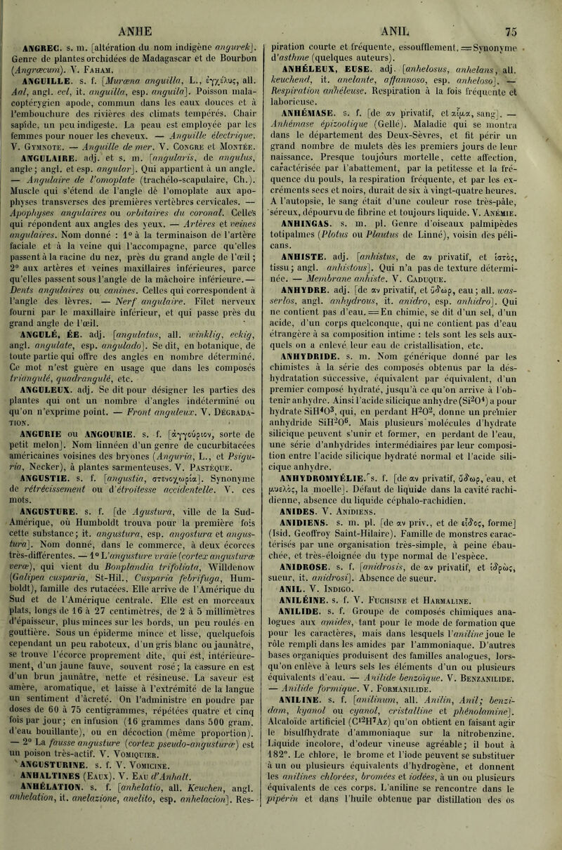 I ANHE j ANGREG. s. m. [altération du nom indigène nngurek]. ! Genre de plantes orchidées de Madagascar et de Bourbon I {Angrœcum). V. Faham. j; ANGUILLE. S. f. [Murœna anguilla^ L., ail. [ An/, angl. ee/, it. anguilla, esp. anguiki]. Poisson niala- coptérygicn apode, commun dans les eaux douces et à l’embouchure des rivières des climats tempérés. Chair I sapidc, un peu indigeste. La peau est employée par les femmes pour nouer les cheveux. — Anguille électrique. V. Gymnote. — Anguille de mer. V. Congre et Montée. ANGULAIRE, adj. et s. m. [angularis, de angulus, angle; angl. et esp. angular\. Qui appartient à un angle. — Angulaire de l’omoplate (trachélo-scapulaire, Ch.). Muscle qui s’étend de l’angle de l’omoplate aux apo- physes transverses des premières vertèbres cervicales. — Apophyses angulaires ou orbitaires du coronal. Celleti qui répondent aux angles des yeux. — Artères et veines angulaires. Nom donné : 1“ à la terminaison de l’artère faciale et à la veine qui l’accompagne, parce qu’elles passent à la racine du nez, près du grand angle de l’œil ; 2“ aux artères et veines maxillaires inférieures, parce qu’elles passent sous l’angle de la mâchoire inférieure.— Dents angulaires ou canines. Celles qui correspondent à l’angle des lèvres. — Nerf angulaire. Filet nerveux fourni par le maxillaire inférieur, et qui passe près du grand angle de l’œil. ANGULÉ, ÉE. adj. [angulatus, ail. winklig, eekig, angl. angidate, ap. unguladd]. Se dit, en botanique, de toute partie qui offre des angles en nombre déterminé. Ce mot n’est guère en usage que dans les composés triangulé, quadrongulé, etc. ANGULEUX, adj. Se dit pour désigner les parties des plantes qui ont un nombre d’angles indéterminé ou qu’on n’exprime point. — Front anguleux. V. Dégrad.x- TION. ANGURIE ou ANGOURIE. s. f. [à-y-^oupiov, sorte de petit melon]. Nom linnéen d’un genre de cucurbitacées américaines voisines des bryones {Anguria, L., et Psigu- ria, Necker), à plantes sarmenteuses. V. Pastèque. ANGUSTIE. s. f. [angustia, oTEvc^^wpîa]. Synonyme de rétrécissement ou A'étroitesse accidentelle. V. ces mots. ANGUSTURE. s. f. [de Agustura, ville de la Sud- Amérique, où Humboldt trouva pour la première fois cette substance; it. angustura, esp. angostura et angus- tura]. Nom donné, dans le commerce, à deux écorces très-différentes. — 1“ h’angusture vraie {cortexangusturæ verœ), qui vient du Bonplandia tidfoliata, Willdenow [Galipea cuspariu, St-Hil., Cusparia febrifuga, Hum- boldt), famille des rutacées. Elle arrive de l’Amérique du Sud et de l’Amérique centrale. Elle est en morceaux plats, longs de 16 à 27 centimètres, de 2 à 5 millimètres d’épaisseur, plus minces sur les bords, un peu roulés en gouttière. Sous un épiderme mince et lisse, quelquefois cependant un peu raboteux, d’un gris blanc ou jaunâtre, se trouve l’écorce proprement dite, qui est, intérieure- ment, d’un jaune fauve, souvent rosé; la cassure en est d’un brun jaunâtre, nette et résineuse. La saveur est amère, aromatique, et laisse à l’extrémité de la langue un sentiment d’âcreté. On l’administre en poudre par doses de 60 à 75 centigrammes, répétées quatre et cinq fois par jour; en infusion (16 grammes dans 500 gram. d’eau bouillante), ou en décoction (même proportion). — 2“ La fausse angusture {cortex pseudo-angusturœ) est un poison très-actif. Y. Vomiquier. 'ANGUSTURINE. S. f. V. VüMlciNE. ANHALTINES (Eaux). V. ’Ekv d’Anhalt. ANHÉLATION, s. f. [anhelatio, ail. Keuchen, angl. anhélation, it. anelazione, anelito, esp. anhelacion]. Res- ANIL 75 piration courte et fréquente, essoufflement, =Synonyme d’osf/wze (quelques auteurs). ANHÉLEUX, EüSE. adj. [anhelosus, anhelans, ail. keuchend, it. anelante, affannoso, esp. anhelosol. Respiration arihéleuse. Respiration â la fois fréquente et laborieuse. ANHÉIHASE. S. f. [de av privatif, et aip.a, sang], — Anhémase épizootique (Gellé). Maladie qui se montra dans le département des Deux-Sèvres, et fit périr un grand nombre de mulets dès les premiers jours de leur naissance. Presque toujo'urs mortelle, cette affection, caractérisée par l’abattement, par la petitesse et la fré- quence du pouls, la respiration fréquente, et par les ex- créments secs et noirs, durait de six à vingt-quatre heures. A l’autopsie, le sang était d’une couleur rose très-pâle, séreux, dépourvu de fibrine et toujours liquide. V. Anémie. ANHINGAS. s. m. pl. Genre d’oiseaux palmipèdes totipalmes {Plotus ou Plaidas de Linné), voisin des péli- cans. ANHISTE. adj. [anhistus, de av privatif, et laroç, tissu; angl. anhistous]. Qui n’a pas de texture détermi- née. — Membrane anhiste. V. Caduque. ANHYDRE, adj. [de av privatif, etû'î'Mp, eau; ail. was- serlos, angl. anhydrous, it. anidro, esp. anhidro]. Qui ne contient pas d’eau. =En chimie, se dit d’un sel, d’un acide, d’un corps quelconque, qui ne contient pas d’eau étrangère à sa composition intime : tels sont les sels aux- quels on a enlevé leur eau do cristallisation, etc. ANHYDRIDE. S. m. Nom générique donné par les chimistes à la série des composés obtenus par la dés- hydratation successive, équivalent par équivalent, d’un premier composé hydraté, jusqu’à ce qu’on arrive â l’ob- tenir anhydre. Ainsi l’acide silicique anhydre (Si’^0^) a pour hydrate SiH^O^, qui, en perdant H^O^, donne un prchiier anhydride SiH'^0®. Mais plusieurs molécules d’hydrate silicique peuvent s’unir et former, en perdant de l’eau, une série d'anhydrides intermédiaires par leur composi- tion entre l’acide silicique hydraté normal et l’acide sili- ciquo anhydre. ANHYDROMYÉLIE.''s. f. [de av privatif, u<5‘(i)p,'eau, et jj.DsXiç, la moelle]. Défaut de liquide dans la cavité rachi- dienne, absence du liquide céphalo-rachidien. ANIDES. V. Anidiens. ANIDIENS. s. m. pl. [do av priv., et do forme] (Isid. Geoffroy Saint-Hilaire). Famille de monstres carac- térisés par une organisation très-simple, à peine ébau- chée, et très-éloignée du type normal de l’espèce. ANIDROSE. s. f. [anidrosis, de av privatif, et i<îpùî, sueur, it. anidrosi]. Absence de sueur. ANIL. V. Indigo. ANILÉINE. s. f. V. F’uchsine et Harmaline. ANILIDE. s. f. Groupe de composés chimiques ana- logues aux aniides, tant pour le mode do formation que pour les caractères, mais dans lesquels Vaniline le rôle rempli dans les amides par l’ammoniaque. D’autres bases organiques produisent des familles analogues, lors- qu’on enlève à leurs sels les éléments d’un ou plusieurs équivalents d’eau. — Anilide benzoïque. V. Benzakilide. — Anilide formique. V. Formanilide. ANILINE, s. f. [anilinum, ail. Anüin, And; benzi- darn, kyanol ou cyanol, cristalline et phénolamine], Alcalo'ido artificiel (Qi^H^Az) qu’on obtient en faisant agir le bisulfhydrate d’ammoniaque sur la nitrobenzine. Liquide incolore, d’odeur vineuse agréable; il bout â 182. Le chlore, le brome et l’iode peuvent se substituer à un ou plusieurs équivalents d'hydrogène, et donnent les anilines chlorées, bromées et iodées, à un ou plusieurs équivalents de ces corps. L’aniline se rencontre dans le pipérin et dans l’huile obtenue par distillation des os