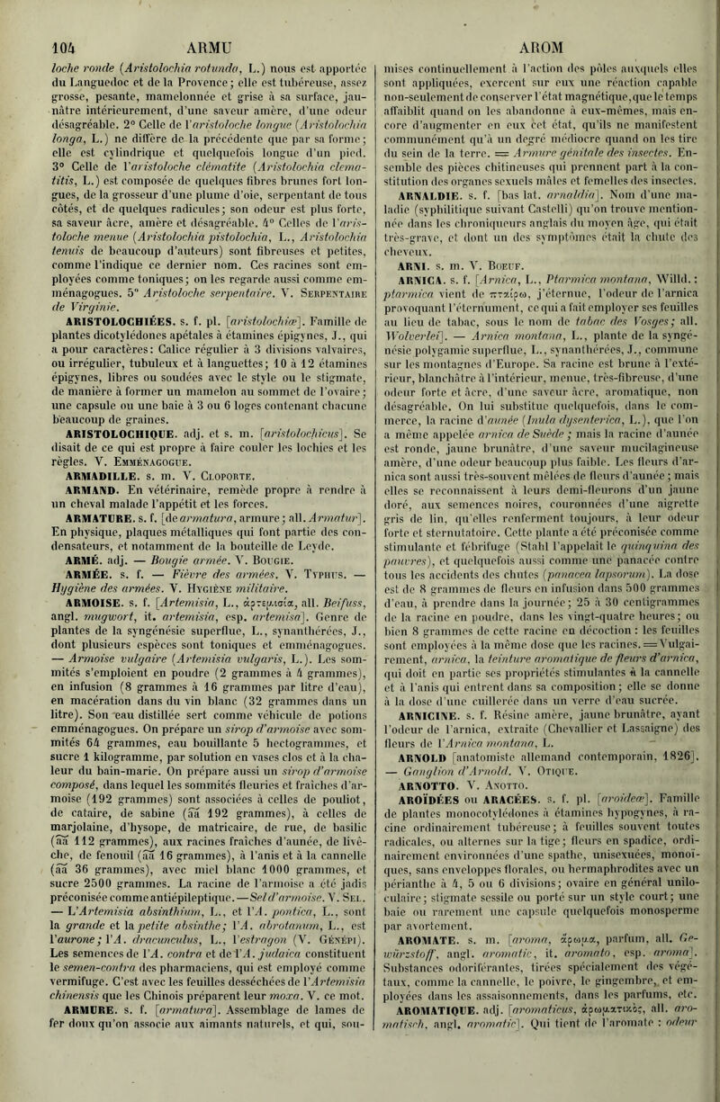 loche ronde [Aristolochia rotnnda, L.) nous est apporti'c du Languedoc et de la Provence; elle est tubéreuse, assez grosse, pesante, mamelonnée et grise à sa surface, jau- nâtre intérieurement, d’une saveur amère, d’une odeur désagréable. 2° Celle de {'aristoloche longue [Aristolochia longa, L.) ne dilTèrc de la précédente que par sa forme; elle est cylindrique et quelquefois longue d’un pied. 3“ Celle de {'aristoloche clématite [Aristolochia clema- titis, L.) est composée de quelques fibres brunes fort lon- gues, de la grosseur d’une plume d’oie, serpentant de tous côtés, et de quelques radicules; son odeur est plus forte, sa saveur âcre, amère et désagréable. 4“ Celles de {'aris- toloche menue [Aristolochia pistolochia, L., Aristolochia tennis de beaucoup d’auteurs) sont fibreuses et petites, comme l’indique ce dernier nom. Ces racines sont em- ployées comme toniques; on les regarde aussi comme em- ménagogues. 5 Aristoloche serpentaire. V. Seupektaire de Virginie. ARISTOLOGHIÉES. s. f. pl. [aristolochiaf]. Famille de plantes dicotylédones apétales à étamines épigynes, J., qui a pour caractères: Calice régulier à 3 divisions valvaire.s, ou irrégulier, tubuleux et à languettes; 10 à 12 étamines épigynes, libres ou soudées avec le style ou le stigmate, de manière à former un mamelon au sominet de l’ovairo; une capsule ou une baie à 3 ou 6 loges contenant cbaciine beaucoup de graines. ARISTOLOCHIQUE, adj. et S. m. [aristolochicus]. Se disait de ce qui est propre à faire couler les lochies et les règles. V. Emménagogue. ARMADILLE. S. m. V. Cl.OPORTE. ARMAND. En vétérinaire, remède propre à rendre à nn cheval malade l’appétit et les forces. ARMATURE. S. f. [Aearynatura, armure; M. Armatur']. En physique, plaques métalliques qui font partie des con- densateurs, et notamment de la bouteille de Leyde. ARMÉ. adj. — Bougie armée. Y. Boggie. ARMÉE, s. f. — Fièvre des armées. V. Typhits. — Hygiène des armées. V. Hygiène militaire. ARMOISE, s. f. [Artemisia, L., àpTep.ioîœ, ail. Beifuss, angl. mugwort, it. artemisia, esp. artemisa^. Genre de plantes de la syngénésie superflue, L., synantbérées, J., dont plusieurs espèces sont toniques et emménagogucs. — Armoise vulgaire [Artemisia vulgaris, L.). Les som- mités s’emploient en poudre (2 grammes à 4 grammes), en infusion (8 grammes à 16 grammes par titre d’eau), en macération dans du vin blanc (32 grammes dans un litre). Son'eau distillée sert comme véhicule de potions emménagogues. On prépare un sirop d’armoise avec som- mités 64 grammes, eau bouillante 5 hectogrammes, et sucre 1 kilogramme, par solution en vases clos et à la cha- leur du bain-marie. On prépare aussi un sirop d’armoise composé, dans lequel les sommités fleuries et fraîches d’ar- moise (192 grammes) sont associées à celles de pouliot, de cataire, de sabine (au 192 grammes), à celles de marjolaine, d’hysope, de matricaire, de rue, de basilic (aa 112 grammes), aux racines fraîches d’aunée, de livè- che, de fenouil (âil 16 grammes), à l’anis et à la cannelle (âa 36 grammes), avec miel blanc 1000 grammes, et sucre 2500 grammes. La racine de rarinoise a été jadis préconisée comme antiépileptiquc.—Sel d’armoise. V. Sei.. — V'Artemisia absinthium, L., et VA. pnntica, L., sont la grande et {a.petite absûdhe; VA. abrotanum, L., est Vaurone;VA. dracunculus, L., {'estragon (V. Génépi). Les semences de VA. contra et Ae VA. judaica constituent le semen-contra des pharmaciens, qui est employé comme vermifuge. C’est avec les feuilles desséchées de {'Artemisia chinensis que les Chinois préparent leur moxa. V. ce mot. ARMURE, s. f. [armatura]. Assemblage de lames de fer doux qu’on associe aux aimants naturels, et qui, soii- mises continuellement à Faction des pôles auxquels elles sont appliquées, exercent sur eux une réaction capable non-seulement de conserver l'état magnétique, que le temps affaiblit quand on les .abandonne à eux-mêmes, mais en- core d’augmenter en eux cet ét.at, qu’ils ne manifestent communément qu’à un degré médiocre quand on les tire du sein de la terre. = .Armure génitale des insectes. En- semble des pièces ebitineuses qui prennent part à la con- stitution des organes sexuels mâles et femelles des insectes. ARNALDIE. s. f. [bas lat. arnaldia]. Nom d'une ma- ladie (syphilitique suivant Castelli) qu’on trouve mention- née dans les chroniqueurs anglais du moyen âge, qui était très-grave, et dont un des symptômes était la chute des cheveux. ARNI. s. m. V. Boeuf. ARNICA, s. f. [.Arnica, L., Ptarmica montana, Willd. : ptarmica vient de Trialpta, j’éternue, l’odeur de l'arnica provoquant l’éternument, ce qui a fait employer ses feuilles au lieu de tabac, sous le nom de tabac des Vosges; .ail. {{'olverlri]. — Arnica montana, L., plante de la syngé- nésie polygamie superflue, L., synantbérées, J., commune sur les montagnes d’Europe. Sa racine est brune â l’exté- rieur, blanchâtre â l'intérieur, menue, très-fibreuse, d’une odeur forte et âcre, d'une saveur âcre, aromatique, non i désagréable. On lui substitue quelquefois, dans le com- merce, la racine A'aunée [Inula dysenterica, L.), que l'on a même appelée arnica de Suède ; mais la racine d’aunée est ronde, jaune brunâtre, d’une saveur niiicilagineuse amère, d’une odeur beaucoup plus faible. Les fleurs d’ar- nica sont aussi très-souvent mêlées de fleurs d’aunée ; mais elles se reconnaissent â leurs demi-fleurons d’un jaune doré, aux semences noires, couronnées d’une aigrette gris de lin, qu’elles renferment toujours, â leur odeur forte et sternut.itoire. Cette plante acté préconisée comme stimulante et fébrifuge (Stalil l’appel.ait le quinquina des pauvres), et quelquefois aussi comme une panacée contre i tous les accidents des chutes [panacea lapsorum). La dose est de 8 grammes de fleurs en infusion dans 500 grammes d'eau, â prendre dans la journée; 25 â 30 centigrammes de la racine en poudre, dans les vingt-qu.atre heures; ou bien 8 grammes de cette racine en décoction : les feuilles sont employées â la même dose que les racines. = Vulgai- rement, arnica, la teinture aromatique de fleurs d’arnica, qui doit en partie ses propriétés stimulantes « la cannelle et â l’anis qui entrent dans sa composition; elle se donne â la dose d’une cuillerée dans un verre d’eau sucrée. ARNICINE. s. f. Résine amère, j.aune brunâtre, ayant l'odeur de l’arnica, extraite (Chevallier et Lassaigne) des fleurs de {'Arnica montana. L. ARNOLD [anatomiste allemand contemporain, 1826]. — Ganglion d’Arnold. V. Otique. ARNOTTO. V. .\notto. AROÏDÉES ou ARAGÉES. s. f. pl. [aroideaf]. Famille de plantes monocotylédones â étamines bypogynes, â ra- cine ordinairement tubéreuse ; â feuilles souvent toutes radicales, ou alternes sur la tige; fleurs en spadice, ordi- nairement environnées d’une spatlie, unisexuées, monoï- ques, sans enveloppes florales, ou bermapbroditcs avec un périantlic â 4, 5 ou 6 divisions; ovaire en général unilo- culaire; stigm.ate sessile ou porté sur un style court; une baie ou rarement une capsule quelquefois monosperme par avortement. AROMATE, s. m. [aroma. àpwua, parfum, ail. Ge- wüj'zsto/f. angl. aromatic, it. aromato. esp. aroma\ Substances odoriférantes, tirées spécialement des végé- taux, comme la cannelle, le poivre, le gingembre, et em- ployées dans les assaisonnements, dans les parfums, etc. AROMATIQUE, adj. [nromaticus, àpup.aTO'.ciç, ail. aro- rnatisrh. angl. aromatic]. Qui tient de l’aromate : odeur