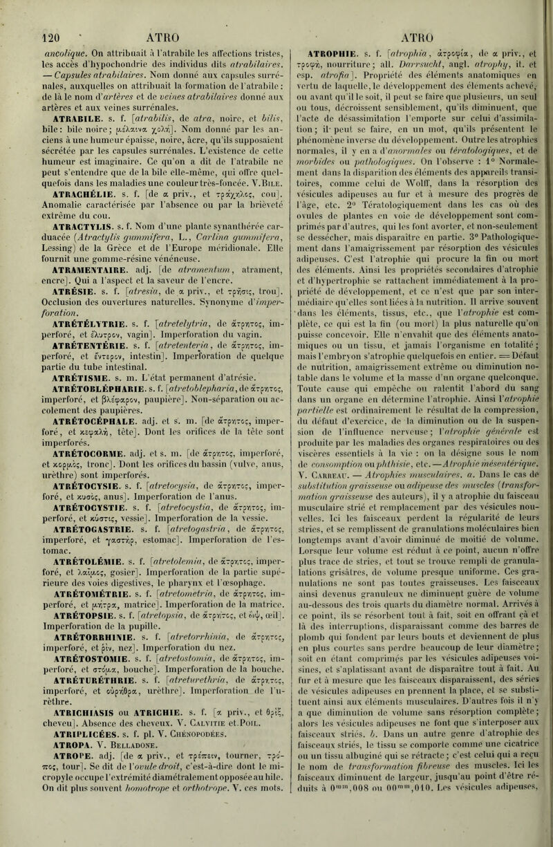 amoliquc. On attribuait à l’atrabile les affections tristes, les accès d’hypochontlrie des individus dits atrabilaires. — Capsules atrabilaires. Nom donné aux capsules sniTé- nalos, auxquelles on attribuait la formation del’atrabilc: de là le nom A'artères et de veines atrabilaires donné aux artères et aux veines surrénales. ATBABILE. s. f. [atrabilis, de atra, noire, et bilis, bile: bile noire; p.sXaiva Nom donné par les an- ciens aune liumeur épaisse, noire, âcre, qu’ils supposaient sécrétée par les capsules surrénales. L’existence de cette humeur est imaginaire. Ce qu'on a dit de l'atrabilc ne peut s’entendre que île la bile elle-même, qui offre quel- quefois dans les maladies une couleurtrès-foncée. V.Rile. ATBAGHÉLIE. s. f. [de a priv., et rpa^viXe.;, cou]. Anomalie caractérisée par l’absence ou par la brièveté extrême du cou. ATBACTYLIS. S. f. Nom d’une plante synantbérée car- duacée {Atractylis gummifera, L., Carlina gummifera, Lessing) de la Grèce et de l'Europe méridionale. Elle fournit une gomme-résine vénéneuse. ATBAIIIENTAIBE. adj. [do atrarnentum, atrament, encre]. Qui a l’aspect et la saveur de l’encre. ATBÉSIE. s. f. [tttresia, de a priv., et-pïiiTi;, trou]. Occlusion des ouvertures naturelles. Synonyme à'imper- foration. ATBÉTÉLYTBIE. S. f. \atretelgtrin, de à'-pviTo;, im- perforé, et eXorpov, vagin]. Imperforation du vagin. ATBÉTEIVTÉBIE. s. f. [atretenteria, de arp-nro;, im- perforé, et é'vTspcv, intestin]. Imperforation de quelque partie du tube intestinal. ATBÉTISME. s. m. L’état permanent d’atrésie. ATBÉTOBLÉPHABIE. S. f. [atretoblepharia, de arprivo;, imperforé, et pXÉœapov, paupière]. Non-séparation ou ac- colement des paupières. ATBÉTOGÉPHALE. adj. et s. m. [de arp-ziro?, imper- foré, et xstpaXri, tète]. Dont les orifices de la tête sont imperforés. ATBÉTOGOBME. adj. et s. m. [de arpr-oç, imiierforé, et jcopp.oç, tronc]. Dont les orifices du bassin (vulve, anus, urèthre) sont imperforés. ATBÉTOGYSIE. s. f. [atretocysia, de oirp-iiTo;, imper- foré, et xuiTGç, anus]. Imperforation de l’anus. ATBÉTOGYSTIE. s. f. [atretocystia, do à-pv/To;, im- perforé, et KÛuTiç, vessie]. Imperforation de la vessie. ATBÉTOGASTBIE. s. f. [atretogasti'ia, de arpv-c;, imperforé, et ^a.axŸ,a, estomac]. Imperforation de l’es- tomac. ATBÉTOLÉYIIE. s. f. [oitrefofem/V;, de aTpr.Tcç, imper- foré, et Xaip.c;, gosier]. Imperforation de la partie supé- rieure des voies digestives, le pharynx et l’œsophage. ATBÉTOIWÉTBIE. S. f. [atretometria, de arp-fl-oç, im- perforé, et p-rirpa, matrice]. Imperforation de la matrice. ATBÉTOPSIE. s. f. \atretnpsia, de arp-àTc;, et ioi}', œil]. Imperforation de la pupille. ATBÉTOBBHiniIE. s. f. [atretorrhinia, de arpri-rcç, imperforé, et piv, nez]. Imperforation du nez. ATBÉTOSTOMIE. s. f. [atretostomia, de arp-exo;, im- perforé, et axo'u.a, bouche]. Imporforation de la bouche. ATBÉTGBÉTIIBIE. S. f. \atretiirethria, de àxpY.xc;, imperforé, et oùpviôpa, urèthre]. Imperforation de l’u- rèthre. ATBIGHIASIS ou ATBIGHIE. s. f. [a priv., et 6pii cheveu]. Absence des cheveux. V. Calvitie et.Poil. ATBIPLIGÉES. S. f. pl. V. ClIÉNOPüDÉES. ATBOPA. V. Belladone. ATBOl'E. adj. [de a priv., et TpsTxsiv, tourner, xpo- Txo;, tour]. Se dit de l’ovule droit, c’est-à-dire dont le mi- cropyle occupe l’extrémité diamétralement opposée au hile. On dit plus souvent homotrope et arthatropr. V. ces mots. ATBOPIIIE. s. f. [atrophia, àrpoepia, de a priv., et xpoepv), nourriture; ail. Darrsucht, angl. atrophy, it. et esp. atrofia^. Propriété des éléments anatomiques en vertu de laquelle, le développement des éléments achevé,- ou avant qu’il le soit, il peut se faire que plusieurs, un seul ou tous, décroissent sensiblement, qu’ils diminuent, que l’acte de désassimilation l’emporte sur celui d’assimila- tion; il'peut se faire, en un mot, qu’ils présentent le phénomène inverse du développement. Outre les atrophies normales, il y en a anormales ou tératologiques, et de morbides ou pathologiques. On l’observe : 1° Normale- ment dans la disparition dos éléments des api>areils transi- toires, comme celui de Wolff, dans la résorption des vésicules adipeuses au fur et à mesure des progrès de l’àge, etc. 2“ Tératologiquement dans les cas où des ovules de plantes en voie de développement sont com- primés par d’autres, qui les font avorter, et non-seulement se dessécher, mais disparaître on partie. 3“ Pathologique- ment dans l'amaigrissement par résorption des vésicules adipeuses. C’est l’atrophie qui procure la fin ou mort des éléments. Ainsi les propriétés secondaires d’atrophie et d’hypertrophie se rattachent immédiatement à la pro- priété do développement, et ce n’est que par son inter- médiaire qu’elles sont liées à la nutrition. Il arrive souvent 'dans les éléments, tissus, etc., que l'atrophie est com- plète, ce qui est la fin (ou mort) la plus naturelle qu’on puisse concevoir. Elle n’envahit que des éléments anato- miques ou un tissu, et jamais l’organisme en totalité ; mais l’embryon s’atrophie quelquefois en entier. = Défaut de nutrition, amaigrissement extrême ou diminution no- table dans le volume et la masse d’un organe quelconque. Toute cause qui empêche ou ralentit l’ahord du sang dans un organe en détermine l’atroiihic. Ainsi l’atrophie partielle Oit ordinairement le résultat de la compression, du défaut d’exercice, de la diminution ou do la suspen- sion de l’influence nerveuse; \'atrophie générale est produite par les maladies des organes respiratoires ou des viscères essentiels à la vie : on la désigne sous le nom do consomption tmphthisie, etc.—Atrophie mésentérique. V. Carreau. — Atrophies muscidaires. a. Dans le cas de substitution graisseuse o\i adipeuse des muscles [transfor- mation graisseuse des auteurs), il y a atrophie du faisceau musculaire strié et remplacement par des vésicules nou- velles. Ici les faisceaux perdent la régularité de leurs stries, et se remplissent de granulations molécidaires bien longtemps avant d’avoir diminue de moitié de volume. Lorsque leur volume est réduit à ce point, aucun n’offre plus trace de stries, et tout se trouve rempli de granida- lations grisâtres, de volume presque uniforme. Ces gra- nulations ne sont pas toutes graisseuses. Los faisceaux ainsi devenus granuleux ne diminuent guère de volume au-dessous des trois quarts du diamètre normal. Arrivés à ce point, ils se résorbent tout à fait, soit en offrant çà et là des interruptions, disparaissant comme des barres de plomb ([ui fondent par leurs bouts et deviennent do plus en plus courtes sans perdre beaucoup de leur diamètre; soit on étant comprimés par les vésicules adipeuses voi- sines, et s’aplatissant avant de disparaître tout à fait. Au fur et à mesure que les faisceaux disparaissent, des séries de vésicules adipeuses on prennent la place, et se substi- tuent ainsi aux éléments musculaires. D’autres fois il n’y a que diminution de volume sans résorption complète; alors les vésicules adipeuses ne font que s’interposer aux faisceaux striés, b. Dans un autre genre d’atrophie des faisceaux striés, le tissu se comporte comme une cicatrice ou un tissu albuginé qui se rétracte; c’est celui qui a reçu le nom de transformation fibreuse des muscles. Ici les faisceaux diminuent de largeur, jusqu’au point d’être ré- duits à 0'',fi08 on no™',010. Les vésicules adipeuses,