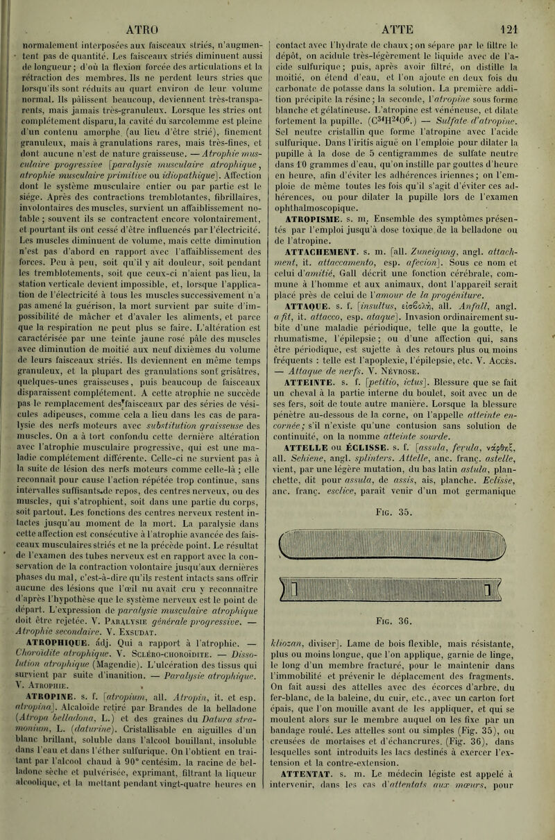 ATRO normalcincnt intcrposi''os aux faisceaux striés, u’augmen- ■ teiit pas de quantité. Les faisceaux striés diminuent aussi de longueur; d’où la flexion forcée des articulations et la rétraction des membres. Ils ne perdent leurs stries que lorsqu’ils sont réduits au quart environ de leur volume normal. Us pfdisscnt beaucoup, deviennent très-transpa- rents, mais jamais très-granuleux. Lorsque les stries ont complètement disparu, la cavité du sarcolemmc est pleine d’un contenu amorphe, (au lieu d’ètre strié), finement granuleux, mais à granulations rares, mais très-fines, et dont aucune n’est do nature graisseuse. —Atrophie nius- cnlttire progressive [paralysie musculaire atrophique, atrophie musculaire primitive ou idiopathique']. AlTection dont le système musculaire entier ou par partie est le siège. Après des contractions tremblotantes, fibrillaires, involontaires des muscles, survient un affaiblissement no- table ; souvent ils se contractent encore volontairement, et pourtant ils ont cessé d’être influencés par l’électricité. Les muscles diminuent de volume, mais cotte diminution n’est pas d’abord on rapport avec l’aU’aiblissement des forces. Peu à peu, soit qu’il y ait douleur, soit pendant les tremblotements, soit que ceux-ci n’aieut pas lieu, la station verticale devient impossible, et, lorsque l’applica- tion de l’électricité à tous les muscles successivement n’a pas amené la guérison, la mort survient par suite d’im- possibilité de m.âchcr et d’avaler les aliments, et parce que la respiration ne peut plus se faire. L’altération est caractérisée par une teinte jaune rosé pâle des muscles avec diminution de moitié aux neuf dixièmes du volume de leurs faisceaux striés. Ils deviennent en même temps granuleux, et la plupart des granulations sont grisfitres, quelques-unes graisseuses, puis beaucoup de faisceaux disparaissent complètement. A cette atrophie ne succède pas le remplacement dcsRaisceaux par des séries de vési- cules adipeuses, comme cela a lieu dans les cas de para- lysie des nerfs moteurs avec substitution graisseuse des muscles. On a à tort confondu cette dernière altération avec l’atrophie musculaire progressive, qui est une ma- ladie complètement différente. Celle-ci ne survient pas à la suite de lésion des nerfs moteurs comme celle-là ; elle reconnaît pour cause l'action répétée trop continue, sans intervalles suffisants.de repos, des centres nerveux, ou des muscles, qui s’atrophient, soit dans une partie du corps, soit partout. Les fonctions des centres nerveux restent in- tactes jusqu’au moment de la mort. La paralysie dans cette affection est consécutive à l’atrophie avancée des fais- ceaux musculaires striés et ne la précède point. Le résultat de l’examen des tubes nerveux est en rapport avec la con- servation de la contraction volontaire jusqu’aux dernières phases du mal, c’est-à-dire qu’ils restent intacts sans offrir aucune des lésions que l’œil nu avait cru y reconnaître d’après l’hypothèse que le système nerveux est le point de départ. L’expression de paralysie musculaire atrophique iloit être rejetée. V. Paralysie générale progressive, — Atrophie secondaire. V. Exsudât. ATROPHIOïtE. âdj. Qui a rapport à l’atrophie. — Choroidite atrophique. V. Scléro-choroïdite. — Disso- lution atrophique (Magendie). L’ulcération des tissus qui survient par suite d’inanition. — Paralysie atrophique. V. -Atrophie. , ATROPINE. S. f. [atroqnum, ail. Atropiin, it. et esp. atropina]. -Alcaloïde retiré par Brandes de la belladone {Atropa belladona, L.) et des graines du Datura stra- monium, L. (daturine). Cristallisable en aiguilles d’un blanc brillant, soluble dans l’alcool bouillant, insoluble dans l’eau et dans l’éther sulfurique. On l’obtient en trai- tant par l’alcool chaud à 90° centésim. la racine de bel- ladone sèche et pulvérisée, exprimant, filtrant la liqueur alcoolique, et la mettant pendant vingt-quatre heures en ATTE 121 contact avec l’hydrate de chaux; on sépare par le filtre le dépôt, on acidulé très-légèrement le liquide avec de l’a- ciile sulfurique; puis, après avoir filtré, on distille, la moitié, on étend d’eau, et l’on ajoute, en deux fois du carbonate de potasse dans la solution. La première addi- tion précipite la résine; la seconde, l'atropine sous forme blanche et gélatineuse. L’atropine est vénéneuse, et dilate fortement la pupille. (C^^H’^^0®.) — Sulfate d’atropine. Sel neutre cristallin que forme l’atropine avec l’acide sulfurique. Dans l’iritis aigue on l’emploie pour dilater la pupille à la dose de 5 centigrammes de sulfate neutre dans 10 grammes d’eau, qu’on instille par gouttes d’heure en heure, afin d’éviter les adhérences iriennes ; on l’em- ploie de même toutes tes fois qu’il s’agit d’éviter ces ad- hérences, ou pour dilater la pupille lors de l’examen ophthalmoscopique. ATROPISME. s. m_. Ensemble des symptômes présen- tés par l’emploi jusqu’à dose toxique de la belladone ou de l’atropine. ATTACHEMENT. S. m. [ail. Zuneigung, angl. attach- ment, it. attaccamento, esp. afecion]. Sous ce nom et celui d'amitié, Gall décrit une fonction cérébrale, com- mune à l’homme et aux animaux, dont l’appareil serait placé près de celui de Vamour de la progéniture. ATTAQUE. S. f. [insultus, êiaëoXri, ail. Anfall, angl. a. fit, it. attacco, esp. ataque]. Invasion ordinairement su- bite d’une maladie périodique, telle que la goutte, le rhumatisme, l’épilepsie; ou d’une afl'ection qui, sans être périodique, est sujette à des retours plus ou moins fréquents : telle est l’apoplexie, l’épilepsie, etc. V. Accès. — Attaque de nerfs. V. Névrose. ATTEINTE, s. f. [jpetitio, ictus]. Blessure que se fait un cheval à la partie interne du boulet, soit avec un de ses fers, soit do toute autre manière. Lorsque la blessure pénètre au-dessous de la corne, on l’appelle atteinte en- cornée ; s’il n’existe qu’une contusion sans solution de continuité, on la nomme atteinte sourde. ATTELLE OU ÉGLISSE. s. f. [assula, ferula, vapQïi^, ail. Sehiene, angl. splinters. Attelle, anc. franç. astelle, vient, par une légère mutation, du bas latin asiula, plan- chette, dit pour assula, de assis, ais, planche. Eclisse, anc. franç. esclice, paraît venir d’un mot germanique Fig. 35. Fig. 36. kliozan, diviser]. Lame de bois flexible, mais résistante, plus ou moins longue, que l’on applique, garnie de linge, le long d’un membre fracturé, pour le maintenir dans l’immobilité et prévenir le déplacement des fragments. On fait aussi des attelles avec des écorces d’arbre, du fer-blanc, de la baleine, du cuir, etc., avec un carton fort épais, que l’on mouille avant de les appliquer, et qui se moulent alors sur le membre auquel on les fixe par un bandage roulé. Les attelles sont ou simples (Fig. 35), ou creusées de mortaises et d’échancrures. (Fig. 36), dans lesquelles sont introduits les lacs destinés à exercer l’ex- tension et la contre-extension. ATTENTAT, s. m. Le médecin légiste est appelé à intervenir, dans les cas d'attentats aux mœurs, pour