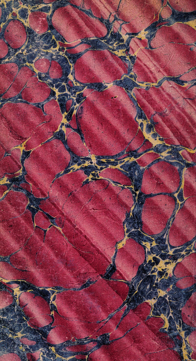 j^^fV', f •,, IHklV' '^JaPw % EgEjjflmiw '• -^. 1^3^'.'^9 IBBH^^' ' l^K jN -