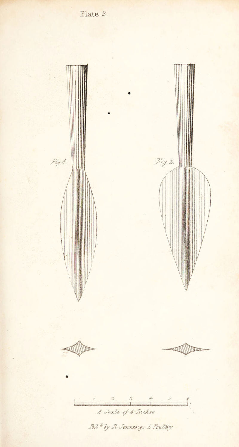Plate ^ , Z 5 ^ 5 \ I. 7i:.- =b ,d Jocf.ley ^ 6' Jr<,o^t^'