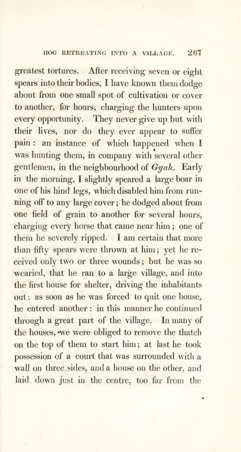 greatest tortures. After receiving seven or eight spears into their bodies, I have known them dodge about from one small spot of cultivation or cover to another, for hours, charging the hunters upon every opportunity. They never give up but with their lives, nor do they ever appear to suffer pain : an instance of which happened when I was hunting them, in company with several other gentlemen, in the neighbourhood of Gy ah. Early in the morning, I slightly speared a large boar in one of his hind legs, which disabled him from run- ning off to any large cover; he dodged about from one field of grain to another for several hours, charging every horse that came near him; one of them he severely ripped. I am certain that more than fifty spears were thrown at him; yet he re- ceived only two or three wounds; but he was so wearied, that he ran to a large village, and into the first house for shelter, driving the inhabitants out: as soon as he was forced to quit one house, he entered another : in this manner he continued through a great part of the village. In many of the houses, -we were obliged to remove the thatch on the top of them to start him; at last he took possession of a court that was surrounded with a wall on three sides, and a house on the other, and laid down just in the centre, too far from the