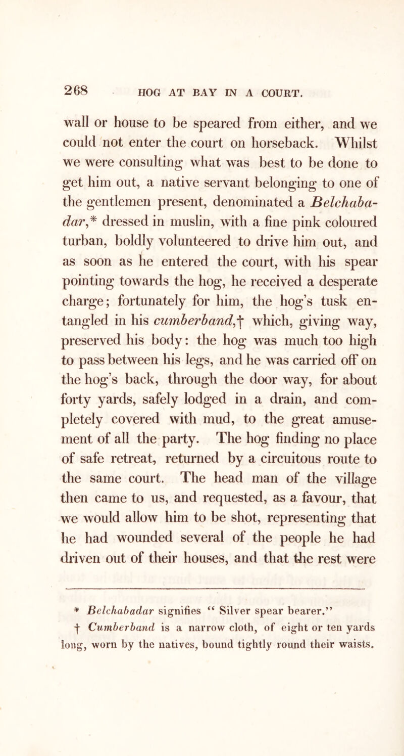 HOG AT BAY IN A COURT. wall or house to be speared from either, and we could not enter the court on horseback. Whilst we were consulting what was best to be done to get him out, a native servant belonging to one of the gentlemen present, denominated a Belchaha- dar^^ dressed in muslin, with a fine pink coloured turban, boldly volunteered to drive him out, and as soon as he entered the court, with his spear pointing towards the hog, he received a desperate charge; fortunately for him, the hog’s tusk en- tangled in his cumberhand^^ which, giving way, preserved his body: the hog was much too high to pass between his legs, and he was carried off on the hog’s back, through the door way, for about forty yards, safely lodged in a drain, and com- pletely covered with mud, to the great amuse- ment of all the party. The hog finding no place of safe retreat, returned by a circuitous route to the same court. The head man of the village then came to us, and requested, as a, favour, that we would allow him to be shot, representing that he had wounded several of the people he had driven out of their houses, and that the rest were * Belchabadar signifies “ Silver spear bearer.” -j- Cumberband is a narrow cloth, of eight or ten yards long, worn by the natives, bound tightly round their waists.