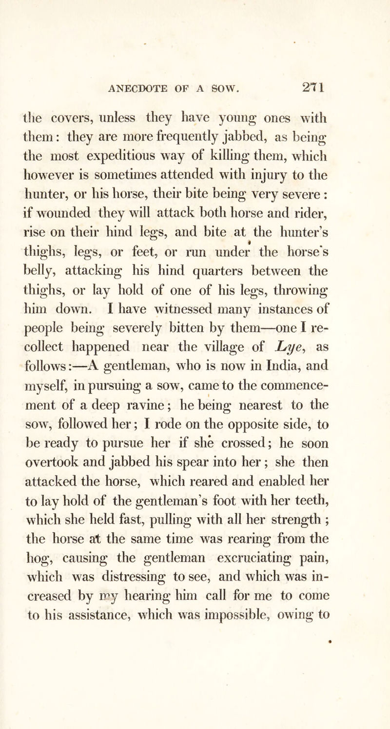 the covers, unless they have young ones with them: they are more frequently jabbed, as being the most expeditious way of killing them, which however is sometimes attended with injury to the hunter, or his horse, their bite being very severe : if wounded they will attack both horse and rider, rise on their hind legs, and bite at the hunter’s « thighs, legs, or feet, or run under the horse's belly, attacking his hind quarters between the thighs, or lay hold of one of his legs, throwing him down. I have witnessed many instances of people being severely bitten by them—one I re- collect happened near the village of Lye^ as follows:—A gentleman, who is now in India, and myself, in pursuing a sow, came to the commence- ment of a deep ravine; he being nearest to the sow, followed her; I rode on the opposite side, to be ready to pursue her if she crossed; he soon overtook and jabbed his spear into her; she then attacked the horse, which reared and enabled her to lay hold of the gentleman’s foot with her teeth, which she held fast, pulling with all her strength ; the horse at the same time was rearing from the hog, causing the gentleman excruciating pain, which was distressing to see, and which was in- creased by D^y hearing him call for me to come to his assistance, which was impossible, owing to