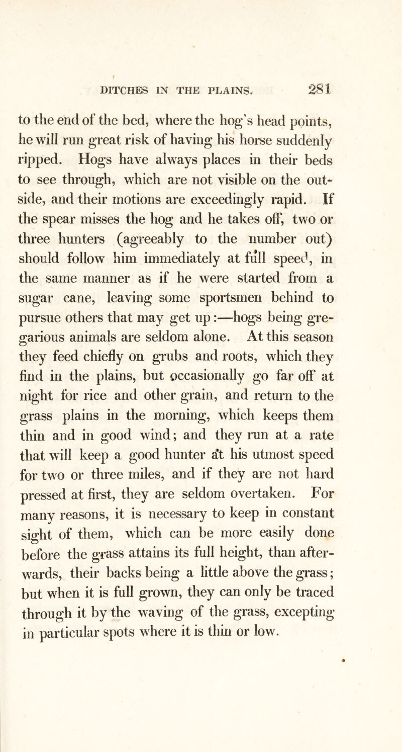to the end of the bed, where the hog’s head points, he will run great risk of having his horse suddenly ripped. Hogs have always places in their beds to see through, which are not visible on the out- side, and their motions are exceedingly rapid. If the spear misses the hog and he takes off, two or three hunters (agreeably to the number out) should follow him immediately at full speed, in the same manner as if he were started from a sugar cane, leaving some spoilsmen behind to pursue others that may get up:—hogs being gre- 2:arious animals are seldom alone. At this season O they feed chiefly on grubs and roots, which they find in the plains, but occasionally go far off at night for rice and other grain, and return to the grass plains in the morning, which keeps them thin and in good wind; and they run at a rate that will keep a good hunter at his utmost speed for two or three miles, and if they are not hard pressed at first, they are seldom overtaken. For many reasons, it is necessary to keep in constant sight of them, which can be more easily done before the grass attains its full height, than after- wards, their backs being a little above the grass; but when it is full grown, they can only be traced through it by the waving of the grass, excepting in particular spots where it is thin or low.