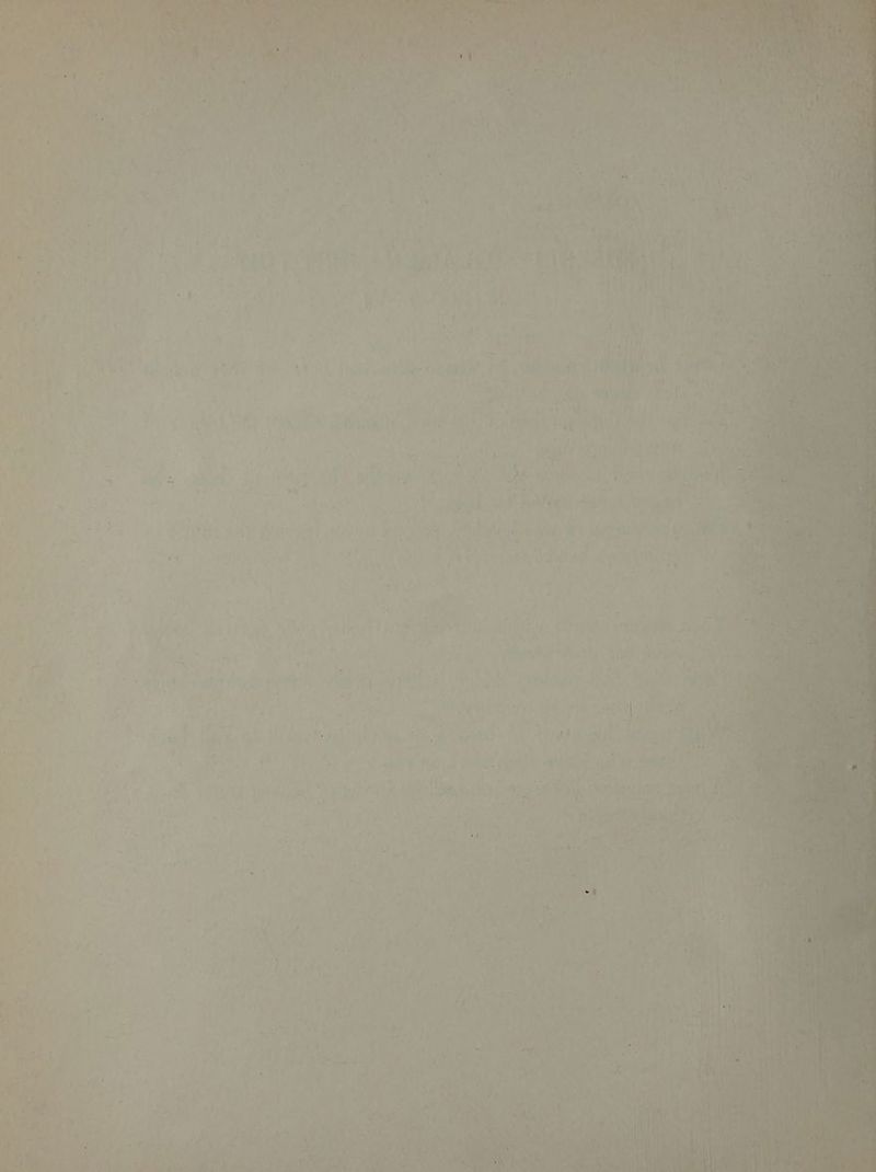 : ane) 8 ‘ uJ ws \ ; Ad Aae Tt & , ze wi. =* “ae Nut : cry San ‘c Hi my n . eas T 15 ‘ te | { Ly, yr. . sags i: od , Asa oe aa a High Oy ce me x 4 4 & F . : 1 q a ¥ ey “® Es a : . rf + , z M gq é > i 4 t ; : + mn ‘it ; ae RMA ea p§ aie = q 2 - , t : . 4 ak i Vi : ? 7 . ms Peds a) - a F x ; ' $ eons ital el Oya FS 4 e's a tesla . Fr ’ i rT . * 7. vs yo ee et ¢
