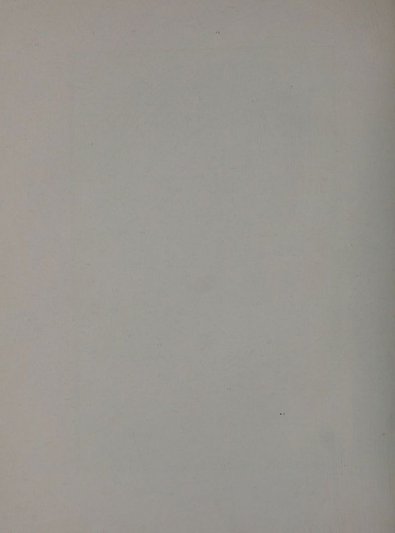 - r : 4 : : oh r if 2» _ / b 1) oa roa se * , ‘ rf y x4 a ae { 4 gad Le Ses, ocd Ca Pe cy “pes Beh ROM rh 7; Sat Sur, Lay Diet at ee ‘ x ie Tey eg a el cles) ete ie i aes Bons rey ( ry .) UR - a — i. * \ j ‘ iL aa) 7 ; foes _ ms myd bee J 2 ‘ *y i wad 4 ; ‘ Mw ya a ’ ’ 7 ry, AP 7s! 7 ie i 7 13 1 2 by | f 7 ais i eee 7 oe . ae ’ ‘ we i oe y ‘Ty J { i Va rola % { ‘ fis % \ 2 a : ‘ 1 aa? let wy ie ut Ly ' : ~ J i ; lt VT ee Re ee TW ut oe? Cea Oe oo 2 |) re SP aaa