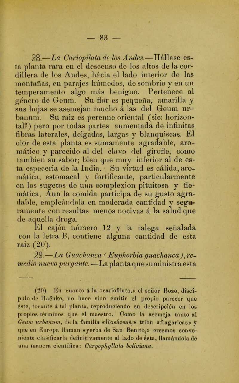 28-—La Cariopilata de Jos Andes.—Hállase es- ta planta rara en el descenso de los altos de la cor- dillera de los Andes, hácia el lado interior de las montañas, en parajes luimedos, de sonibrio y en un temperamento algo más benigno. Pertenece al gdnero de Geum. Su flor es pequeña, amarilla y sus hojas se asemejan mucho á las del Geum ur- banum. Su raiz es perenne oriental (sic: horizon- tal!) pero por todas partes aumentada de infinitas fibras laterales, delgadas, largas y blanquiscas. El olor de esta planta es sumamente agradable, aro- mático y parecido al del clavo del giroflé, como también su sabor; bien que muy inferior al de es- ta especeria de la India. Su virtud es cálida, aro- mática, estomacal y fortificante, particularmente en los sugetos de una complexión pituitosa y fle- mática. Aun la comida participa de su gusto agra- dable, empleiindola en moderada cantidad y segiíK ramente con resultas menos nocivas á la salud que de aquella droga. El cajón número 12 y la talega señalada con la letra B, contiene alguna cantidad de esta raiz (20). 29.—La Guachanca (EupJiorhia guachanca), re- medio nuevo purgante.—La planta que suministra esta (20) Kn cuanto á la «cariofilata,» el señor Bozo, discí- pulo (ic Haénke, no hace sino emitir el propio parecer que éste, tocante á tal planta, reproduciendo su descripción en los propios términos que el maestro. Como la asemeja tanto al Gewn urbanvm, de la familia «Kosáceas,» tribu afragarieas» y que en Pliiropa llaman «yerba de San Benito,» creemos conve- niente clasificarla definitivamente al lado de ésta, llamándola de una manera científica: Caryophyllata boliviana.