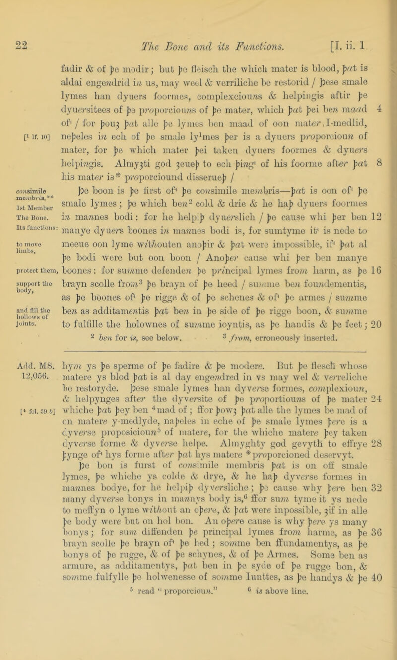 [I If. 10] cn/isimile 1st Member The Bone. Its runetioMs: to move limbs, protect them, support the uoily, and fill the hollows of joints. Add. MS. 12,05G. [* fol. :!9 b] fadir & of ]?o iiiodir; but pQ fleiscli tlie wliicli mater is blood, pat is aldai euge«di’id iii us, may wool <.'c verrilicbe bo restorid / )3ese smale lymos hail dyuers fooriiie.s, complexciouibs & helpingis aftir ]ie dyuf^/'sitees of pa p?viporciou?ts of pQ mater, ivliicb pat jiei bew maml 4 ob / for jioit^ pat alio Jio lymos bon maad of ooit mater,I-medlid, iie))olos i» ecli of jio smalo lybiios fior is a dyuers proporciouw of mater, for fio ivliich mater jiei taken dyuers foormes & dyuei's lielpi?bgis. Almy3ti god 30110)) to eeli |)mg* of liis foorme after pat 8 his mater is* proporciouiid dis.serue]) / ]5e boon is ))o Jirst ob pe co/isimilo me?/ibris—pat is 0011 ob pe smale lymos; ))e which beii^ cold & drie & ho haj? dyuers foormes in ma?iues bodi: for he helpij) dyue?’slich / Jie cause Avhi jjer ben 12 maiiyo dyuei’s booues in mamies bodi is, for sumtymo if is node to moeue oon lyme w^t/toutell ano))ir & pat were impossible, ib pat al ])e bodi were but 0011 boon / Anojicv cause whi jier ben maiiye boones: for siu/iine defende« ))e principal lymes froi/b harm, as ))e IG brayn scolle froiit^ pa brayn of |)e heed / su/ame han foimdementis, as ])o boones ob jio rigge & of jie schenes & ob j)o armes / summe bell as additame«tis ])at be?^ in ))e side of ))e rigge boon, & simime to fulfille the holownes of summe ioyntis, as pa haiidis & ])e feet; 20 2 hen for ix, see below. ^ from, erroneously inserted. hy»i ys ])e sperme of ])e fadire & ))e modere. Hut ))e llescli whose materc ys blod pat is al day engendred in vs may wel & verreliclie be restoryde. )3ese smale lymes han dyve/’so formes, cmnplexiou?!, A lielpynges after the dyversite of pe proportioims of pe mater 24 whicho pat pey lien ^niad of ; Ifor P0W3 pat alle the lymes be mad of on matere y-medlyde, napeles in eclie of pe smale lymes pr?'e is a dyverse proposiciou?j^ of inatere, for the whiche materc pey taken (lyvei’se forme A dyvei'se helpe. Alniyghty god gevytli to elfiye 28 pyngc ob hys forme after pat h3’s niatere * pi’aporcioned deservyt. )?e bon is furst of em/simile membris pat is on off smalo lymes, pe whiche 3's coble A drye, A he hap dyvei’se formes in mamies bodye, for he helpip dyversliche; pe cause why pere ben 32 many dyverse bonys in immnys boiiy is,*' tfor sum tyme it ys nede to mclfyn o lyme wAAout an opere, A pat were inpossible, 3if in alle pe body were but on hoi bon. An opere cause is why pere ys many bonys; for sum diUenden pe principal lymes from liarme, as pe 36 brayn scolle pe brayn ob pe hod; somnie ben Ifundamentys, as pe l)onys of pe rugge, A of pe schynes, A of pe Amies. Some ben as arnuire, as additamentys, pat ben in pc syde of pe rugge bon, A somine fulfylle pe holwenesse of so)ame 1 unites, as pe handys A pe 40 ** read “ proporcioiut.” ** is above line.