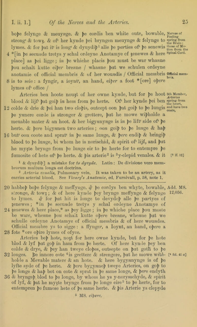 bojje felynge & meuy7?ge. & J)e cordis ben white oute, bowable, strong* & tf)W3. & of* her kynde jjei bryngen ineuynge & felynge to lymes. & for })at it* is long* & dyuydi])^ alle J)e parties of* po senewis 4 *[in Jie secu?^de tretys y schal ordeyne Anotamye of 3enewes & here spinal Cord, place] as J)ei ligge; i« Jje whiche placis J)ou must be war whanne Jjou schalt kutte oijjc?' bre??.ne / wharine pat we schulen ordeyne anotamie of official meinbris & of her woundis / Official membris official mem- 8 is to seie : a fyngir, a ioynt*, an hand, eijrcr a foot * [ore] o))e?*e lymes of* office / Arteries ben hoote noint of her owne kyiide, but for jie hoot stii Member, blood & lijf* J?at goi]) in hem from Jie herte. Of* her kynde Jiei ben 12 colde Sc drie & fiei han two clofii-s, outcept oon Jiat goij? to po, lungis ]je ywnere corde is stronger grettere, pat he mowe wi))holde a meuable mater & an hoot. & her bigy?uiywge is \n jie lift* side of* pQ herte. & pevQ bigywnen two arteries; oo?^ goi)5 to Jie hujge & ha|) IG but* oon coote and sprat* \n ))e same limge, & perc endij) & bringi]) blood to pe limge, bi whom he is norischid, & spirit of* lijf, and pat he my^te brynge from fe limge eir to pQ herte for to entempre J)e fumosite of hete of* })e herte. & ))is arterie^ is ^y-clepid venales. & it P if. 12] 1 & (lyiiydiii] a mistake for rfyryrZe. Latin: De divisione vero mem- broruni muUum longa est doctrina. 2 Arter'ia rvnalis. Pulmonary vein. It was taken to be an artery, as it carries arterial blood. See Vicanj's Anatomic, etl. Furnivall, p. 08, note 1. 20 liabbe]) bojje felynge & meffyngc. jje cordys ben whyte, bowable. Add. MS. slronge, & tow^; Sc of here kynde jjey brynge meftynge & felynge 12,056. to lymes. d* for pat hit is longe to devydej) alle jie })a?’tyes of ^enewes; *in jje seciuide tretys y schal ordeyne Anotamye of 24 3enewes & here place,* as Jjey ligge; in pa whiche jilace })ou moste be ware, whe^me pou schalt kutte ojjere brerme, wlienne Jiat we schulle ordeyne Anotamye of official mejiibris & of here wouwdes. Official me»ibre ys to sigge : a IFynger, a Ioynt, an hand, opera a 28 fote *ore ojiire lymes of ofyee. Arteries be)) hote, no3t for here owne kynde, but for pa bote blod & lyf pat goj) in ham fro?)i ))e herte. Of here kymle fiey ben colde & drye, & pay han tweye clojjes, outsepte on pat gotli to ))e 32 longes. pa innore cote ‘‘is grettere Sc strengere, ))at he mowe w^t//- [♦ foi.4ia] holde a Alevable matere & an hote. Sc liere bygywnynge is of ))o lyfte syde of pa herte. Sc pera bygyjinej) tweye Arteries, on goj) to ))e longe & haj) hot on cote Sc sprat in ]?e same longe, & jjere endyth 3G Sc brynge]) blod to pa longe, by who7)i he ys y-norysschyde. Sc spirit of lyf, & ))at he my3te brynge fro??i ))e longe eire^ to ))e herte, for to entempren j)e fumose hete of ))e same herte. & J)is Arterie ys clepyde ® MS. ci]}ere.