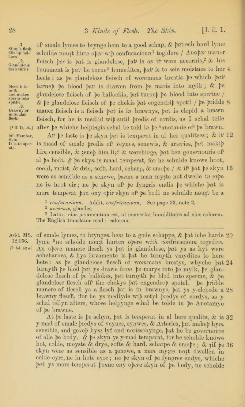 .1. Simple flesh tills lip hol- lows. .2. GIaikUiIous flesh turns blond into milk, und nnikes sperm into spittle. .3. Brawny or nmseular flesh. [* If. 13, bk.] Dth IIember. Skin. It is temper- ate. Add. MS. 12,056. [5 Ibl. 42 a] of smale ]yines to liryngo liein to a good scliap, & Jiat ecli hard lyiiie scliiilde nou3t hirte ojier wiji confucacioim^ togidere / Aiiojie?' niainT fleisch 'per is jiat is glaiidelose, Jiaf is as if were accornis,- & his luuament is pat* he turue^ liuinedites, ]>«f is to seie moistnes to her 4 heete; as po, glaiidelose heisch of W077?mans brestis pe which paV turnip p& blood |)af is draweii i’rom ))e iiiaris into niylk; & |ie glaiidelose fleisch of Jie ballockis, pat turne]) pQ blood into spe?'me / & ])e glaiidelose fleisch of ))e chekis Jiat engendri]? spotil / fe |)ridde 8 nianer fleisch is a fleisch pat is \n brawnys, pat is clepid a brawn fleisch, for he is medlid wi)) sutil Jtredis of cordis, as I schal telle after jie whiche helpiwgis schal be told in jie ‘^anotaiiiie of pa brawn, Af pe laste is pe skyn pat is tenujeint in al her qiialitees; & if 12 is niaad of sniale jiredis of Veynes, senewis, & arteries, pat niakiji \\im censible, & ^eueji hhii li3f & worchi»ge, pat ben gouernoiiris of al jie bodi. ^ Jie skyw is niaad tempei'at, for he schulde knowe hoot, coold, moist, & drie, soff, hard, scharp, & sinojie / it if pat |ie skyii 16 were as sencible as a senewe, Jiawne a man my3te not dwelle in erfe ne in hoot eir; ne Jie skyn of pe fyngris endis pe whiche pat is more tempe?'at pan ony opir skyn of pe bodi ne schulde nou3t be a ^ cimfucacionn. Addit. cpnfricacionn. See page 23, note 2. ^ accornis, glaiides. ^ Latin: eiusjuvanieiituin est, ut convertat humiditates ad eius colorein. The English translator read : caloreia. of smale lymes, to bryngere hewt to a gode schappe, & pat iche harde 20 lyine ®ne scholde nou3t huitew opere \;ith confricacioim togedire. An opere nianere flescli ys pat is glandelose, pat ys as hyt were achcharnes, & hys luvamente is pat he turnyth vmydites to here heto: as pe glandelose flesch of wommans brestys, whyche pat 24 turnyth pe blod pat ys drawe from pe niarys into pe mylk, pe glan- delose flesch of pe ballokes, pat turnyth pe blod into s])erme, & pe glandelose flesch off tlie chekys pat engendrep spotel. \)e pridde manere of flesch ys a flesch pat is in brawnys, pat ys y-clepede a 28 brawny flesch, llbr he ys medlyde wip sotyl predys of cordys, as y schal tellyn aftere, whose helpynge schal be tolde in pe Anotamye of pe brawne. At pe laste is pe schyn, pat is te»qie?’at in al here qualite, & is 32 y-mad of smale predys of veynes, synwes, & Arteries, pat makep hym sensible, and gevep hy7n lyf and norisschynge, pat he be governoure of alle pe body, ij* pe skyn ys y-mad tempej’at, for he scholde knowe hot, colde, moyste & drye, softe & hard, scharpe & sinepe ; & 3if pe 36 skyn were as sensible as a 3enewe, a mari my3te no3t dwellen in colde eyre, ne in hote eyre; ne pe skyn of pe fyngres endys, whiche pat ys more tenipe?-at penne eny optre skyn of pe lody, ne scholde