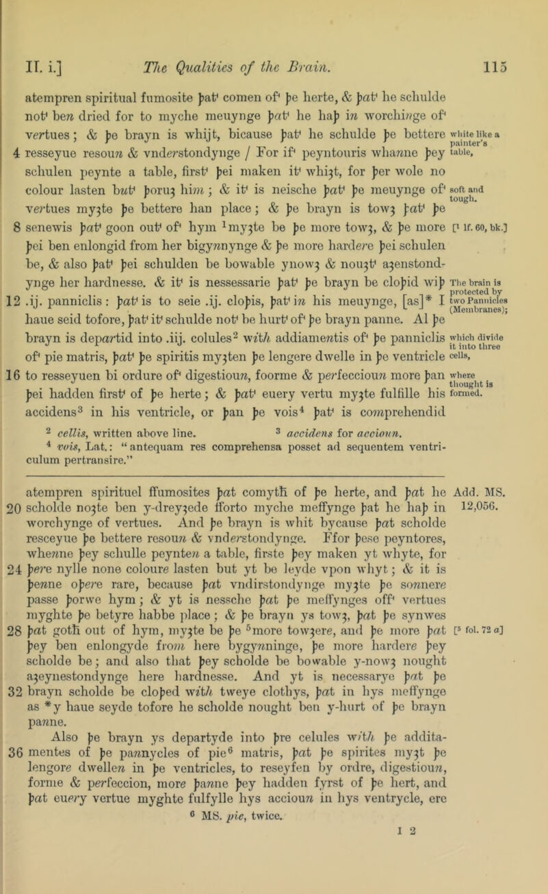 atempren spiritual fumosite faf comen of* Jje lierte, & fat* he scliulde not* here dried for to niyche meuynge J)af he ha]) in worchi?)ge of* vertues; & Jjo brayn is whijt, bicause J)at* he schulde ])e bottere 4 resseyuo resouw & vnderstondynge / For if* peyntouris whamie J)ey scliulen peynte a table, first* })ei maken it* whi3t, for ])cr wole no colour lasten bwt* ])oru3 hi7?4; & it* is neische J)at* J)e meuynge of* ve7-tues my^te J)e bettere ban place; & ])e brayn is towj jrat* fe 8 senewis fat* goon out* of* hym ^my^te be fe more tow^, & fe more fci ben enlongid from her bigy7^nynge & fe more hardere fei schulen be, & also fat* fei schulden be bowable ynow^ & nou3t* a3enstond- ynge her hardnesse. it* is nessessarie fat* fe brayn be clofid wif 12 .ij. panniclis: fat* is to seie .ij. clofis, fat* iw his meuynge, [as]* I haue seid tofore, fat* it* schulde not* be hurt* of* fe brayn panne. A1 fe brayn is departid into .iij. colules^ with addiame7^tis of* fe panniclis of* pie matris, fat* fe spiritis my3ten fe lengere dwelle in fe ventricle 16 to resseyuen bi ordure of* digestioim, foorme & perfecciouTZ more fan fei hadden first* of fe herte; & fat* euery vertu my3te fulfille his accidens^ in his ventricle, or fan fe vois^ fat* is co7?zprehendid 2 cellis, written above line. ^ accidcns for accionn. * vuis, Lat.: “antequam res comprehensa posset ad sequentem ventri- culum pertransire.” wliite like a painter’s table. soa and tough. [' If. 60, bk.] 'riie brain is protected by two Pannicles (Membranes); wliich divide it into three cells, wltere thouglit is formed. atempren spirituel Ifumosites fat comyth of fe herte, and fat he Add. MS. 20 scholde no3te ben y-drey3ede ttbrto myche meffynge fat he haf in 12,056. worchynge of vertues. And fe brayn is whit bycau.se fat scholde resceyue fe bettere resouw vnde?-stondyiige. Ffor fese peyntores, whemre fey schulle peyntezz a table, fir.ste fey maken yt whyte, for 24 nylle none coloure lasten but yt be leyde vpon whyt; <fe it is fewne ofere rare, because fat viidir-stontlynge my3te fe sownere passe forvve hym ; & yt is nessche fat fe meffynges off* vertues myghte fe betyre habbe jilace; & fe brayn y.s tow3, fat fe synwes 28 frtt goth out of hym, my3te be fe ^more tow3ere, and fe more fat [‘ foi. 72a] fey ben enlongyde frozzz here bygywninge, fe more hardere fey scholde be; and also that fey scholde be bowable y-now3 nought a3eynestondynge here harclnesse. And yt is necessarye fat fe 32 brayn scholde be clofed with tweye clothys, fat in hys meffynge as *y haue seyde tofore he scholde nought bon y-hurt of fe brayn panne. Also fe brayn ys departyde into fre celules with fe addita- 36 mentes of fe pannycles of pie® matris, fat fe spirites my3t fe lengore dwellen in fe ventricles, to reseyfen by ordre, digeatiou7Z, forme & perfeccion, more fanne fey hadden fyrst of fe hert, and fat Query vertue myghte fulfylle hys acciouTZ in hys ventrycle, ere ® MS. pie, twice.