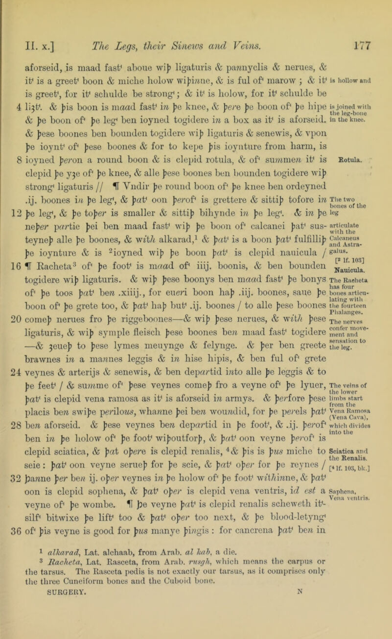 aforseid, is niaad fast* ahoue wijj ligaturis & paraiyclis & nerues, & it* is a greet* boon & niiche liolow wi)ji?iae, & is ful of* marow ; & if is greef, for if scluilde be strong*; & if is holow, for if scbulde be 4 li3f. & ))is boon is maad fasf in jjc knee, I'e \)ere ])c boon of* jje hipe & J)e boon of* ))e leg* ben ioyned togidere in a box as if is aforseid. & pese boones ben bounden togidere wijj ligaturis & senewis, & vpon J)e ioynf of* jjese boones & for to kepe ])is ioynture from harm, is 8 ioyned |)e?-on a round boon & is clepid rotula, & of* sunanen if is clepid ])e yje of* Jie knee, & alle J)cse boones ben bounden togidere wij) strong* ligaturis // H Vndir J)e round boon of* pe knee ben ordeyned .ij. boones in )je leg*, & fc/f oon perof* is grettere & sitti)) tofore m 12 fe leg*, & J>e tojjer is smaller & sitti)? bibynde i?i )je leg*. & in ])e nejjer pnrtie ))ei ben maad fasf \vi|) ))c boon of* calcanei ))af sus- teynef alle )jc boones, & with alkarad,^ & ))rtf is a boon J)af fulfillij? J)e ioynture & is ^ioyned wif) })e boon fjctf is clepid nauicula / 16 IF Eacheta* of* ))e foof is maad of* iiij. boonis, & ben bounden togidere wi)) ligaturis. Sc wi)) J?ese boonys ben maad fasf pe bonys of* )5e toos pat} ben .xiiij., for eueri boon ha]) .iij. boones, sane fe boon of* pQ grete too, & pat} haj) buf .ij. boones / to alle ])ese boones 20 come]) nerues fro ])e riggeboones—& wi]) ])ese nerues. Sc with })ese ligaturis, & wij) symple fleiscli |)ese boones ben maad fasf togidere —& jeuej) to fese lymes meuynge Sc felynge. Sc J)er ben greete brawnes m a mannes leggis Sc in bise hipis. Sc ben ful of* grete 24 veynes & arterijs Sc senewis, & ben departid i?ito alle po leggis to pe feef / & sujnme of* })ese veynes come]) fro a veyne of* ))e lyuer, pat} is clepid vena ramosa as if is aforseid in armys. Sc J)erfore fese placis ben swi])e perilons, whanne fei ben wou?idid, for ))e perels ])af 28 ben aforseid. & fese veynes ben depa?*tid in pc foof. Sc .ij. pero^* ben in pc holow of* pc foof wiJ)outforJ), Sc pat} oon veyne pecof* is clepid sciatica, & pat operc is clepid renalis, ])is is fns miche to seie: pat} oon veyne seme]) for ])e scie. Sc pat} oper for pc reynes / 32 J3anne per ben ij. oper veynes in pc holow of* fie foof wfl/n^ine. Sc faf oon is clepid sophena, & pat} oper is clepid vena ventris, id est a veyne of* pc wombe. % \)e veyne pat} is clepiil renalis scheweth if- silf* bitwixe fe liff too & pat} oper too next. Sc pe blood-letyng* 36 of* pis veyne is good for pns manye pingis : for cancrena paf ben in is liollow and is joinwl willi tlie leg-bone in the knee. Rotula. The two bones of tlie leg articulate with the Calcaneus and Astra- galus. [* If. lOS] Nauicula. The Rjieheta has four bones articu- lating with the fourteen Phalanges. The nerves confer move- ment and sensation to tlie leg. The veins of the lower limbs start from the Vena Ramosa (Vena Cava), which divides into the Sciatica and the Renalis. [«If. 103, bl;.] Saphena, Vena ventris. 1 alkarad, Lat. alchaab, from Arab, al Jmh, a die. 3 liacketa, Lat. Rasceta, from Arab, ntxgh, wliicli means the carpus or tlie tarsus. The Ra.sceta pedis is not c.xactly our tarsus, as it comprises only the three Cuneiform bones and the Cuboid bone. SURGEUY. N