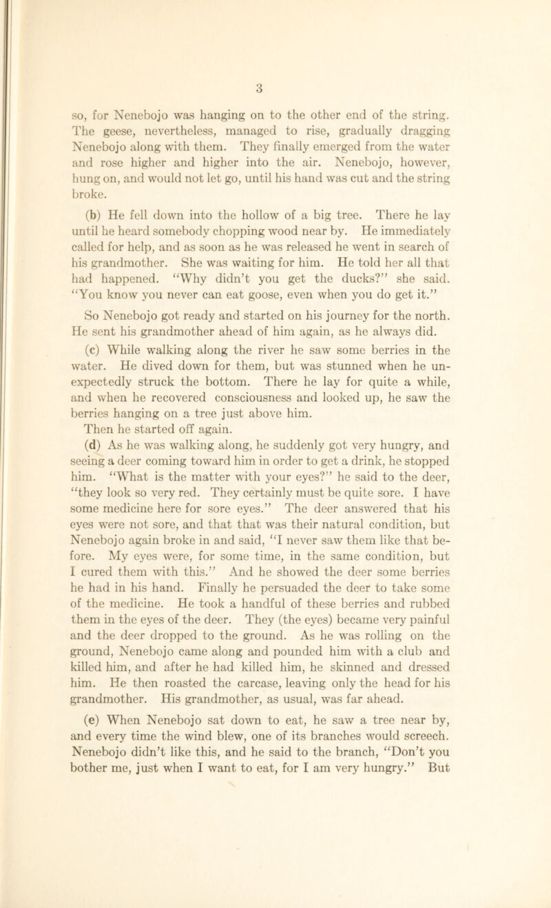 so, for Nenebojo was hanging on to the other end of the string. The geese, nevertheless, managed to rise, gradually dragging Nenebojo along with them. They finally emerged from the water and rose higher and higher into the air. Nenebojo, however, hung on, and would not let go, until his hand was cut and the string broke. (b) He fell down into the hollow of a big tree. There he lay until he heard somebody chopping wood near by. He immediately called for help, and as soon as he was released he went in search of his grandmother. She was waiting for him. He told her all that had happened. “Why didn’t you get the ducks?” she said. “You know you never can eat goose, even when you do get it.” So Nenebojo got ready and started on his journey for the north. He sent his grandmother ahead of him again, as he always did. (c) While walking along the river he saw some berries in the water. He dived down for them, but was stunned when he un- expectedly struck the bottom. There he lay for quite a while, and when he recovered consciousness and looked up, he saw the berries hanging on a tree just above him. Then he started off again. (d) As he was walking along, he suddenly got very hungry, and seeing a deer coming toward him in order to get a drink, he stopped him. “What is the matter with your eyes?” he said to the deer, “they look so very red. They certainly must be quite sore. I have some medicine here for sore eyes.” The deer answered that his eyes were not sore, and that that was their natural condition, but Nenebojo again broke in and said, “I never saw them like that be- fore. My eyes were, for some time, in the same condition, but I cured them with this.” And he showed the deer some berries he had in his hand. Finally he persuaded the deer to take some of the medicine. He took a handful of these berries and rubbed them in the eyes of the deer. They (the eyes) became very painful and the deer dropped to the ground. As he was rolling on the ground, Nenebojo came along and pounded him with a club and killed him, and after he had killed him, he skinned and dressed him. He then roasted the carcase, leaving only the head for his grandmother. His grandmother, as usual, was far ahead. (e) When Nenebojo sat down to eat, he saw a tree near by, and every time the wind blew, one of its branches would screech. Nenebojo didn’t like this, and he said to the branch, “Don’t you bother me, just when I want to eat, for I am very hungry.” But