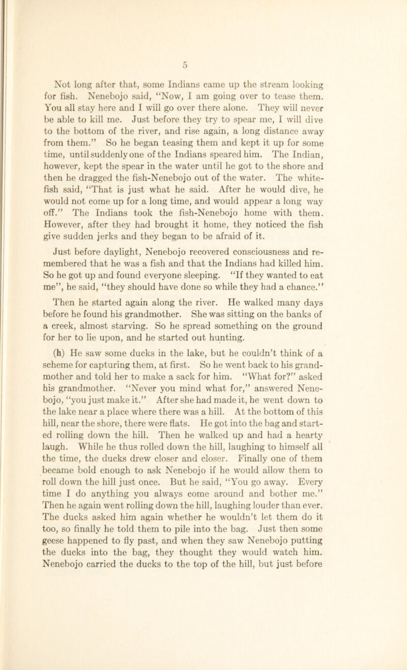 Not long after that, some Indians came up the stream looking for fish. Nenebojo said, Now, I am going over to tease them. You all stay here and I will go over there alone. They will never be able to kill me. Just before they try to spear me, I will dive to the bottom of the river, and rise again, a long distance away from them.” So he began teasing them and kept it up for some time, until suddenly one of the Indians speared him. The Indian, however, kept the spear in the water until he got to the shore and then he dragged the fish-Nenebojo out of the water. The white- fish said, “That is just what he said. After he would dive, he would not come up for a long time, and would appear a long way off.” The Indians took the fish-Nenebojo home with them. However, after they had brought it home, they noticed the fish give sudden jerks and they began to be afraid of it. Just before daylight, Nenebojo recovered consciousness and re- membered that he was a fish and that the Indians had killed him. So he got up and found everyone sleeping. “If they wanted to eat me”, he said, “they should have done so while they had a chance/’ Then he started again along the river. He walked many days before he found his grandmother. She was sitting on the banks of a creek, almost starving. So he spread something on the ground for her to lie upon, and he started out hunting. (h) He saw some ducks in the lake, but he couldn’t think of a scheme for capturing them, at first. So he went back to his grand- mother and told her to make a sack for him. “What for?” asked his grandmother. “Never you mind what for,” answered Nene- bojo, “you just make it.” After she had made it, he went down to the lake near a place where there was a hill. At the bottom of this hill, near the shore, there were flats. He got into the bag and start- ed rolling down the hill. Then he walked up and had a hearty laugh. While he thus rolled down the hill, laughing to himself all the time, the ducks drew closer and closer. Finally one of them became bold enough to ask Nenebojo if he would allow them to roll down the hill just once. But he said, “You go away. Every time I do anything you always come around and bother me.” Then he again went rolling down the hill, laughing louder than ever. The ducks asked him again whether he wouldn’t let them do it too, so finally he told them to pile into the bag. Just then some geese happened to fly past, and when they saw Nenebojo putting the ducks into the bag, they thought they would watch him. Nenebojo carried the ducks to the top of the hill, but just before