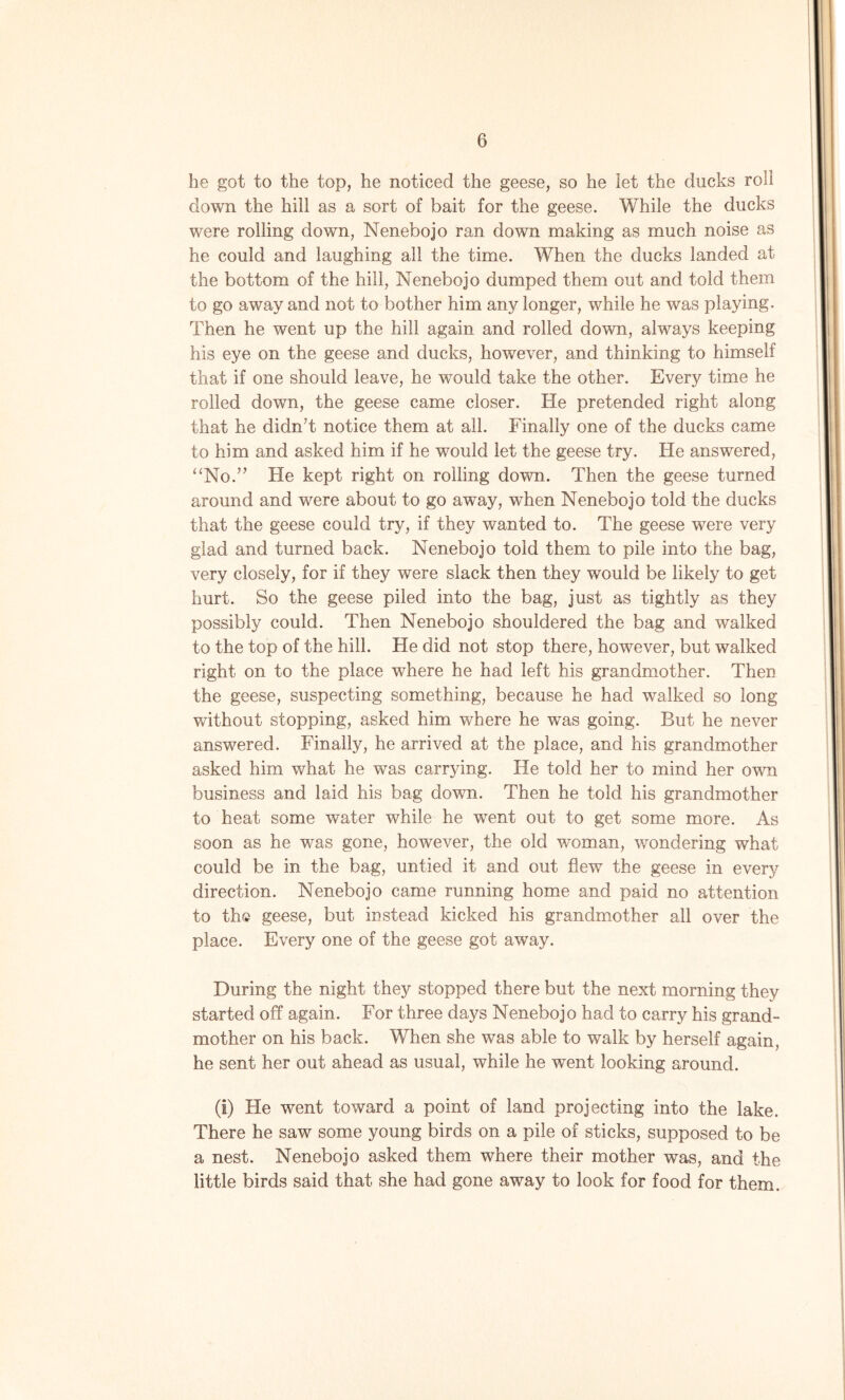 he got to the top, he noticed the geese, so he let the ducks roll down the hill as a sort of bait for the geese. While the ducks were rolling down, Nenebojo ran down making as much noise as he could and laughing all the time. When the ducks landed at the bottom of the hill, Nenebojo dumped them out and told them to go away and not to bother him any longer, while he was playing. Then he went up the hill again and rolled down, always keeping his eye on the geese and ducks, however, and thinking to himself that if one should leave, he would take the other. Every time he rolled down, the geese came closer. He pretended right along that he didn't notice them at all. Finally one of the ducks came to him and asked him if he would let the geese try. He answered, “No.” He kept right on rolling down. Then the geese turned around and were about to go away, when Nenebojo told the ducks that the geese could try, if they wanted to. The geese were very glad and turned back. Nenebojo told them to pile into the bag, very closely, for if they were slack then they would be likely to get hurt. So the geese piled into the bag, just as tightly as they possibly could. Then Nenebojo shouldered the bag and walked to the top of the hill. He did not stop there, however, but walked right on to the place where he had left his grandmother. Then the geese, suspecting something, because he had walked so long without stopping, asked him where he was going. But he never answered. Finally, he arrived at the place, and his grandmother asked him what he was carrying. He told her to mind her own business and laid his bag down. Then he told his grandmother to heat some water while he went out to get some more. As soon as he was gone, however, the old woman, wondering what could be in the bag, untied it and out flew the geese in every direction. Nenebojo came running home and paid no attention to th» geese, but instead kicked his grandmother all over the place. Every one of the geese got away. During the night they stopped there but the next morning they started off again. For three days Nenebojo had to carry his grand- mother on his back. When she was able to walk by herself again, he sent her out ahead as usual, while he went looking around. (i) He went toward a point of land projecting into the lake. There he saw some young birds on a pile of sticks, supposed to be a nest. Nenebojo asked them where their mother was, and the little birds said that she had gone away to look for food for them.