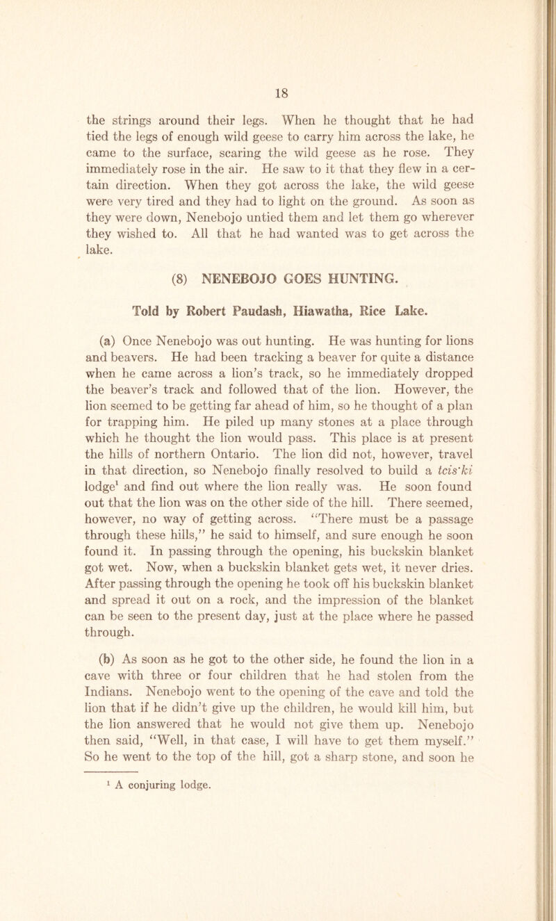 the strings around their legs. When he thought that he had tied the legs of enough wild geese to carry him across the lake, he came to the surface, scaring the wild geese as he rose. They immediately rose in the air. He saw to it that they flew in a cer- tain direction. When they got across the lake, the wild geese were very tired and they had to light on the ground. As soon as they were down, Nenebojo untied them and let them go wherever they wished to. All that he had wanted was to get across the lake. (8) NENEBOJO GOES HUNTING. Told by Robert Paudash, Hiawatha, Rice Lake. (a) Once Nenebojo was out hunting. He was hunting for lions and beavers. He had been tracking a beaver for quite a distance when he came across a lion's track, so he immediately dropped the beaver's track and followed that of the lion. However, the lion seemed to be getting far ahead of him, so he thought of a plan for trapping him. He piled up many stones at a place through which he thought the lion would pass. This place is at present the hills of northern Ontario. The lion did not, however, travel in that direction, so Nenebojo finally resolved to build a tcis'ki lodge1 and find out where the lion really was. He soon found out that the lion was on the other side of the hill. There seemed, however, no way of getting across. “There must be a passage through these hills, he said to himself, and sure enough he soon found it. In passing through the opening, his buckskin blanket got wet. Now, when a buckskin blanket gets wet, it never dries. After passing through the opening he took off his buckskin blanket and spread it out on a rock, and the impression of the blanket can be seen to the present day, just at the place where he passed through. (b) As soon as he got to the other side, he found the lion in a cave with three or four children that he had stolen from the Indians. Nenebojo went to the opening of the cave and told the lion that if he didn't give up the children, he would kill him, but the lion answered that he would not give them up. Nenebojo then said, “Well, in that case, I will have to get them myself. So he went to the top of the hill, got a sharp stone, and soon he 1 A conjuring lodge.