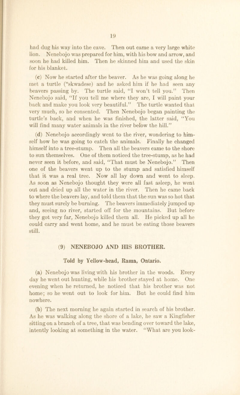 had dug his way into the cave. Then out came a very large white lion. Nenebojo was prepared for him, with his bow and arrow, and soon he had killed him. Then he skinned him and used the skin for his blanket. (c) Now he started after the beaver. As he was going along he met a turtle (mskwadese) and he asked him if he had seen any beavers passing by. The turtle said, “I won’t tell you.” Then Nenebojo said, “If you tell me where they are, I will paint your back and make you look very beautiful.” The turtle wanted that very much, so he consented. Then Nenebojo began painting the turtle’s back, and when he was finished, the latter said, “You will find many water animals in the river below the hill.” (d) Nenebojo accordingly went to the river, wondering to him- self how he was going to catch the animals. Finally he changed himself into a tree-stump. Then all the beavers came to the shore to sun themselves. One of them noticed the tree-stump, as he had never seen it before, and said, “That must be Nenebojo.” Then one of the beavers went up to the stump and satisfied himself that it was a real tree. Now all lay down and went to sleep. As soon as Nenebojo thought they were all fast asleep, he went out and dried up all the water in the river. Then he came back to where the beavers lay, and told them that the sun was so hot that they must surely be burning. The beavers immediately jumped up and, seeing no river, started off for the mountains. But before they got very far, Nenebojo killed them all. He picked up all he could carry and went home, and he must be eating those beavers still. (9) NENEBOJO AND HIS BROTHER. Told by Yellow-head, Rama, Ontario. (a) Nenebojo was living with his brother in the woods. Every day he went out hunting, while his brother stayed at home. One evening when he returned, he noticed that his brother was not home; so he went out to look for him. But he could find him nowhere. (b) The next morning he again started in search of his brother. As he was walking along the shore of a lake, he saw a Kingfisher sitting on a branch of a tree, that was bending over toward the lake, intently looking at something in the water. “What are you look-