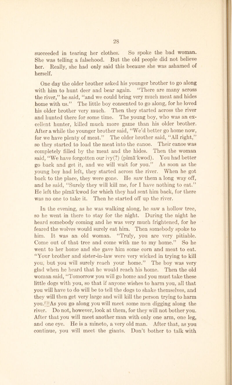 succeeded in tearing her clothes. So spoke the bad woman. She was telling a falsehood. But the old people did not believe her. Really, she had only said this because she was ashamed of herself. One day the older brother asked his younger brother to go along with him to hunt deer and bear again. “There are many across the river,” he said, “and we could bring very much meat and hides home with us/’ The little boy consented to go along, for he loved his older brother very much. Then they started across the river and hunted there for some time. The young boy, who was an ex- cellent hunter, killed much more game than his older brother. After a while the younger brother said, “We’d better go home now, for we have plenty of meat.” The older brother said, “All right,” so they started to load the meat into the canoe. Their canoe was completely filled by the meat and the hides. Then the woman said, “We have forgotten our ivy(?) (pima'kwod). You had better go back and get it, and we will wait for you.” As soon as the young boy had left, they started across the river. When he got back to the place, they were gone. He saw them a long way off, and he said, “Surely they will kill me, for I have nothing to eat.” He left the pima'kwod for which they had sent him back, for there was no one to take it. Then he started off up the river. In the evening, as he was walking along, he saw a hollow tree, so he went in there to stay for the night. During the night he heard somebody coming and he was very much frightened, for he feared the wolves would surely eat him. Then somebody spoke to him. It was an old woman. “Truly, you are very pitiable. Come out of that tree and come with me to my home.” So he went to her home and she gave him some corn and meat to eat. “Your brother and sister-in-law were very wicked in trying to kill you, but you will surely reach your home.” The boy was very glad when he heard that he would reach his home. Then the old woman said, “Tomorrow you will go home and you must take these little dogs with you, so that if anyone wishes to harm you, all that you will have to do will be to tell the dogs to shake themselves, and they will then get very large and will kill the person trying to harm you/’ As you go along you will meet some men digging along the river. Do not, however, look at them, for they will not bother you. After that you will meet another man with only one arm, one leg, and one eye. He is a mineto, a very old man. After that, as you continue, you will meet the giants. Don’t bother to talk with