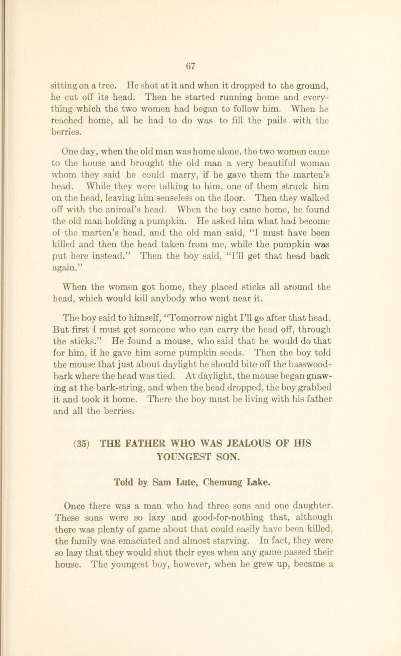 sitting on a tree. He shot at it and when it dropped to the ground, he cut off its head. Then he started running home and every- thing which the two women had began to follow him. When he reached home, all he had to do was to fill the pails with the berries. One day, when the old man was home alone, the two women came to the house and brought the old man a very beautiful woman whom they said he could marry, if he gave them the marten’s head. While they were talking to him, one of them struck him on the head, leaving him senseless on the floor. Then they walked off with the animal’s head. When the boy came home, he found the old man holding a pumpkin. He asked him what had become of the marten’s head, and the old man said, “I must have been killed and then the head taken from me, while the pumpkin was put here instead.” Then the boy said, “I’ll get that head back again.” When the women got home, they placed sticks all around the head, which would kill anybody who went near it. The boy said to himself, “Tomorrow night I’ll go after that head. But first I must get someone who can carry the head off, through the sticks.” He found a mouse, who said that he would do that for him, if he gave him some pumpkin seeds. Then the boy told the mouse that just about daylight he should bite off the basswood- bark where the head was tied. At daylight, the mouse began gnaw- ing at the bark-string, and when the head dropped, the boy grabbed it and took it home. There the boy must be living with his father and all the berries. (35) THE FATHER WHO WAS JEALOUS OF HIS YOUNGEST SON. Told by Sam Lute, Chemung Lake. Once there was a man who had three sons and one daughter. These sons wrere so lazy and good-for-nothing that, although there was plenty of game about that could easily have been killed, the family was emaciated and almost starving. In fact, they were so lazy that they would shut their eyes when any game passed their house. The youngest boy, however, when he grew up, became a