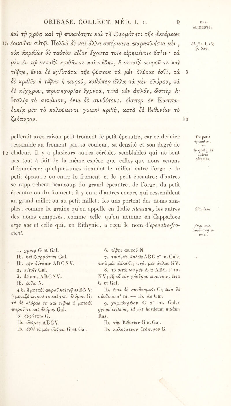 κα) Trj χρ6<χ κιχ] ttj Ήίυκνότητι κα\ τγ Β-ερμότητι τηζ ^υνάμεωζ ] 5 έοικυΊαν αύτω. Πολλά Sè κχ\ αλλα σττέρματχ 'ΖΰχρχτίΚησιχ μεν, ούκ άκρι^ώζ ^ε ταύτον εί^ο$ εχ^οντχ το7$ είρημενοΐζ εσ1ιν ' τά μεν έν τφ μεταζύ κρίθηβ τε κοά τί^ηζ^ η μεταζν 'Ζΰ'υροΰ τε κχ] τίφηζ^ ενιχ Sk εγίυτχτω τηζ φύσεωζ τχ μεν ολυρα? εσΤι, τχ Sè κριθη? V τί(ρηζ ij -zffvpovy κχθχττερ αλλα τχ μεν ε'λυμου^ τχ Sè κεγχρου^ τΰ'ροσηγορίχζ εχ^οντχ^ τινχ μεν χττΚχζ, ώσπερ εν Ιταλ/α το σιτχνιον^ ενιχ Sè συνθετουζy ώσπερ εν Καττπα- ^οκίχ μεν το καίλούμενον γυμνή κριθη, κχτχ Sè ^ιθυνίχν το ζεόπνρον. ALIMENTS. Al.fac. I, i3; p. 520. 10 peinerait avec raison petit froment le petit épeautre, car ce dernier ressemble au froment par sa couleur, sa densité et son degré de 15 chaleur. H y a plusieurs autres céréales semblables qui ne sont pas tout à fait de la même espèce que celles que nous venons d’énumérer ; quelques-unes tiennent le milieu entre l’orge et le petit épeautre ou entre le froment et le petit épeautre; d’autres se rapprochent beaucoup du grand épeautre, de l’orge, du petit épeautre ou du froment; il y en a d’autres encore qui ressemblent au grand millet ou au petit millet; les uns portent des noms sim- ples, comme la graine qu’on appelle en Italie sitanium, les autres des noms composés, comme celle qu’on nomme en Cappadoce orge nue et celle qui, en Bithynie, a reçu le nom à'épeautre-fro- ment. Du petit épeautre, et de quelques autres céréales. Sitanium. Orge nue. Epeautre-fro- menl. 1. xpoia G et Gai. Ib. και Ο-ερμότητι Gai. Ib. Trlv Svvapiv ABC NV. 2. αΰτοΐζ Gai. 3. êéom. ABCNV. Ib. έσ1ω N. 4-5. 4 μεταξύ affvpov κα}τί(ρη$ BN V; 4 μεταξύ τΰυρού τε και τοΊζ όλύροΐζ G ; τά êè όλύραε τε καί τίφη$ ·η μεταξύ Ότυροϋ τε και όλύρα$ Gai. 5. εγγύτατα G. Ib. ολύρ-ηζ ABCV. Ib. εσΤι τά μέν ολυρα? G et Gai. 6. τίφν$ τι^υρου Ν. η. τίνά άπλω? ABC 2“* m. Gai.; τίΐ^ά μεν aTiKaG \ Tivàs μέν ατίλαζ GV. 8. το σιτάνιον μέν ένια ABC ι“ m. Ν V; ε’Ι ου τον γόν^ρον τδοιοϋσιν, ενια G et Gai. Ib. ένια 3έ συν^εσμούζ C ; ένια ^έ σύνθετα 2“ m. ■— Ib. ώ$ Gai. 9. γυμνόκριθον C 2“ ni. Gai. ; gymnocrithon, id est hordeum nudum Ras. Ib. Trfv Βιθυνίαν G et Gai. Ib. καλούμενον ζεόπυρον G.