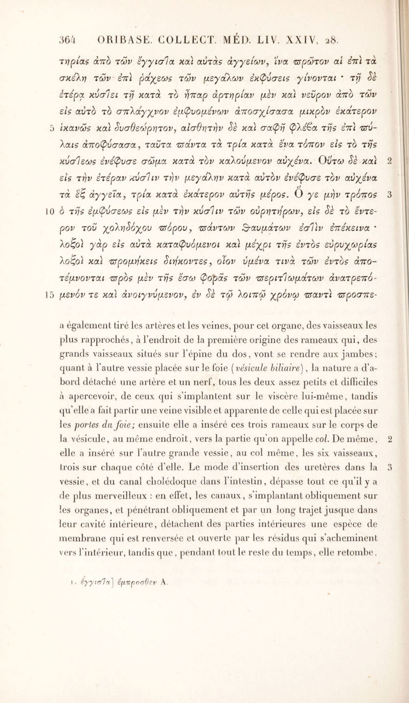 τηρ{<χ5 άτΓο Ίων εγγισία Kcà olvtols αγγείων, ίνα Ήτρώτον αΐ εττ) τα σκέλη των εττ) ράγεω9 Ίων μεγάλων εκφυσεΐ5 γίνονΊοα * Ίγ Sk ετερα κνσίει ίυ} κατά το ήτταρ άρΊηρία,ν μεν κα) νεΰρον άττο Ίων εΪ5 αυτό ΊΟ σττλάγγνον εμ^υομενων άποσχ^ίσασα μικρόν εκάΊερον 5 Ικανώζ και ^υσθεωρηΊΟν, αίσθηΊην Sk και σαφή (^λεβα Ίηζ επ) trru- λαι$ άτΐοφύσασα, ταυτα τ^άνΊα τά τρ/α κατά ενα Ίοιτον ε/? το Ίη$ κύσΙεωζ ένέφυσε σώμα κατά Ίον καλούμενον αύγενα. Ουτα^ ^ε καί 2 εΐ9 Ίην εΊεραν κύσΙιν Ίην μεγάλην κατά αυτοί^ ένέφυσε Ίον αύγενα Ία εζ αγγεία, τρ/α κατά έκαΊερον αυΊηζ μεροζ. Ô γε μην ίportos 3 10 ό Ίηs έμφύσεω$ εΪ5 μεν Ίην κύσΊιν Ίων ούρηΊηρων, ει$ ^ε ίο ευτε- ρον του γολη^όγου ττορου, τΰάνΊων ^αυμαΊων εσΤιν εττεκεινα · λοζο) γάρ εΐ$ αυτά καΊαφυόμενοι καΐ μέχρι Ίη$ ενΊΟβ εύρυχωρι'α$ λοζο\ και τΰρομηκεΐ9 §ιηκονΊε$, οιον υμένα Ίΐνά Ίων ένΊ0$ άττο- ΊέμνονΊαι rspos μέν Ίη$ εσω (popa? Ίων 'ΰερίΊίωμαΊων άναΊρεπό- 15 μενόν τε καί άνοιγνύμενον, εν ά'ε Ίω λοιττω χρόνω τΰανΊΪ ττροσττε- a également tiré les artères et les veines, pour cet organe, des vaisseaux les plus rapprochés, à l’endroit de la première origine des rameaux qui, des grands vaisseaux situés sur l’épine du dos, vont se rendre aux jambes; quant à l’autre vessie placée sur le foie [vésicule biliaire), la nature a d’a- bord détaché une artère et un nerf, tous les deux assez petits et difficiles à apercevoir, de ceux qui s’implantent sur le viscère lui-même, tandis qu’elle a fait partir une veine visible et apparente de celle qui est placée sur les portes du foie; ensuite elle a inséré ces trois rameaux sur le corps de la vésicule, au même endroit, vers la partie qu’on appelle col. De même, 2 elle a inséré sur l’autre grande vessie, au col même, les six vaisseaux, trois sur chaque côté d’elle. Le mode d’insertion des uretères dans la 3 vessie, et du canal cholédoque dans l’intestin, dépasse tout ce qu’il y a de plus merveilleux : en effet, les canaux, s’implantant obliquement sur les organes, et pénétrant obliquement et par un long trajet jusque dans leur cavité intérieure, détachent des parties intérieures une espèce de membrane qui est renversée et ouverte par les résidus qui s’acheminent vers l’intérieur, tandis que, pendant tout le reste du temps, elle retombe , h. έγγισίοί) εμτΐρησθεΐ' A.
