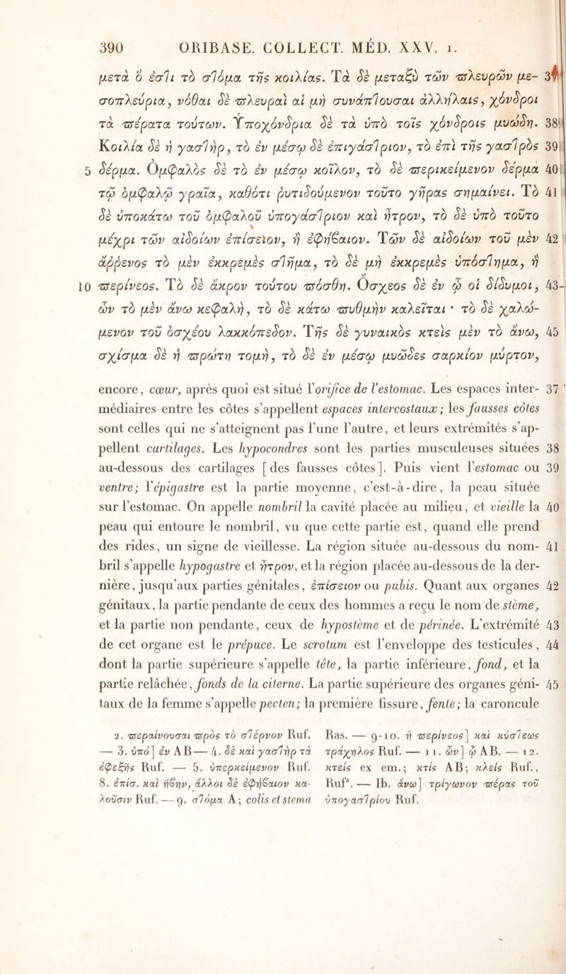 μετά 6 έσΐι το σΙόμα τηζ κοιλίας. Τά Sk μεταζυ των τΰλευρών με- 3^· σοττλεύρια, νόθαι Sè τ^λευρα) αΐ μη συνάπΙουσαι άλλη'λαις, χ_6ν^ροι τά τΰερατα τούτων. Ύττογόν^ρια ^ε τά ύτΐο τοίς γόν^ροις μυω^η. 38* Κοίλ/α Sè η γασΊηρ, το εν μέσω Sk επιγάσ!ριον, το επί της γασίρος 39; 5 ^έρμα. Ομφαλος Sè το εν μέσω κοίλον, το Sè τΰερικείμενον ^έρμά 40! τω ομ(ραλω γραία, καθότι ρυτι^ούμενον τούτο γήρας σημαίνει. Το 41 Sè υποκάτω του 6μ(ραλοΰ ύπογάσΊριον και ήτρον, το Sè ύττο τούτο μέγ^ρι των αιδοίων επίσεΐον, η è(pri^aiov. Ύών Sk αιδοίων του μεν 42 άρρενος το μέν εκκρεμές σΊημα, το Sè μη εκκρεμές ύττόσΊημα, η 0 τΰερίνεος. Το έιέ άκρον τούτου τΰόσθη. Οσγεος ^έ εν φ οι ^ί^^υμοι, 43- ων το μέν άνω κεφαλή, το ^έ κάτω τΰυθμην καλείται * το ^έ χ^αλω- μενον του οσγέου λακκόιτε^ον. Της ^έ γυναικος κτε\ς μέν το άνω, 45 σχ^ίσμα ^έ ή πτρωτη τομή, το ^έ εν μέσω μυώοες σαρκίον μύρτον, encore, cœur^ après quoi est situé Voinjice de l’estomac. Les espaces inter- 37 médiaires entre les côtes s’appellent espaces intercostaux ; \os fausses cotes sont celles qui ne s’atteignent pas l’une l’autre, et leurs extrémités s’ap- pellent cartilages. Les hypocondres sont les parties musculeuses situées 38 au-dessous des cartilages [des fausses côtes]. Puis vient re5iomac ou 39 ventre; Vépigastre est la partie moyenne, c’est-à-dire, la peau située sur l’estomac. On appelle nombril la cavité placée au milieu, et vieille la 40 peau qui entoure le nombril, vu que cette partie est, quand elle prend des rides, un signe de vieillesse. La région située au-dessous du nom- 41 bril s’appelle hypogastre et ητρον, et la région placée au-dessous de la der- nière, jusqu’aux parties génitales, έπίσειον ou pubis. Quant aux organes 42 génitaux, la partie pendante de ceux des hommes a reçu le nom de sterne^ et la partie non pendante, ceux de hypostème et de périnée. L’extrémité 43 de cet organe est le prépuce. Le scrotum est l’enveloppe des testicules, 44 dont la partie supérieure s’appelle tête, la partie inférieure, yb/zd, et la partie relâchée, fonds de la citerne. La partie supérieure des organes géni- 45 taux de la femme s’appelle pecten; la première fissure,la caroncule 2. ’τΰερα.ίνονσαι τδροζ τό σΊέρνον Ruf. ■— 3. ύττό] έν Ah— ίι. Sè καί γασ1·γ}ρ τά Ruf. — 5. ύκερκείμενον Ruf. 8. έπ/σ. καΙ rjërjv, άλλοι Sè ε<Ζ)·ή§αιον «α- -^ο£ίσ<ι; Ruf. — 9· Α; colis et stetna Ras. — 9 10. v τΰερίνεοζ] και κΰσΊεως τράχτηλοζ Ruf. — 11. wr] ωΑΒ. — ΐ2. κτείζ ex em.; κτίς ΑΒ; κλε/? Ruf., Ruf. — Ib. ανω] τρίγωνον τδέρα? του ύττογασΊρίου Ruf.