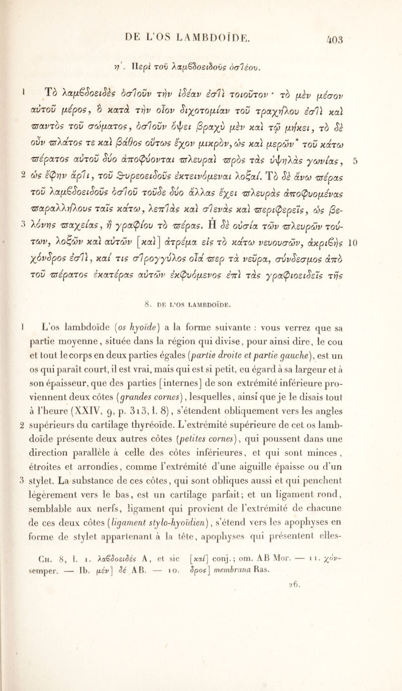 DE L’OS LAMBDOÏDE. Yf . Περ^ του λαρβδοείδού? όσΊέον. 2 ο Ο Το λaμêSoειSεs οσίουν την iSéoiv έσΤι τοιοΰτον · το μεν μέσον αυτόν μερο$, ο κατά την οΊον ^ιχοτομίαν του τραχη'λου εσΐι κα) τηαντοΒ του σωματθ5, οσΊοΰν οψε/ βρα,γυ μεν κα\ τω μηκει, το Sk ούν τΰΧάτοζ τε κα\ βάθοβ ούτως έγον μικρόν, ώς καί μερών* του κάτω τΰέρατος αύτου Svo άποφύονται 'υτλευρα'ι τ^ρος τάς οψ)7λά5 γωνίας, 5 ως έφην άρ1ι, του Β-υρεοει^ονς έκτεινόμεναι λοζαί. Το <5^^ άνω τΰερας του Χαμ^^οει^οΰς οσίου του^ε Svo άλλας εγει τ^λευράς άττοφυομενας 'ΰταραλληλους ταϊς κάτω, λεττΊάς κα) σίενάς κα) τΰεριφερείς, ως βε- λόνης τΰαγείας, ij γραφίου το 'πτέρας. Η Sè ουσία των τ^λευρών τού- των, λοζών κα) αυτών [καί] άτρεμα είς το κάτω νευουσών, άκριτης 10 χόνδρος εσΤι, καί τις σίρογγύλος ο1άτ5ερ τά νεύρα, σύνδεσμος άττο του τΰέρατος εκατερας αυτών εκφυόμενος εττ) τάς γραφιοει^ίς της 8. DE L’OS LAMBDOÏDE. 1 L’os lambdoïde [os hyoïde) a la forme suivante : vous verrez que sa partie moyenne, située dans la région qui divise, pour ainsi dire, le cou et tout lecorps en deux parties égales [partie droite et partie gauche), est un os qui paraît court, il est vrai, mais qui est si petit, eu égard à sa largeur et à son épaisseur, que des parties [internes] de son extrémité inférieure pro- viennent deux côtes [grandes cornes), lesquelles, ainsi que je le disais tout à l’heure (XXIV, 9, p. 3i3,1. 8), s’étendent obliquement vers les angles 2 supérieurs du cartilage thyréoïde. L’extrémité supérieure de cet os lamb- doïde présente deux autres côtes [petites cornes), qui poussent dans une direction parallèle à celle des côtes inférieures, et qui sont minces, étroites et arrondies, comme l’extrémité d'une aiguille épaisse ou d’un 3 stylet. La substance de ces côtes, qui sont obliques aussi et qui penchent légèrement vers le bas, est un cartilage parfait; et un ligament rond, semblable aux nerfs, ligament cjui provient de l’extrémité de chacune de ces deux côtes [ligament stylo-hyoïdien), s’étend vers les apophyses en forme de stylet appartenant à la tête, apophyses cpii présentent elles- Ch. 8, 1. 1. λaSêoειêέζ A, et sic [κα/] conj.; om. AB Alor. — 11. χόν- semper, — Ib. yi-év) Sé AB. — 10. Spos) membrcina Wàs. 9.6.