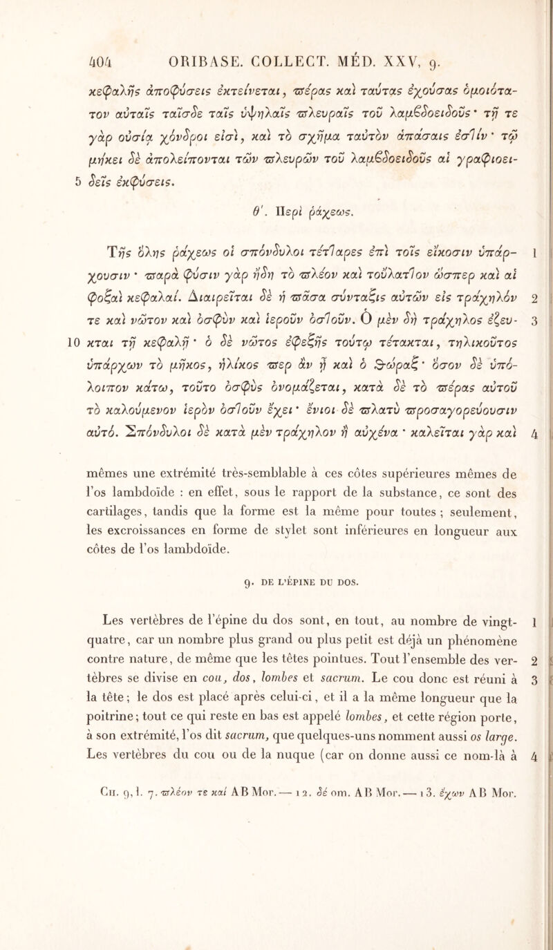 xe(ptxXri$ άτΐοφύσεις εκτείνεται, Tffépa? κα) ταύταζ εγουσαζ ομοιότα- τον αύταίβ ταίσ^ε ταί$ ν-φηλαΐί Ότλευραΐζ του λαμ^^οει^οΰ5 * Trj τε γάρ ουσία γ^όν^ροι εισ\, κα) τέ σγβμα ταύτον άττάσαις εσΊίν' τω μηκει ^ε άττοΧείττονται των τΰΧευρων του λαμ^^οει^οΰζ αΐ γρα^ιοει- 5 Sε7$ εκ(ρύσεΐζ. θ'. Περί ράχεωε. Ύηζ 6λη$ ράγεω9 οΐ σπόνδυλοι τέτΊαρε? εττ) τοίζ είκοσιν ΰπαρ- χουσιν * τΰαρα (ρύσιν γάρ η^η το τΰΧέον κα) τοϋλατίον ώσπερ κα) ai φοζα) κε(ραλαί. διαιρείται Sè η τΰασα συνταζίζ αυτών εΐζ τράγρηΧόν τε κα) νώτον κα) 6σ(ρυν κα) ιεροΰν οσΙοϋν. Ô μεν τράγ^ηΧοζ εζευ- 10 κται τγ κε(ραΧγ ' ο ^ε νώτοζ εί^εζηζ τούτω τέτακται, τηΧικοΰτοζ ύπάργων το μηκοζ, ηΧίκο5 πίερ αν γ κα) δ 3-ώραζ' όσον Sè ύπό- Χοιπον κάτω, τούτο δσφύζ ονομάζεται, κατά Sè το Tsépas αύτου το καΧούμενον Ιερόν οσΊοΰν εγει * ενιοι Sè πτΧατυ τΰροσαγορεύουσιν αυτό. 'Έ^πόν^υΧοι Sk κατά μεν τράχρηΧον η αύγενα * καΧεϊται γάρ κα) 2 3 mêmes une extrémité très-semblable à ces côtes supérieures mêmes de l’os lambdoïde : en effet, sous le rapport de la substance, ce sont des cartilages, tandis que la forme est la même pour toutes ; seulement, les excroissances en forme de stylet sont inférieures en longueur aux côtes de l’os lambdoïde. 9. DE L’ÉPINE DU DOS. Les vertèbres de l’épine du dos sont, en tout, au nombre de vingt- 1 quatre, car un nombre plus grand ou plus petit est déjà un phénomène contre nature, de même que les têtes pointues. Tout l’ensemble des ver- 2 tèbres se divise en cou, dos, lombes et sacrum. Le cou donc est réuni à 3 la tête; le dos est placé après celui-ci, et il a la même longueur que la poitrine; tout ce qui reste en bas est appelé lombes, et cette région porte, à son extrémité, l’os dit sacrum, que quelques-uns nomment aussi os large. Les vertèbres du cou ou de la nuque (car on donne aussi ce nom-là à 4 Cii. 9,1. 7. 'Ζΰλέον τε 7cai AB Mor.— i 2. oin. AB Mor.— 1 3. έχωυ AB AJor.