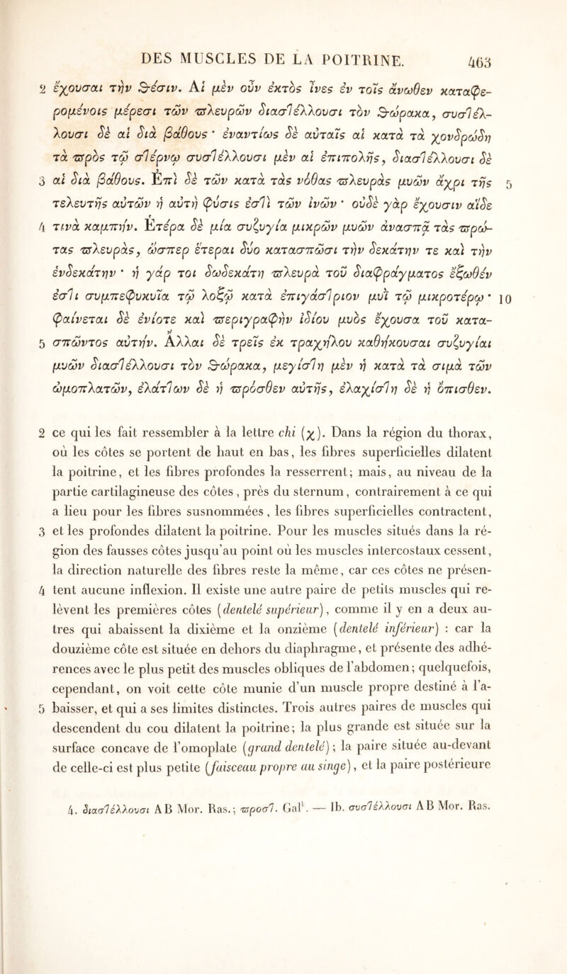 εχουσαι την Β-εσιν. Al μεν ουν έκτο? Ίνε$ εν τοίζ άνωθεν καταφε- ρομένοΐζ μερεσί των τΰλευρών SiaaléXkovai τον θώρακα, συσίελ- λουσι Sè αί Sià βάθονβ * έναντίω$ αύταίς αΐ κατά τα γ^ον^ρω^η τα trrpo? τω σΊερνω συσΊέΧλουσι μεν αΐ επιττολη?, ^ιασίελλουσι Sè 3 οίΐ Sià βαθον$. Étï·} ^ε των κατά τά$ v6Sas τΰΧευραΘ μυών άχρι της 5 τελευτής αυτών ή αύτη φόσις εσΤι των ΐνών ’ ού^ε γαρ εχρυσιν α'/^ε 4 τίνά καμτΐην» Ετερα Sè μία συζυγία μικρών μυών άνασττα τάς τΰρώ- τας τΰλευράς, ώσπερ έτεραί Svo κατασπώσι την ^εκάτην τε κα\ την έν^εκάτην * η γάρ τοι ^ω^εκάτη τιτλευρά του διαφράγματος εζωθεν εσΊι συμπεφυκυία τώ λοζώ κατά έπιγάσΙριον μυι τω μικροτέρω* ίο (ραίνεται δε ενίοτε κα) τΰεριγραρην ίδιου μυος εγουσα του κατα- 5 σπώντος αυτήν, Αλλαι δε τρεις εκ τραγηλου καθηκουσαι συζυγίαι μυών διασ1 έλλουσι τον 3·ί3ρακα, μεγίσΙη μεν η κατά τά σιμά τών ωμοπλατών, έλάτΙων δε rj τΰρόσθεν αυτής, έλαγίσΙη δε η όπισθεν. 2 ce qui les fait ressembler à la lettre cM (χ). Dans la région du thorax, où les côtes se portent de haut en bas, les fibres superficielles dilatent la poitrine, et les fibres profondes la resserrent; mais, au niveau de la partie cartilagineuse des côtes , près du sternum, contrairement à ce qui a lieu pour les libres susnommées, les fibres superficielles contractent, 3 et les profondes dilatent la poitrine. Pour les muscles situés dans la ré- gion des fausses côtes jusqu’au point où les muscles intercostaux cessent, la direction naturelle des fibres reste la même, car ces côtes ne présen- 4 tent aucune inflexion. 11 existe une autre paire de petits muscles qui re- lèvent les premières côtes [dentelé supérieur), comme il y en a deux au- tres qui abaissent la dixième et la onzième [dentelé inférieur) : car la douzième côte est située en dehors du diaphragme, et présente des adhé- rences avec le plus petit des muscles obliques de f abdomen ; quelquefois, cependant, on voit cette côte munie d’un muscle propre destiné à la- 5 baisser, et qui a ses limites distinctes. Trois autres paires de muscles qui descendent du cou dilatent la poitrine; la plus grande est située sur la surface concave de l’omoplate [grand dentelé) ; la paire situee au-devant de celle-ci est plus petite [faisceau propre au singe), et la paire postérieure 4. Staal έλλουσι AB Mor. Ras.; 'τ^ροσΐ. Gaf'. — Ib. συσΊ έλλουσι Λ B Mor. Ras.