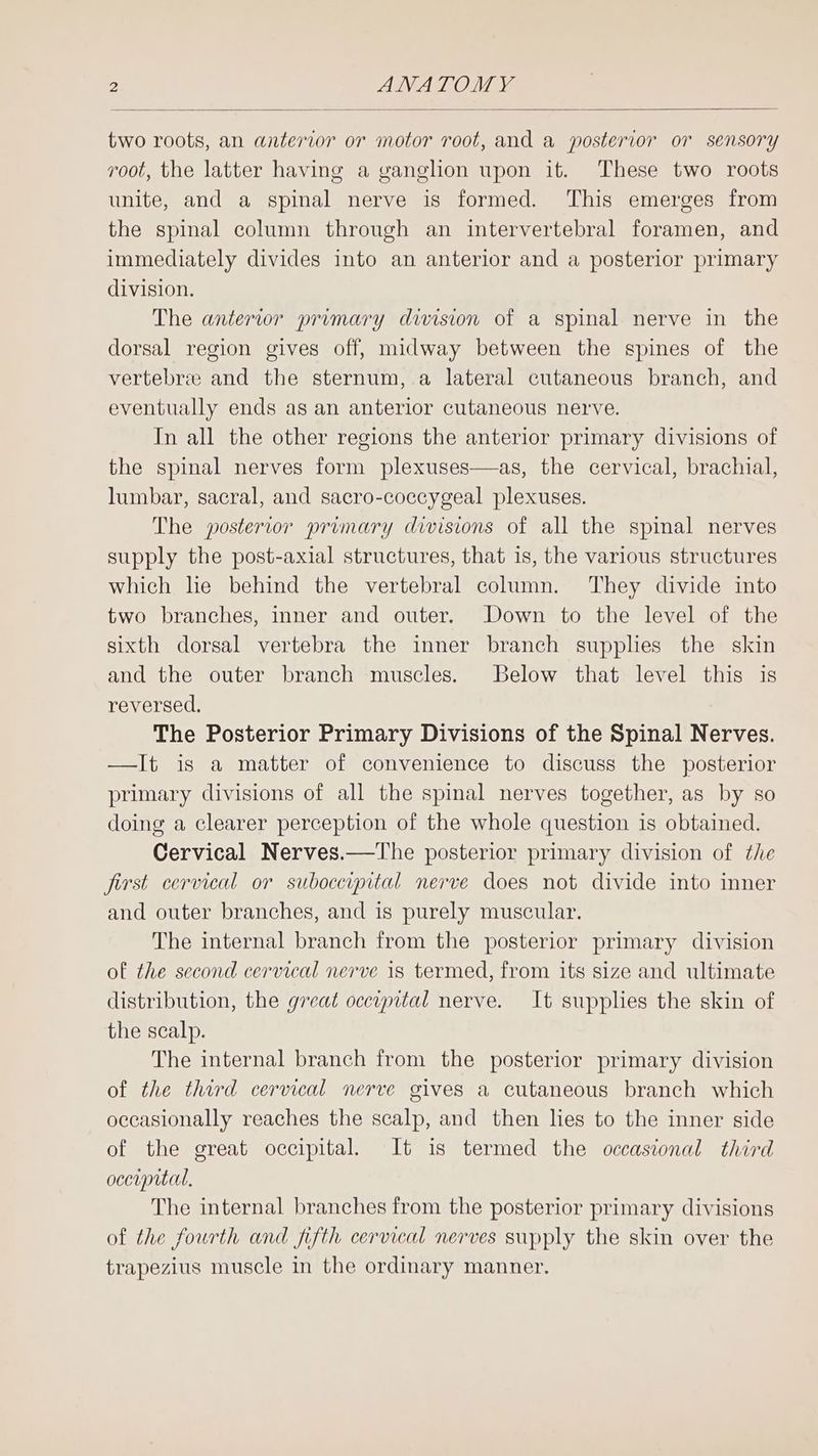 two roots, an anterior or motor root, and a posterior or sensory root, the latter having a ganglion upon it. These two roots unite, and a spinal nerve is formed. This emerges from the spinal column through an intervertebral foramen, and immediately divides into an anterior and a posterior primary division. The anterior promary division of a spinal nerve in the dorsal region gives off, midway between the spines of the vertebree and the sternum, a lateral cutaneous branch, and eventually ends as an anterior cutaneous nerve. In all the other regions the anterior primary divisions of the spinal nerves form plexuses—as, the cervical, brachial, lumbar, sacral, and sacro-coccygeal plexuses. The posterior promary divisions of all the spinal nerves supply the post-axial structures, that is, the various structures which he behind the vertebral column. They divide into two branches, inner and outer. Down to the level of the sixth dorsal vertebra the inner branch supplies the skin and the outer branch muscles. Below that level this is reversed. The Posterior Primary Divisions of the Spinal Nerves. —It is a matter of convenience to discuss the posterior primary divisions of all the spinal nerves together, as by so doing a clearer perception of the whole question is obtained. Cervical Nerves.—The posterior primary division of the first cervical or suboccipital nerve does not divide into inner and outer branches, and is purely muscular. The internal branch from the posterior primary division of the second cervical nerve is termed, from its size and ultimate distribution, the great occupital nerve. It supplies the skin of the scalp. The internal branch from the posterior primary division of the third cervical nerve gives a cutaneous branch which occasionally reaches the scalp, and then lies to the inner side of the great occipital. It is termed the occasional third occupital, The internal branches from the posterior primary divisions of the fourth and fifth cervical nerves supply the skin over the trapezius muscle in the ordinary manner.