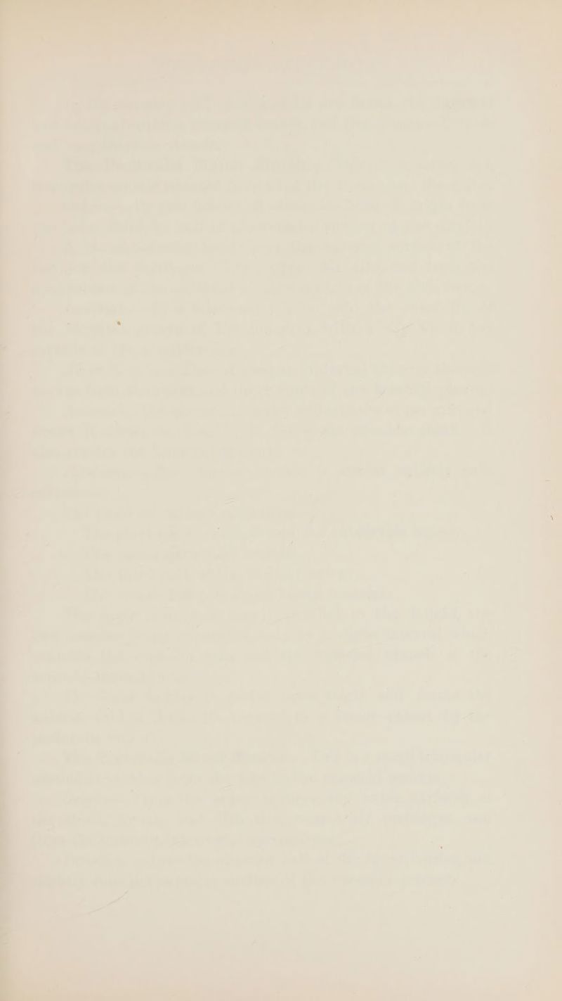 5 il ( 7 7 _ - ibe ie sey Bent or eg it). ee 4) 2 acum ae peRE CONTE di ane peat : es ie 5 {Mei pas. ee. o%a, Large, Let SaeeUlglentnt foi (viel -¥ iad Seoiens ins em A hemes ly? Sra) ol, vel: ‘ee ps Call uf Sie Wry @-'! de hee fered Spiga tie nal aiou GT ee) a phewis 1¢) bn peopled) > FF Jim Mh.) oe ; Meche cae a Pri Low 2 Rp Bayes we fee ii eid ©. rh : a ehais rwye a Te —- dia ov a Loa Bern: ; DM Roripe = Ne 1 eee Pure, beta Sul + | . an 0st a) ~~ - btn mi —6 ace Mi To. a ihe eee mm cst. ow aii : e . ‘wy. aot iow Gay bre! Vis OF ise) Fi miei i ; - 7 a Gite uae qmeree ai \).* a! Sai \ase Be 7? + oer Ching RNAP ee ies Ts at ~~ 1 (ay ae ft _) Ee LC, irene temtiy a -.° j : Ava off? la Raualine fond -4 Ala eo! SPRIAM HFe © Pre Pirivrelly Wi gor Moaic RP Bible HOA Masts Da Lis Ca Loren» = Pewee IDA wnpe lack ¢ pre Rages, Cig) Ai ie 1h tte’! ae Maibebetdsden A! apmiamysi’ ae | Sintilies waletioe dadt of Gy dives: | diel, 04 Pee sestades on aed ae _ es % on ‘ : ) » : def. nae —_ Bait