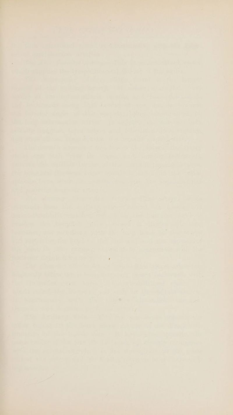 ca 7 vp ; 7 eaten Psp: ye. erent ved nis etary ne ae) re : Peasiie Stove Path Pr Par.2hi amas an ee fos the: gaa ‘ ansy faa ihe a fhe bey’ eee Ate &amp; th ae) SPER oe the Dane etilary arity FE ania . » ea the OUT Marie Se RwioR,: SY: A yt elcid “ig ht eee eno Prete eGb: teh nha, eke pid Rif mts ayn! ar Gee hae, fers suse a a. er an , Ti ame: i yes the heave itn! ty J .F / . 5 _ >> i) oe a2) A _ 7 a Gary J nays m 7%. Piste. Bh tuniaty bts ne i S68 bait AGAK A ee ia erRSe 4 08) ae A aby? rym Tic Asdtiass ¥ iG bar WH Cor we ‘tha bitte | oe. bie > aa Ife, © obs ai}; ae era the pilielana ei: ot WA. zresry Pr <