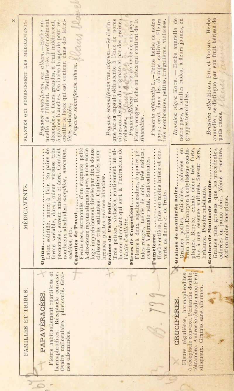 X Xfî H U <5 U a rf) W iJ H Z w c/3 CTj Z cC P O !3li D O c/3 W Z J il- r/2 H Z W < O Û c/2 P P H H W c/2 P P P <5 <1 P ctf O ^ <-H <P O C! O ^ 'D ^ 'Xi 'r^ fl v0 O rrf .2 P 05 C/3 C/3 O <D d) C/3 ‘ s ^ ^ ffi, O O. O ^ c/2 ^ o5 QJO o: «32 O 5 c/3 ^ C/3 fl CL, ni c/3 I ^ !=l U et sJ 1c O !=! d .2 O Ù.JS 03 -<3 O fl ^ O 03 O flvo ^.b O ^ o5 *0 O 'C5 c/3 Cu > : O O — - rr '+*^ O CD .22 c! ^ O ■fl fl O fl •'-' cÿ CJ : «32 i P c/3 •O '*«o I 02 02 , <+-> <+-3 , G Cîî S 02 bO^ c/3 g a '-g 'n ticA Ph jr! d ’PS I <» S bJD Pf'? CS .r ^ ^ , 73 C S S 3^ >=^ I s 'lI ^ O ’r^ -î-a O C ^ 3-2— ® ^ ctf TrO ^ 02 02 ^ -•.P 02 P 05 C/3 02 O 05 ' 02 !i2 ^ 05 •-- fl oj ço rd Ç-' 73 73 ^ fD q3 02 i-rt 02 c/3 , ^ ^ <02 02 ^'SS ûs 2 i ^n'S ?s. 02 02 « X GD ^ C;- 02 ^ « bO ^fl C c/3 fl ^ 02 CD CD ^2 ■ ^02 fl fl 'd C2 2^ ^ ^ fl P Sï , 02 fo fl • «*-i« ~ ^ a- 73 ' CL, 2 f? Lh « 02 ^ û-, V ^ fl 05 02 2 ^ 02 . Cb fcjj' ^ .V >7 CD fl'P CD 02 CD '02 fl •!fl «1^ fl S çÿ CD C ç Ah fl U 05 O se fl .■ M ^ ■ O 02 «02 ' 02 ' fl , O 02 flL 02 fl f<» '02 fl B '• C5 CD 02 fl fl •02 02 02 P ^ 02 CD S c-^ ci fl 'fl fl . ^ fl ..-K CD fl -1-5 O) fl , CD r- (Gh fl fl^ 02 <02 fl . ^ O ' O fl ^ bj:n <02 ..-H CD 02 I O 3= fl ^ fl O -f-J O fl fl -12 fl fl -02 02 :_ 'fl 'Ô i/} Ch O 02 pfl CD fl ^ 02 fl -(-5 fl O fl fl fln CD fl V C-, G 'fl h fl CD 02 § ° CD <02 cfl ^ • (—I Çfl fl 02 rt fl 0 > Si CD fl fl fl O ^ CD X “ a ^ Ch 02 .Oc-; d 2 ï O Æ -s d d O g-as ÏH O Q, d <L3 d ; P-i -ce CD 02 ^ Scc b’-fl ^ Ù- fl CD et:'g N ce pP a & G C/2 îC fl ^ O 02 .2 bc’o O -fl fl , b£)’- Cr C ■ 02 02 • <02 O fls 02 02 Ch C) X > fl 02 ^ Îh ro so -O 02 S §S 02 x--' CD G •::j 'fl C 0^ ^ fl<:: H Æ Ch ^ <02 'o CD i«H = .- S 1-'^ bo © 02 g .b- CD Ch 02 - CD 02 i:-. C CD * d O 3 « Pu b'^ i. f- CD « 73 .a a -LL. O g £ 'd <I> 02 j£ 02 02 02 ^ H s >-H X 02 02 X CD 02 ':5 fl X O fn G 'fl CD .03 W <w £< a ü ce ‘il-. - d ' ^ e g Pl (£ S ^ 02 <02 •N ^ P^ fl' fl C fl CD CD 1 < 1 0^ g 03 .4-3 W ‘02 ^ ^ -2 d 2 la 73 4d a a pl L. -d ^ c6 Ch P P- ^ CD 02 X 02 ^ O d C5 02 02 02 O CD ce 02 îC 02 HH ^ ffi CD f-t <fl 0- ' O • 02 ^ ^ 02 fl ^ 'H ^ d t_i fl CD fl h3 X sp O O CD W-2 es ‘5 _a3 Cl 03 ce bj t' g •H >^B g S 73 ? 03 f=^ Pp^ & O 11 d bo K 2 §r. ffi.d «S .22 S xi ■ ^ 02 CD OJ ’i-'S <r> ^ 05 02 ^ ^ fl cq d.ce fl O fl CD 02 I 02 fl ^ fl O g.S^ ■y 73 fl O H-H ;i_i O O O H-s <02 fH CT* ^ 03 fl X fl in CD O 02 S-< CD O [r; 02 O 'fl 02 • 02 fl -fl O O fl fl <02 îH O .Q3 72 fL dL 03 ; g a - fl <02 C r h •fl CD fl fl 02 ^ fl ir-i -d ® g -a L,c 03  rg O g ^ r—I -e 72  ■ >.73 ^ O d . Cd 11 & 6û Z ^ ■ 03 ' 03 03 î^L.-d 23 03 Ph CD fl ^ fl d S vc 02 'fl fl O ' ‘ CD fl OÉ CD ^ 02 fl fl! ^02 • fl ^ ce O s-i d O 8 O » ■?f- 73 03 • 03 - ■ CD E-^ cd 'W Ua ►-) ü D PC ü ^ a fa Sd! g d -d a 03 ce S fl -hS fl G S a^-.d r ce 13 ^ O ‘î: -g fa .03 -il 73 pu .03 d fl CD 02 02 CD X <fl <s :l^§i 8n ° d '£ nr ■® L. <16 a 03 LL CD fl t- Z d'^'S g pj S ce gn fa'gie.fa .03 • CD