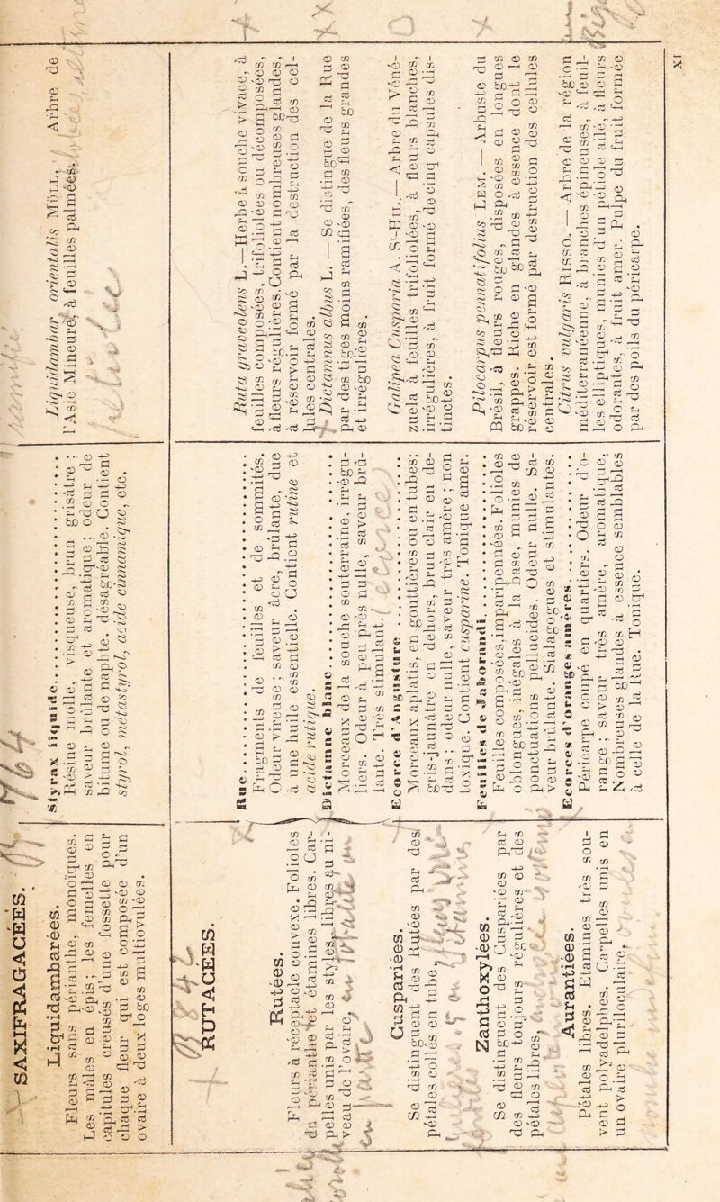 - ;>< V N <D O < •• <13 .j: <*) ^ 'O O ’s: ^ 'N^ 3 S £h ' -• “ S S 2 ^ .S i '2 O ^ ^ <y • - O O U .-O -t-J ^ ^ O .2 O O - £- ^ O ^ bx) O S .. ai -2^ 2 0) 3 S ? 3 2 S O &'<» ~ .—I £_, ^ S s.§^ O 5 0^5^ r/^ rri _ <’/> c/3 O a O ‘(D ê O 2 Jg tn '^Tb, 'U g ü « d ■CD ï O si O CO ^rS CO CO bO c .:x <-i—( ■5§ O CO .eu P rfi ^ fl CO O O CO a 03 O en cd ci Q-i fl cd fl C . ) O !T. ce. •03 t-. r/3 es fl w iî =o CO 2 fl ^ 2 ,S 'fl s '-^ fl 0) jsj CO bO O-g Ov^ c/) '-fl ^ 03 flN - ^ -O -0 CO fl O —; -C -fl fl O <“! fl '—I O C-i i-. CO et fld i: O i'=^- K O -O J -gJ P O d • ’-i:: O <d O « 'S -t; en r~< ûJ 2 ^ 'ts O 0 en QD O y) V-I 2-1 c::^ CO O CO ^ c;) ^ 03 fl e bo-^ -fl CO' O Û3 fl S O s CD O I CO . ^ CO _ w O fl .fl CO -^;e ^ fl* fl ^ «—t ^ rn ^ r_ :~F«i 2 O s '<D I « g  O C/^ fl C'5 fl O fl . 2 bc s ^c ^ • fl '—' CO • 'S 2' 03 S ?- G ' . CO O CO 03 2m .-03 O P O g^ ■fl ^ fl ?^' V ^ Mh O 03 B-/ â / iï bO^ O 03 y ^ 03 i-G B cT-S SB ? '' 'D ■g B § 03 d 03 fl ■ <fl fl 'CO . ^ CO cj ^ CO •;r 03 Ci. >'^ m a)'?^ g co O 3 2 fl^ ^ mA* 03 fl: 03 ?ô fl fl . î/^ 2-« fl 2-. fl 03 • ^ fl ri CD S .2 fl fl 03 03 ^ CO fl '' rfl ?cr:2 03 2^ fl CO fl ^ 03 _ fl r^ c ^ 03 CT .2 S to g ■a:) -Q • CO *. fl O y fl 03 03 ; 03 'CD fl .4-S CX3^ > fl CO CD ’-fl ; o • fl Ph g r-, ^ U P S 03 ^ S , O . CO O G Ph g CO r2 03 (fi 03 fl 2_^ • CO ♦ 03 G 1 fl c/3 CD ' O O 03 W. P . fl5 fl fl 03 c <p a fl • 2 I O CO 03 -2 fl * fl • ç* CD fl 'S 03 fl I ^ fl Gd fl * G f~‘_ ’S 2 tr' • c/3 2 fl fl • O 03 fl r^ CO CO O 03 C 'CD H 7^ U :2B ■' • 03 I •* CO ^C 03 03 03 , fl CO ^ O ^ ^  B 03 ce: P--^ 'O CO ■fl _ 03 fl JC S S O 03 O O 9 fl 03 CO