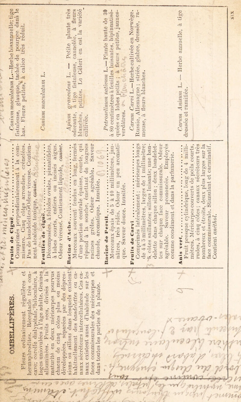 ^ . ; ^ :- ai ^ O cd ' a d O Ci5 2 ^ C!5 QJ) 0^ â ai ai •’CJ 5-i î^ ü! -O O >-l- <3^ ^ O ^ g &jd2 «O 'S ^ '^î to5'=d S O (/J • ^ +j O (B s d ^ 'O cS ü P» ^ë «3 ai '^. ai «^cD s O 3 g ^ ^ O O ü èJD > d1 fd O in ■ r^j ri c:i ^ O ci ■ bJD d «Sort S'y fl :u- cd O .b ^ .- O ü O ^ ü irH - <0 d ^ S (^ TU gH ü g rCd ai d , d O 'b Va y ^ ^ t; 13 î== ^ S- O Ô4§ 6 vcü vo 'd g p5 Cfi 2 ^ >^,d .-t^ > -TU d t/3 ' 4^ ^ d G O 03 d . s S ctf , —' fy> -'y.// 1^ Cr3 ' b bfj^ d ^ <D CD CD .d O cfi cfi C.:) ÏÏ ^ ^ ti'> -d 1 ' Ij « en • 1 G '-G • 5fl P cl d d . S 43 g 2 ♦ 0 'D) ^ en G a P • CD IG 3 : GnGd ^ Z 2 '(D d ?-t r-f . ^ s g. : d G en 0 —cï S-i ' ^ S ^ -s ® 35 B ^ tfi -CD -d , JO O ^ Ph -05 . Cd « '2 5 S g G en ' ’d ^ ai 3.'^ -2. S-^'g, O CD ü ijS' ' en nd 'CD —i dd ^ £-1 ■‘^ rd d ^ g ^g 3 en d a; 15 d ^ d 2 2 15 < O p2 ^ 'CD rn ^ ai ^ ^ O • 15 CD O ai 'rrS (D 1^ O CD G ai i:n^ CO ^ O 4-3 d O ^ Oh en S 4^ 15 ^ Gd c-i « 'CD en O O » “ g CD ' G ^ ^ 2 i ^ s cp ' O v?CJ7-^ “ J < 75// * ^ f / / î ^ ?7î”^ ’ / - v’' A 5-'c/’ )ff 7/ />' ' > } J*H:^^i ■' iy , ' .Z- t->7' }nh‘^ n -'itp ^ ' ■' ,/ VilJHé