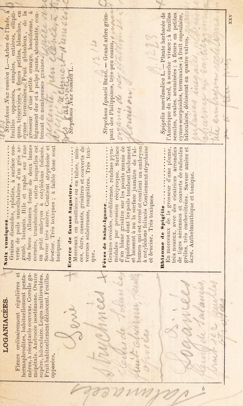 V,* i;; U ■•'K3 .J, en la 'C ^ d Pk 73 £3 ». 05 ^ O 05 *•; f <5* ' , ^-•c G -t; PH 03 05 roi d r~| fl B •«K •j V J O a? C X ^ s ^ g Vi- O rO ^ O a * to O O f-l 03 C-i ^ 1^ 'tf ^ jD *' '71 C w O ^ ^ 0^0 oT - ■; I àjD s rfj ' r/T ^ C S J O S ïtf.S Œ, en '3 O ? .§ g £ 03 ^ CD Pm ce ft ^ s 'C3 « _U 5:ï O «O O cfi crt ^ O Ü § 2 T ^ S ■ & £ S 33 ^ O O O 5 a:. 3 cr2 O a (X) ■■v '♦«^ p- O c/5 05 a = s, £ ^<3 « î—( ^ tT.-o a:) O O •»£' -4j î3 ? O :3 d O O 0) O 05 tf '<!:> CQ ^ 05 O •<s> O . ^ 2^ ^ -H OD _C3 §ô: '<3 05 O O P- '«} ci i* & O en ^ • -tj C3 CD en en n3 ri 3 d 4) -03 S Ch 03 i^ —I nS en Ci S 03 ., —I O ?- en e< D 'H-H -ce O 'P •=: 03 rQ ^ en S3 ^ '-' en C ^ 03 - . d-2 °^S H S 03 r'^'3 ? fH Ci ^ 05 ^ ^0^ ' O CO <X> <o g H O '-3 fH 0) ü C t2 O O ^ 05''^=^ ^ K 05 ::3 C c 2 C ‘5 O ÎH ' 05 ' X S i2 -2 - ë ^ 05 ^ ,05 05 C Ch _0 ^ L_i ^ O tr-i ^ -4-3 05 C 05 05 05 Z-t 05 JI3 ;:5 2 O 4£ ^ <7i o-O ■05 05 . 05 bD I 05 05 Ci O ^ ^ ci 05 P 05 'hHh -;-H 2 2 do: ^ Ch ci D Ph c! c ^ S a(*'^ ^ O -ë-ïï ° O ^ JÜ Jh c ' Ph J d C5 d 05 05 05 7^ Irî ^ <; s s ,/£ =: S « 05 , 05 d e (05 H.^-' ü *''*^ - ^ D D -03 ^ -03 CD 05 • '05 :h O n 6£' =■ 05 05 05 d ^ 05 05 Sh Ci 05 C5 -d g Ti « 05 M ci 05 __ ^ ^ 05 ^ ^ P 05 O Ci 0 O ?> ts^n^ ^ P ifC £•§ ci <• C/2 pS 05 05 d .S^ d O 05 05 d ^ ci ü 05 g S 2 O oT ^ ^ 05 05 O > 05 O O * 05*^ • 05 « T3 l'I :£) O û 05 .Z 05 d î £ ï:o 6t) O pH 'en ? en en ^ P 2 O) H-3 d c bC, 73 05 ci P „ oJ s en ,—( C « P3 D '3 T3i 02 CD 02 -U . O O P en et O O 2 H-H H-j rj P 3 03 ^ O 2-03 en 'P £'§ ° 3 ■— en § 2 '2 1-H en Ph ë- . ë =*h2 03 s Cr'''02 K 43 -03 -H- m f=i ~ 2 O d.- 05 . O P.Q) O 05 pd 'Ci 05 05 05 05 »p P^ 05 ^ d g 'd O pg ëÆ ■ rPl hH 41, ilH '03 ^ CT 2 ^ ü 0-: ’ ' 05 05 ^ g 05 O P-. ^ ^ Ci d d > 05 , CO dn ci K> eu I S . O ÎS 05 .2 ' ce P 'Ci •* _ -£ g CP fl 03 -D fl Ë 'g S ^ ‘v S d 05 r 05 :■ S. S 73 >—1 1 Ci •' N* .2§ > i O ' 1 V ^ ^ ( ■v J ^ . -H Ch •<h.*v05 ^ d 05 ' d , :. 05 ' 05 : d ; Ch -f-3 g iM O :g Qh Jh 05 O Ch ^ ‘d (X) JD 05 05 d 05 O -d 05 05 05 05 q;) S ^ 2 ^ d O 03 g £ d 05 05 7d Cm H-? 05 05 Ch '05 Ë Ci Ch 05 pH > -Ë^ 5 G Cfi s -0; bC c.'' « « ’C Ch ^ H-J 05 Ci ?> g-s s I O I^H „ -43 CD 05 X ‘05 d ci 05 ^ 05 O d d d. bO SW s H^ 73 d '05 ^ i- ■r—( d pd .-H H-J O P g a 05 2 • 05 —I Ch ^ d 05 d • -H d ^05 Ch ^ O b£)<d n/» < w O s»