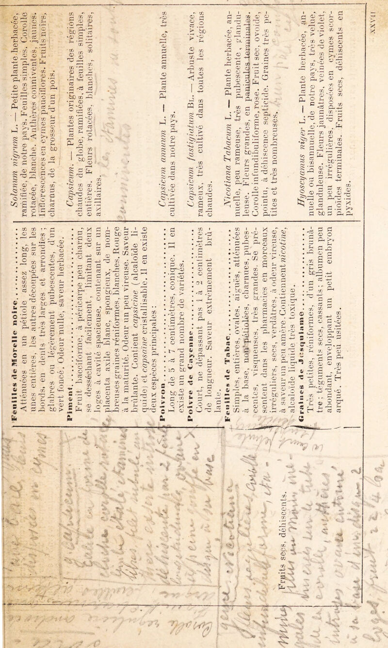 Ç. s O crj cTi ü s- (D O O fi ; C/î c fcD g ; CTj 'c:> CO O fi c fi fi fin p, ü i'fi ^ O • > s s c O 2 .n C« CO a; <u fi CU ü • I O .fi O O CO ’o fin fi ^ CO *fi O Q fi - ,0; -fi O o r—j C fi '' X fi ^ 1 d t 'j: î fi 1 fi 1 rt fi §.2 et zn es > dn Gh d Z ^ 5d cP 'fi -S i '3 1 > X 'fi d' O ?> ^ 'g fi b). ! O fi 'fi (• ' X CO *r. fii ^ O O P a:» O ^ g ÿ- fi fi fi <fi fi c O fin ! fi fcJD CO f O fi S _ CO fi ^ g g.H fa fi Sh O O CO fi -1) O fi ^ fi CO O fi O Oh CO t-J c '1D fi CO ^ —• CD ^ 'fi ffa a'' fi CO O ? fi.< ?fi c:» ? O ; S O; fi fi O >fi CO m û fi vcD > ü Oh c po 0) S: HD ?r <!> ^ 2 oS CO-g fi ;h fi èj:) _ fi fi CO fi • fi fi  iS g O ü ^ ï g g %. a fi . O Tjo fi O fi! O fi = fi Çfi fi c .fi -fi ^ ^ fi CO CO co' P O ^ 9 -ü <2 ^fi -fi ^'sz- -fi fi X fi fi fi fi fi C2 .-H g fi CO 'fi ,‘ CO : fi ' O c fi -fi ^ fi fi ^ CO O * fi ^ J O c^-S S: - fi ;::o fi O 2 C ^ rC) P c- fi « g tx):2 ^ ? CO 'fi! I s = 3 çs fi -2 ce: O «V fi fi fi • fin fin fi O k fi ï ^ ■* fi ^ O c .g U g 'S fi fi . fi £h CO fi fi • O ‘fi ^ n, O . c CO ‘ CO fi CO fi fi 'fiî O rH C^> fi uJ ^ O •!—5 ^ fie ^ fi 2 •ç* fi —' - fi fi CO fi •O ce f-i fi - CO •S fi CO CO 'fi ; -fi fi bpy^ fi S fi ^ fi fi O Ce 9 fi - CO fi ■ ^ i J fi ^ r-» ^ tO fi CO Q fi fi r ’ fi3 CO • fi CO —' CD • U fin ' CO fi fi ^ , CO ' rfi fi te CO fi et cfi fi 'fi fi CO fi fie •4-3 £h fi fi fi -fi O CO fi fi fi fi fi fi > Cl. ^ CO fi 'fi 1 fin : CO fi CO £ ^ g O CO O fi ■-- ce O 'fi CO ; fi fÜ O 9 b C 'fi fi fi CO O ,- fi' fi r- -fi fi S 3 -tf fi • fi u: fi. fi i, fi fi ifi O fi 2 c fi ^ fi^: fi fi 2 y?'S fi - fi fi et 1 c/2 fi fi fi fi ce^fi 5 fi - O CO n c- fi srg fi ^ ^ fi ü O fi ^ fi *o fi fie Sifa fi et . fi ^ CJ CD 3 CO fi z: S fi es i CO fi 5-S, -'^ C et CO '^ CO 'fi c (1) 0-2 et fi 2 fi •t “ CO 'Z , CO fi fi tp CO fi fi fie O I—I fi z; fce > s fi - X X ,3j* fi O CO et O zn ^ ec et fi: fi . Z X tT'fi G ‘fi O ’iH fi G r', fi fi 'fi fi G ^ ifi -G S § O fi 'fi^ G G fi fi fi G fi H 'G ,G 'rt et s- 50 ie — i) s s & . 'fi fi X 1 * <D X ‘fi . CD fi fi .C fi Gh fi '.c/2 X fi r/; fi CD X CS et fi 'g 2 .fi H fi bC G et fi fi X 2 fi fi rrC CO X c J'S'g £ G G fi O G-i ^ _ fi s i 5c- fi O fi X CO O fi 2 fi zi X - 2 fi X pH X fi G fi G fi 'fi d 'Z: G d- , fi 'CD • ^ S S 2 i .2 X : fi , ‘fi fi fi G « zn G C ^ ? boG^ ® G “ G X fi .? fi fi CO O X fi G ' fi fi ■ X O. G-': 'G-i ' O ' 'fa' fi -, X X et fi -G fi O' ■c c OJ s g s c g oj oj en O X « fi Û O fi U G . — et •*-3 G '-' G G fi fi d fi te > ‘ • fi Z U X fi H c/2 'P H ‘fi ÇT* vc U J?; fa ^ ^'r ^ X -i ‘1 V ■i- -A «s) [ I ■■' f^r '•* .;• 'a 4 > T^- ■ v^. . ’ ■ f4 : ^ O ^ fi ^ •x . .-i *trîl * X ■ ■ - f-.. = . - ►.; ■' 'fi r nd . . % . , ± ■■ '  ' i ' • • v_ ■ ”' C. 'N . ^ ■ n..- “fa-- X : ^■ X T fi. 4 ' fi -A - %.■ , fJ V ,*£ -zix r>4 X 'S '' ■ ~ - -Tri^ 5'- /ù^ ’  --/s; I ■bi'\ ni ' v G) « -..^j