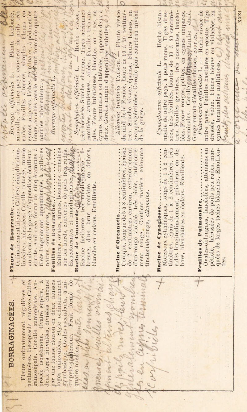 -O ^ ^ O ^ ^ (fl ^ JO. m O (D ü-4 <X> O C3 ci O ;=; C ïT -§ - •cl) P-iva:) •c;3 Fl - O • ^ ? CS O ?? O eu eu- ^ O c- ‘ ^ O O 'O et v: rji ^ O fcjC'';^ O O C O c Vi T - Cfi ^ (fi O ^ C ^ et ^ 'i^ O*'. • ^ J jo ' cr2 <D • ^ O» et ^ O ^2 O O !fi y. O- s; rfi O 'Ci V) O m s ^ . Vi c ^ g - ^ r- '•C;^ '3 ' ■ ' - O Î3b r •-', w O O — 'fi O r- ^ O O ^ ■ ^ §3 -g § CT ^*'^'* «rS -> en ^ c/T ? r/i^ ^ O ” 0 0 5 CL, en 'S. O ii ^ en ;o; ^ 3 c. cij O 2 S et '■ 5 O et O en .1, O rH ^r: 0) 5 U v' -O •■ < ,; h O 'OJ en 5 Çt m C 1-“-^ bO 5 et >^ O C .—I 5 O . 5 d~ s « . - <?!> -s s Si' % en en ^ S 5 <0 O CL, en .2 ^ et ^ 5y O •.(D ?-' O o'U O . et m O •O 5 ■±; en il- O O 'O ^ ^ P - ^ O O O ' ' ^ O en O rrj c! 2 3 ü H ^ — a:> - Cm O ' O en O ü G jC ^ o ^0 C ^ ° ^ ?n ^ 0) OJD G-< ^ , bJD53 'wi \ ' *%ià ■N iT* '»i- re^ ~