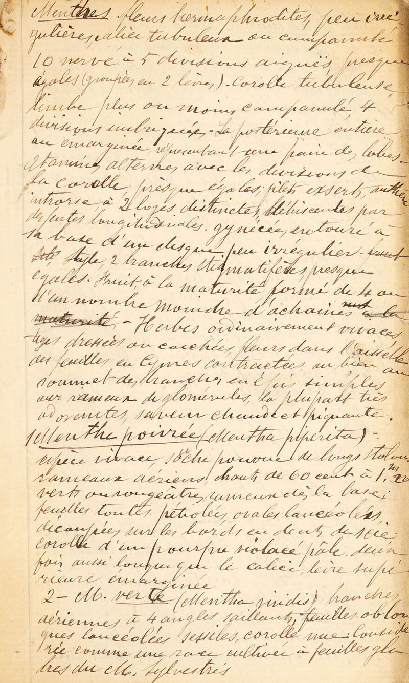 / £cM<.^^élL '^C'i^'i- ^ if ^-^yty^iX^ 'Z y /y fZ/’/^ 2A^ zz i^iz ^ ■21 £ y' I^æZZ 'ZZr (Zé \ci^y i^tL t^-i^/C£f^ /^ It^' / 2jU-C^ ^lf2^c.4it^t^/Zau^i' ^ £>û ii Z J C^ ^ /^/ '’ - - / '^ ^ ■c^ydù./ itéftZiT Ù^cy y /J / <U U‘^'^ -^ / l, LJt-- :'i^ ^ V^''XJLM^AU^ / ^‘2^ 2^ ^ 2i4,i^ ^y-E^z/^, âz^ (Ji-i^ /^eJ<,t<!^ . . . , B tS>-l^iA^'t\^ fZ l>‘-''‘^^— êZ-z/ydcc ,A^ f/oc âdz^^ d^é^i^zLy/lzJ/