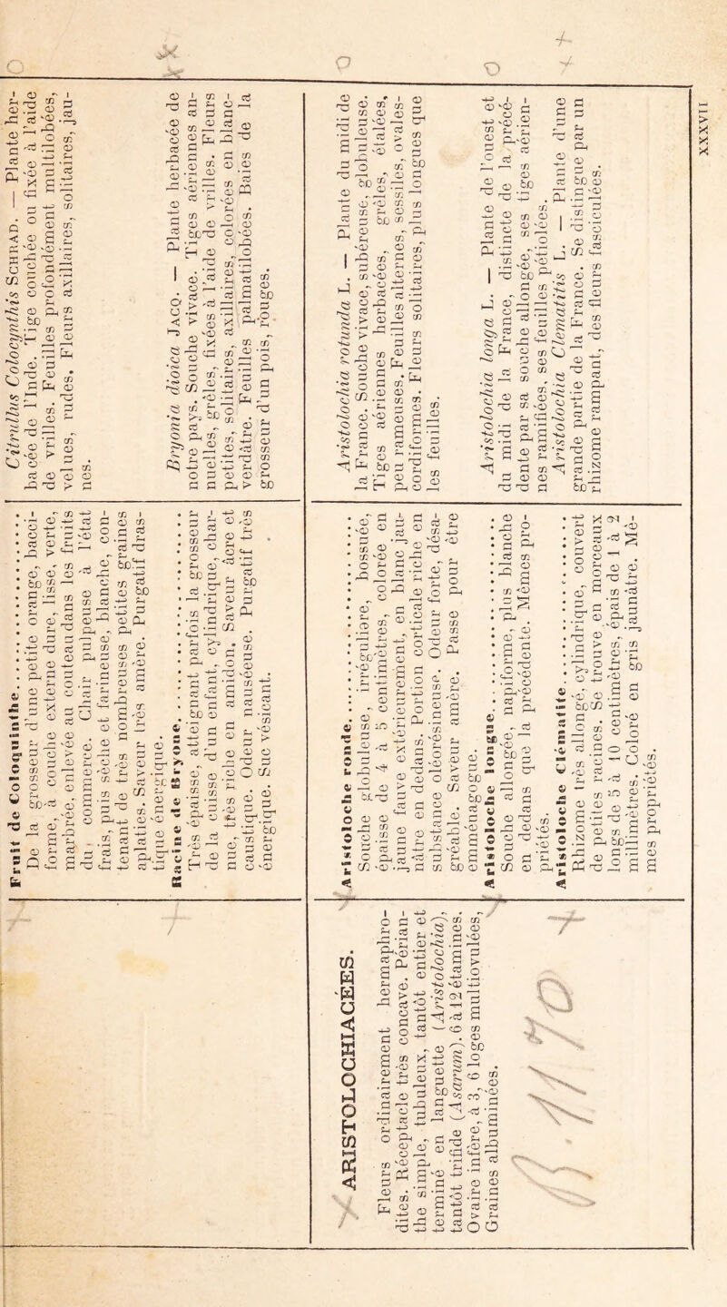 O I O •' O <i:> C '-- .- ^ O '—I ’ S'S 5 ^ X a ■ 1 ^ ' CD 05 ^05 Ü ctf » a: t d Sh ü ce d G 2Cx.^ G ^ 0^0 ^ 05 Q O oT 5 O s 2 '05 vfjj) ._ G ^ JH ^ 2  ;:1 ^ 5'5'^ 00 ü O 03 *«« s-i ^ O Ph 2 ^ ti- 05 ÇJ »• ^ O . GIÎ ^ O - CJ O ce s O U c 05 c/5 :d -r 05 '05 en O O) 05 g; bt^ O ^1 05 “G (f) 05 '05 g:? O c/3 'G '05 ^ cG en 05 »-p G a3 O en' • G * G K—1 tL rG *«s> fa c/d G S G .-G [ G c/3 G G S- en G b/2 O en G ' 'G ’C ?> en G O Jïl Gh 05 îles en . 05 . ■ G en 1^ .1-) G ” G G G O O G G O ;> G P Ph G ^ r ^ 0 bD â*o ^ G en rjT ^ *o 5 G fr, ^ 05 'G 'G c/3 c/3 G O 05 Gt > 6D .-M 05 O >*-' O f-i ce 05 G5 > oT 05 bn en ' c 2 ce '—' 05 G .■G O 05 en en » i_j -*-' G G 05 en P P O G G G G f-t G en «H-l G 't:5 en cJ b/2G: P ^ en G G ce G bjo Æ 05 (2^ . -s G^ 05 en en I =: G 05 'Jj 'G c G G .G 05 ^ î-i ^ ^ Æ -3 ^ O t: 'î^ Hh f-i cti .? =i CS ic ÿ 3 t; t> Oj G C c ô U V -3 O O ■ fa ?H 3 2 G 3 CR P P S-S'g G 2 G Pc fcX)'^ G 05 ^ g O c G .2 05 G ^ GD '9 G G. - -G ?-( G C/2 ^ G cr- G O 'C5 - G ’-H 2 G ce ce G g:: tH 05 G en ^ G >T> ♦ G 05 cl G-i -g G 3 ëd S G G G bX) G ï 2 B S â f S-H'- ^ en ^ G -G • O UU 4^ ^ ■ • en G . • 'G ^ 05 y G G S G G 'G G G G G ^ en o-'P G G Ü “G G C/j b£) G G '05 05 • *■ 05 en ^ en G ^ ^:ï’ .G 05 G s - - ^ ° - Td I I c G K 05 en , G ■ G ^G e/3 î-< G bJj G t-t ^G ^ i-G en G 05 en 'G - 05 , G G 9^ G ?H > 05 . > en 5 g en G G G O en ^ S 2 en gJ en 02 cn^ G G en O G en G'G c 02 ë 'G .G en tn ^ P G O ce — en G 05 G G G 05 ^ 05 en 05 II 0^ ■. G . S G OG r* en b/D G G '05 en G 'G O 'Ko . P 2 « P ^ en ® ^ « tlH 02 ^05 ^ G G bC ce P e/3*^ O G '<?• —H ’—' +0 « c ^ 'S I 3 ® <u K .'-' -a ~ O fa O !« Cj en . I J G ^ O G en G G « . G G O en ^ 05 05 2 C/2 . en G ^ O G G 05 G 'G! £ $ G 05 U çe O G 'Ko •2 ë K ’cfl fa 03'S S en en G en . ^ G ^ ;f; bC 3 ^ G O Gh O ?* O ce G S V S O 'Ko ^ •W W - , 3-3 0 , Ch S Se g'i: ! s s '■' i 3 3 3 ^ i g.§ G jC tD iM 'G G en 05 e/3 'G Æ O O ! _ O G 'P G • G - G . G ^ en iC •C G O ■ ' «M-H ü 2h 'S ^ §6 O P O CL G , G x: G G G en 'G O 'G O Gh 0^ 3 fa G en S| en ■‘G r-, te—I LJ G- . - G 05 -4-J G G $-4 05 II G.'G cij Pj G P'' 1 CM Ng' G ^ G C .5^05 ^ > ri ^ G G en 'G ‘g 2 ^ G en en G O ^ ® 'é' 05 .«• QfjW - oj:^ V O 05 G ^ en 0 05 .2 G ce « O p_, T C/2 'G G O ^ 3 3 S G G cL en .G 05 > G G b/2 C/2 O b/D G 05 . P G b/2 G 5 cl J 4» fa en £ 3 « iS - ® 2 ^.2; 'S G G Ph Z P ■ O îfai b/2 G G 'G P-t O S e 2 “ en 05 W ,0; G «3^ » g'-g 0 9 p. O O - a <m O - ^ G •j; Ph G < ^ 2 2J;g P en ^ C/2L-. G :G O G en •G 'G ’s-. Gh O Ph GL en G P 'H ü hH K ü O a Q H Ü3 hH pd I O p-, G G 'G t-> G G toi P G O ^ P ^05 2 Ph •c'' C 2 G^<.5 G ‘G5 G P fa û-S § g ,30+3.2 (J) -t+ '3 +-> t> -*3 -2 G-1 fa. «3 S,. § 3fa-cS O ü ^ G en X '02 P ^ ^ Ij™ G . ‘^'G ' *7^ G G ' O a en G b/2 O 05 ^ G P ' -K^ ^ GL ^ G 05 G G G G •G ce; «sla • ^ rj G 'G G S' Oh G G G > tH O O XXXVTI