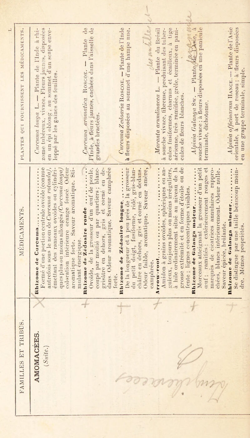 tTj H x; U < U s -U w r-* U îTv CT* P O H P P O I rfj P P p: ^ Cfi ^ O O .P ^ -O d . cz , ü X CTi ÛJ ^ d S 0^ !n «D *0 d O HD O ü Jt C£''^ d 0- > en -f-3 a:) O ^ S O CT; en O d ^ ^ en - a C d O biJ r; rf) n O en S w P ^ en O O en -a;» C ^ ^ ü g CO- <D d d ^ O i:1h s < O ^ s i jC rfi eu *S I ^ -•d ' r-* O- (If Il ' d S O U a> -.OU) '^^•î -Sâ' O en •d ^ vO •< en P- O O O X W O O en O d . d ^ ^ O X ‘O d cT Qj ^ P; O § ^ ^ S •O d ^ es ‘P d S 'd P O O d O d ui tû '^. vO ^ di ÎV O fo • •—* S ^ 5 ^ ^1 'O X P d -/j . c ^ en P O O d'O Jd d: ed O l'sj in ^ Xi O eu O d ÎT; d (D s 'x C d ^ rT. C> C/î X X ^ O ^ d ; O d -ed O '- ^ ; ^d O P U S d > d P X 'O X O O H.* 'f> .O b d > cT « O O O > d 'o '-»-l d O 1^ c X X C s X ü ^cr' O d 1 O Cj O 'd ü d O X ■H—» P O P c O 'd •S O r>:> ■—I d d •rH O dre. Mômes propriétés. ' en une grrippc terminale, simple.
