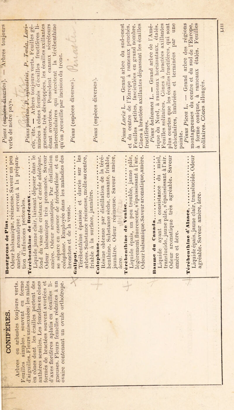 en O XJ S» îS ?3 X : ■ ^ . ■ . Cl ^ d) ^ î> ; • 2 ^ ' 'C =o O -■n-^ *^2 en Ûs S iT^ r-S C ' . •S I . «O O s ^ s ^.2' s m rfi <v ;-l en ^ O cD cô -t-3 ï; -O •a;i r^ ?-• ^ O en <U en X ' ;3 ci C ' ci O <1:1 'O O C O ' d -*-^ • • en en en d3 (T) c:) ^(1) d; O 'o a '3 » d Ç O ^ O O v<^ ^ Ph ^ en ^ ^ O d s ^ ci g d 'i en ^ d -< iS ci - * g g en ^ O f-< i-i ^ ci i- ci 2 en d — id en en ‘P P-> en ^ O .0 > .(dl en 'd en '(D CO Z O ‘O en d O en ^ O ^ t en O ^ dj en d *«0 ' O 'd en <u S g g 5 bD-d en O en tn d > en <V O 'CD CL en O e/j (D en <D • •d en CD Ü 'O:» CL en <D en « S ' Ci ^ ^ en a;) d d O ^ r_^ -I—* d ^ d d S ‘S ,2 Ci ^ i- CD LC O d f-l ci d d o:) ü w '*' r-J Qj ^ ^ - s O ci ^ d ci J <D gf en ^ —‘On;) d d g « O ^ g ' ^ O ,ci O 'Ci X r^ en § O g § U m JS ' ^ S I— IX t'J •5 ^ rx 0) CL '-^ S a ^ <!> O QJ fc O PS ,rt tn es ” CD üO ^ t* s'g '3 g .tc s- =  fr-i c'i d en '2 s d ^ O Q d ^ tr O n ÎJh _ t-( O 2 ^ dn er? 2 ^ ■ë pG •d C2 en O d rd a; ci g en d Q er; d -Q 0 d tT*-^ 1 i §3 O d en .2 ^ -? ^ O en ^r' en g P.- .2 O r3 &o ü PPi >(D P O 1^ H IX en '~~' , •X» O en d rD d O ^ 2 2 '•0? LD en ^ ci d d '2 -- d (D 1^ ci Ch O O d en R -û g ^ en cü <D <0 en 0) S ^ g r- •‘Ci Ü ^ C O 8^ ■D S O Ph boa U ^ S'S s =2 •- ° PC d 'Ci en P 2 P- ci G ^ ^ ‘<3;> d ^ .; f-i d d î^ d O SJ P OJ PJ ï «3^ d ’-S cd ^ d 2 ^ O '“^ O 4^ ^ pj • en s d O • —^ • OJ —^ •O d <ï O 'Ki ci en CD f-( O ,-t-p O <D Ch en d O *en d C Z ■<D ^ d ï ^ 5 d « ci AJ en — — en ci en 5 ci ^ ui g^P§2 O « ^ i-> tH O ci en 33 2 O <a S P 2 2 P - 8 ê = d 2 tn O d > P PS ^1x0 _ O d - P PS J, « 'd P • '’ij en 2-^ d ^ Q:) ci en iil 2 d Cm—' d O CD d . O ^ ci <i <0 CL* O zL^ ‘« .2^ P P) .5; H ^d .1) en O Sf-H) O 00^ ci en ^ L3 2 s H-^ d ^ CO d O en ^ ci P (U ’ü x: 2 O P ^ « g P d a g .P .d •'-î en ^ - ce ‘P O •P £-, O 'P d P 5 d CD 2 ■||2 a cfi -'S -• P c^ P 05 g 2 32-g 2 ■SH ^ - .<x> O O ,d LZ 'CD Ci G O O d rH ci G en .2 ^ '-1-5 ci ci O eD «D en d2 d en d ÎH - Sh o ci ü Ph d ci O 2 d P 2 X P d 2 P3 3mO e X . a P P oD ® CD .S 2 - P X P .P P 3 =i ,0 ChX g ® d g P 2' ci ai dn Oj en P x-p S 2 p-2 O-CD d h-5 en ^ d 0) (D d > Q. CD ci O cTî ^ en • 5 CD 0) 13 .d d • <”1 ci G - . > ci 'Ci (n : d ► nG en ci « <d £'2 P d ç ^ Ld -L-j V -ïï cd d s a H-5 ci ^ G s 2 s X P fH _p P s X ■c 8 3 d a d ■ y ^ CO d • ci <D en ^ en .2^2 ci bXD dL ci ^<D 'en en ^'<D CO ^ ^ H-9 <d CO O d d tr* S-i d q;) dO O cô nd en a (i3 s R O f-i 'CO a d U d • * r- • P ■® Eh'P m ‘i -4) P^ ic2 L20 P P 2= g ë P O 'P  Ph .. * • ^ iTH •Z CO P ^ P '^'5 P O en d C-i , d (D '0) 4, fi ,2 *■ 'd CO d d ci 'üb en > 'd d -P - ® X ! P d'Qji -U cd î-i 2- fco •Q ’—' 05 V ifi d eo H 'W U* l-H g O ü <D en p-> en C5 l:? Sh Ci . en ü: 05 05 S « en 05 05 Gj il: ^2 en d O 05 05 d ■0 d 05 en 2 3 d P-P en ^ Ch 05 en 05 f-. dL 05 ÎL*^ a • rH Q en 'd px S 2 d ^ bc'^ G .Ht O ci 05 ^ tL d 05 G ^ d ÿ d en O 05 ^ i-J en . 05 en P O • ^ ci en ?_. en O 05 ^ 05 en nG 05 :S S 82 X P P ''Cm en 'P g ^ '«■S X 2x ci •'-< ^ O d ‘05 -d O '05 d >^2 P en d ,2:2 g 8^2 = en en d 05 di ci Ch d d ^ 05 05 ^ Ch plH d qd en O 05 rH Sh 05 ’ G « d > 'dî fc£> O • 'i