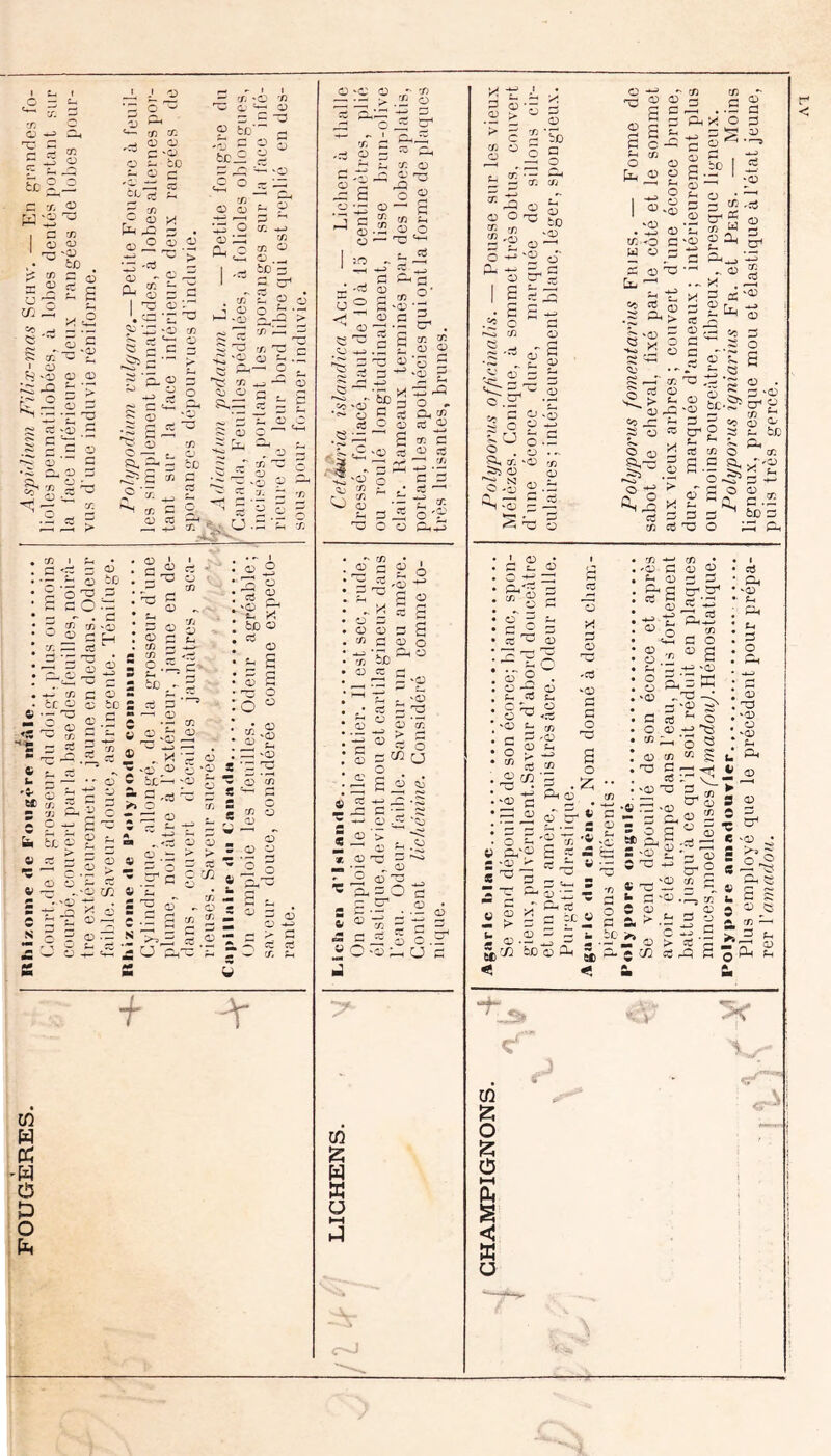 ü 73 73 PG 03 oT C G G O G G H- ^ a C -3 -4-J 73 b *=! , O 03 bo 1 03 0 a —H G 03 1 -t^ G O O 'G Sh G 03 £ cb ^ G ITj 'G 'O G '3 a W SJ Oh U3 O G G .hH H. G O r =- 'T. c nT' s C ^ t I O ' ^ —% ”1) 'Ci tx: , (V > ^ 1 ^ E ^ CO ^ ÇS '' } ^ H 'O »'«,ii 1-^ ’j^ <::» ■Cl) tD 5 C O ;- r ci r 'J) 2 • -=3 C/: 03 'Gj CD C O) O C ^ — '/' ' ~ O' ^ 9 to' éb— i ‘S °. rj O O ■ *3 O O Cl. c C3 “3 (Ti ^ f/3 73 O O ._ bD c: O O t- •r' Ü ^ ■S ■- O 3 CJ ;_^ C: 03 '03 73 '3 O '03 '^- 73 7: C Ci - .Q ^ •S'e 9 ctj O O G •;: ' tz C3 ^ 03 ‘’ï z: =i U 7^ — 3 ^ ' 6« 7. 5 5 ^ ^ A O -W G 73 ^cj G ^ 03 bc : S ■ 73 « O . 7i 03 Gt G 73 0 c: •C G; ZC 0 03 i-i « r—^ 'O '03' (A G G 03 fan M S 13 G r £ ' 03 £h « '£ Z .^ 6 C b£^ r 5 'Ci ^ O O « I rz bD C3 s 3 £ O s > > c in vO 03 g * 03 73 C ^ G s '■-^ s r® C3 W ^ 3 03 03 C -Z ï (fj ^ s '■ .2 - = ci si ^ 7 Oh ■f 'Y' Ü3 w cc 'W O O O -c O ,/- ^ — • - s- . £ O -nî g C ,'t' , 2 â •H'-5 O • CT I ^ O 'i O O g ^ tn Ü ^ r.'i r\ G 'Ci G £ 03 '03 C 03 rG -G Ce '03 O O G 73 ^ 03 03 03 G •03 ^ -G 2 .- -r a; 03 G G G 03 O *r Gh O bD z: ^ CT 3 ^ “ SJ 'g “P ci ^ ^ O ^ » 03 r ’o ï <i^ G ^ ^ 03 CG O W -3 O O .G '3 U c CO 2 w K ü X -3 3 G ■2 b '' c cfj U O f- ï' S CJ O I • .3 ’ü 3 ?Tc ^ § 03 0 ' -• s ^7; ^ ^ 5 s .:: ^ > ^ 7! ^ 03 ^ N '03 Oj -.03 03 Ç3 1,-^ Cl, ^ x CT 3 s E Ct, ci ^ âi.-ë-2 -§ 2^ .b3> 73 03 03 . 73 ^ G G • Gh'^ ; ’o : ê^S 03 §f ^ CT -2 -M c z: 03 Ç) P <• ‘03 X O 73 ,03 Oh 73 Gh 03 oT GT X '*G ■/> ® a 3 'CJ P- 'ûj t) 3 ” 3 ? - CTp5 « O SJ CS tn 3-, 'o « ■is^ a,-» i 3C 3 SJ S ■= CpO ï 9 3  a ■= 03 ^ m 2- ^ 03 g cr a « g PT -4-» ' 03 • ■ Z X G S O .- “ CD CD ü ^ G '03 &0 S c. » - SJ > CT 5 (73 CT p3 73 U 15 03 PJ '03 tH cr' X» X a £ SJ S3 S g •P CO 0 HH < O >< LV