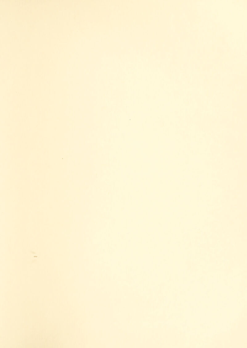 t ■ “ ■ ■ »’ i 4 I i / 1 i r s t 'iLLft' 1 I f iT-