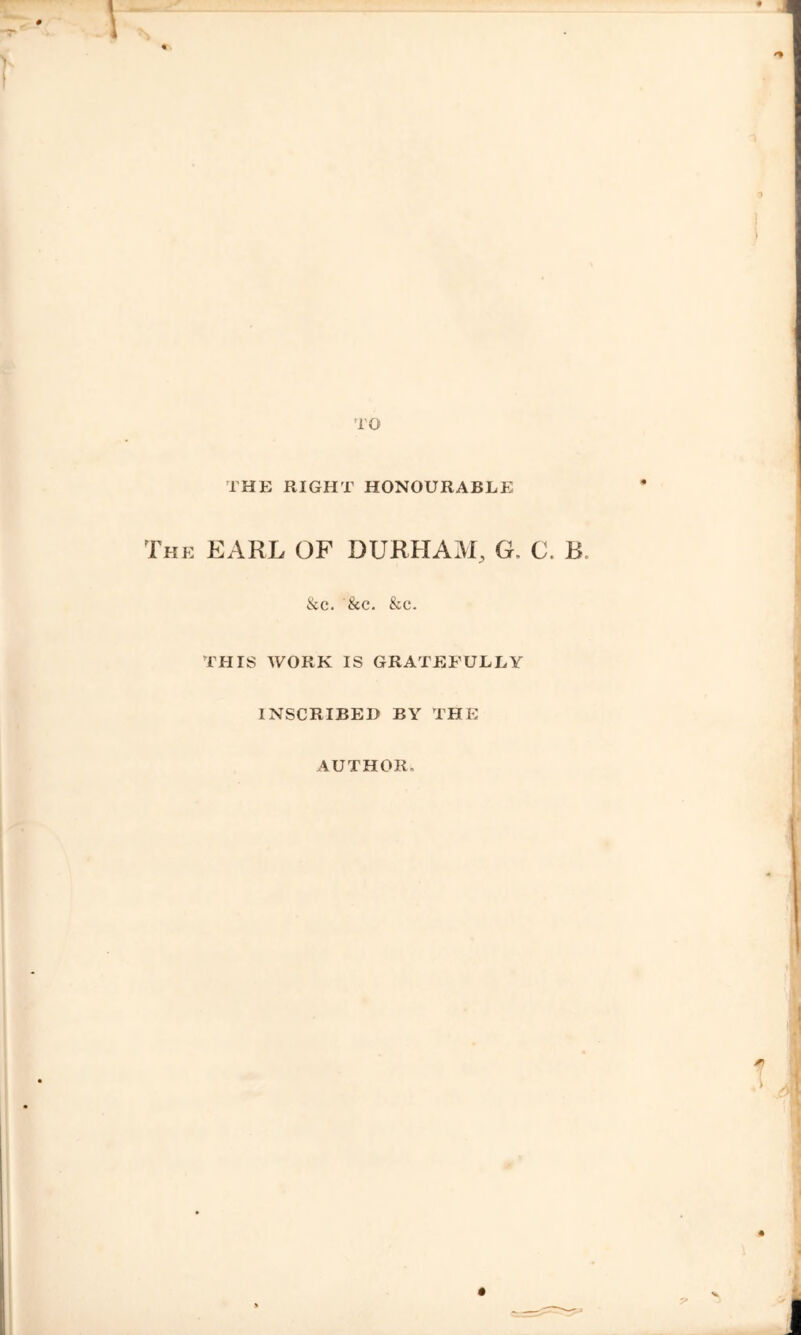 THE RIGHT HONOURABLE EARL OF DURHAM, G. C. B. iicc. &c. &c. THIS WORK IS GRATEFULLY INSCRIBED BY THE AUTHOR