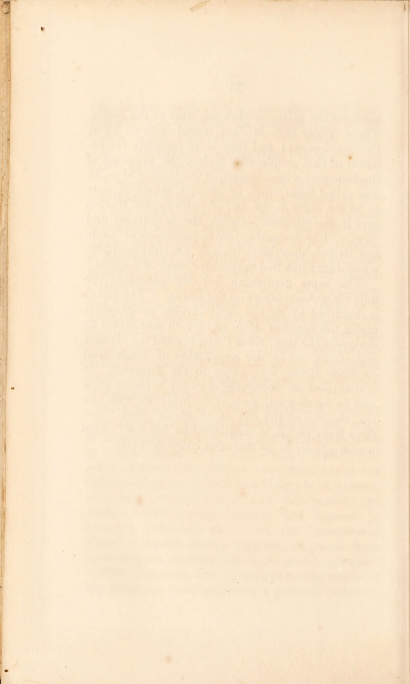 K .,v*! Cay- . .■> yv ^’ ■' I'Uh'tU ■;,,' .. »1'' 1.ft,,-'i^Me'ijH-lt 5r.»..’)^Js-'!'''¥-«'si-^ -■-<■■ ■ (■■ ■•'V ■ “ *' V  ■ ■\j^ .' » ' ' Iftk* # ^'V 4 % • - * •/ I?#** «li t ■ ’ • i. , • ^ »PS^*,' iii> ’' r^.ift . «• . I *’ ■'t ■ . ' . %r ^ i V ‘ 1 ’** ?% « tSh