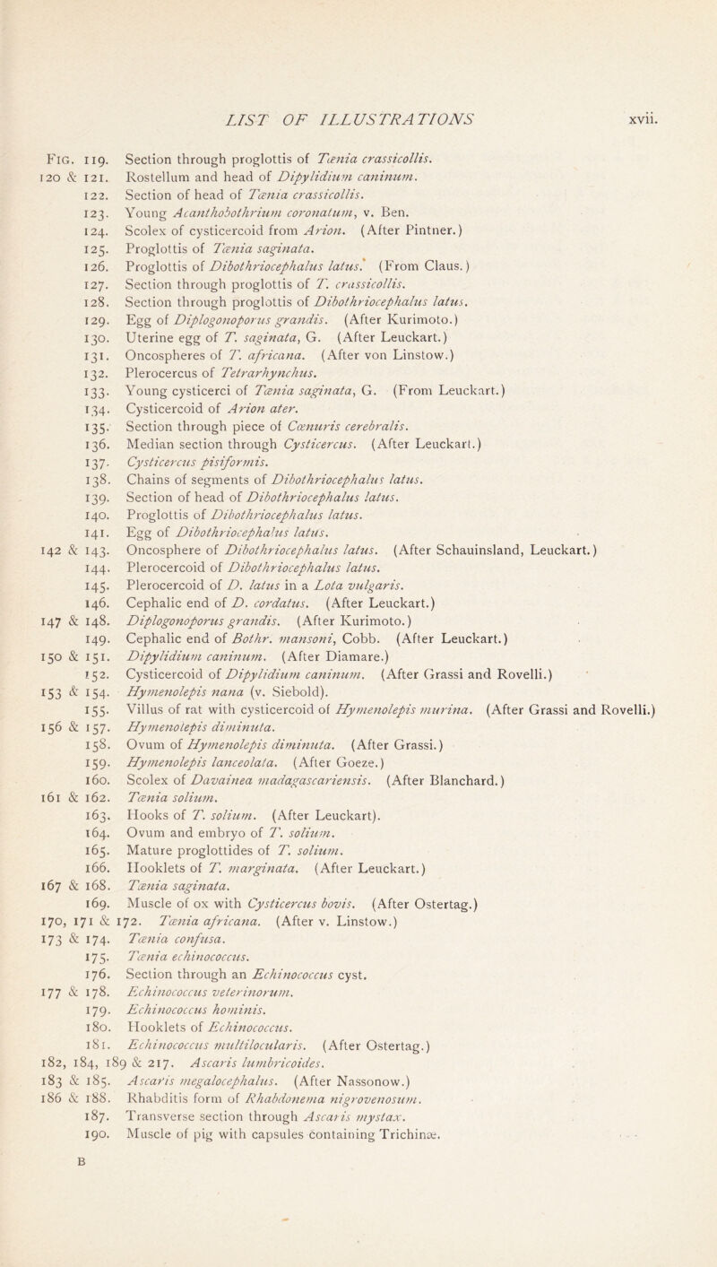 Fig. 119. Section through proglottis of Tienia crassicollis. 120 & 121. Rostellum and head of Dipylidium canimim. 122. Section of head of Tceitia crassicollis. 123. Young Acanthobothriuvi coronaluni., v. Ben. 124. Scolex of cysticercoid from Arion. (After Pintner.) 125. Proglottis of Tcenia sa^inata. 126. Vtogloiiis oi Dibothriocephalus lai7is. (From Claus.) 127. Section through proglottis of T. crassicollis. 128. Section through proglottis of Dibothriocephahis latus. 129. Egg of Diplogonoporris graftdis. (After Kurimoto.) 130. Uterine egg of T. saginata, G. (After Leuckart.) 131. Oncospheres of T. africana. (After von Linstow.) 132. Plerocercus of Tetrarhynchus. 133. Young cysticerci of Tcenia saginata^ (A. (From Leuckart.) 134. Cysticercoid of Arion ater. 135. Section through piece of Ccenuris cerebralis. 136. Median section through Cysticercus. (After Leuckart.) 137. Cysticerctis pisiforjnis. 138. Chains of segments of Dibothriocephahis latus. 139. Section of head of Dibothriocephalus latus. 140. Proglottis of Dibothriocephalus latus. 141. Egg of Dibothriocephahis latus. 142 & 143. Oncosphere of Dibothriocephalus latus. (After Schauinsland, Leuckart.) 144. Plerocercoid of Dibothriocephalus latus. 145. Plerocercoid of D. latus in a Lota vulgaris. 146. Cephalic end of D. cordatus. (After Leuckart.) 147 & 148. Diplogonoporus grandis. (After Kurimoto.) 149. Cephalic end of Bothr. matisoni, Cobb. (After Leuckart.) 150 & 151. Dipylidium caninujn. (After Diamare.) 152. Cysticercoid of Dipylidium caninuni. (After Grassi and Rovelli.) 153 & 154. Hymenolepis nana (v. Siebold). 155. Villus of rat with Cysticercoid of Hymenolepis murina. (After Grassi and Rovelli.) 156 & 157. Hymenolepis diniinuta. 158. 0'7\xm oi Hymenolepis diniinuta. (After Grassi.) 159. Hymenolepis lanceolata. (After Goeze.) 160. o{ Davainea madagascariensis. (After Blanchard.) 161 & 162. Tcenia solium. 163. Hooks of T. solium. (After Leuckart). 164. Ovum and embryo of T. solium. 165. Mature proglottides of T. solium. 166. Hooklets of T. marginata. (After Leuckart.) 167 & 168. Tcenia saginata. 169. Muscle of ox with Cysticercus bovis. (After Ostertag.) 170, 171 & 172. Tcetiia africana. (After v. Linstow.) 173 & 174. Tcenia confusa. 175. Tcenia echinococcus. 176. Section through an Echinococcus cyst. 177 & 178. Echinococcus veterinorum. 179. Echinococcus hominis. 180. Flooklets of Echinococcus. 181. Echinococcus multilocularis. (After Ostertag.) 182, 184, 189 & 217. Ascaris lumbricoides. 183 & 185. Ascaris megalocephalus. (After Nassonow.) 186 & 188. Rhabditis form of Rhabdonema nigrovenosum. 187. Transverse section through Ascaris mystax. 190. Muscle of pig with capsules Containing Trichinae. B